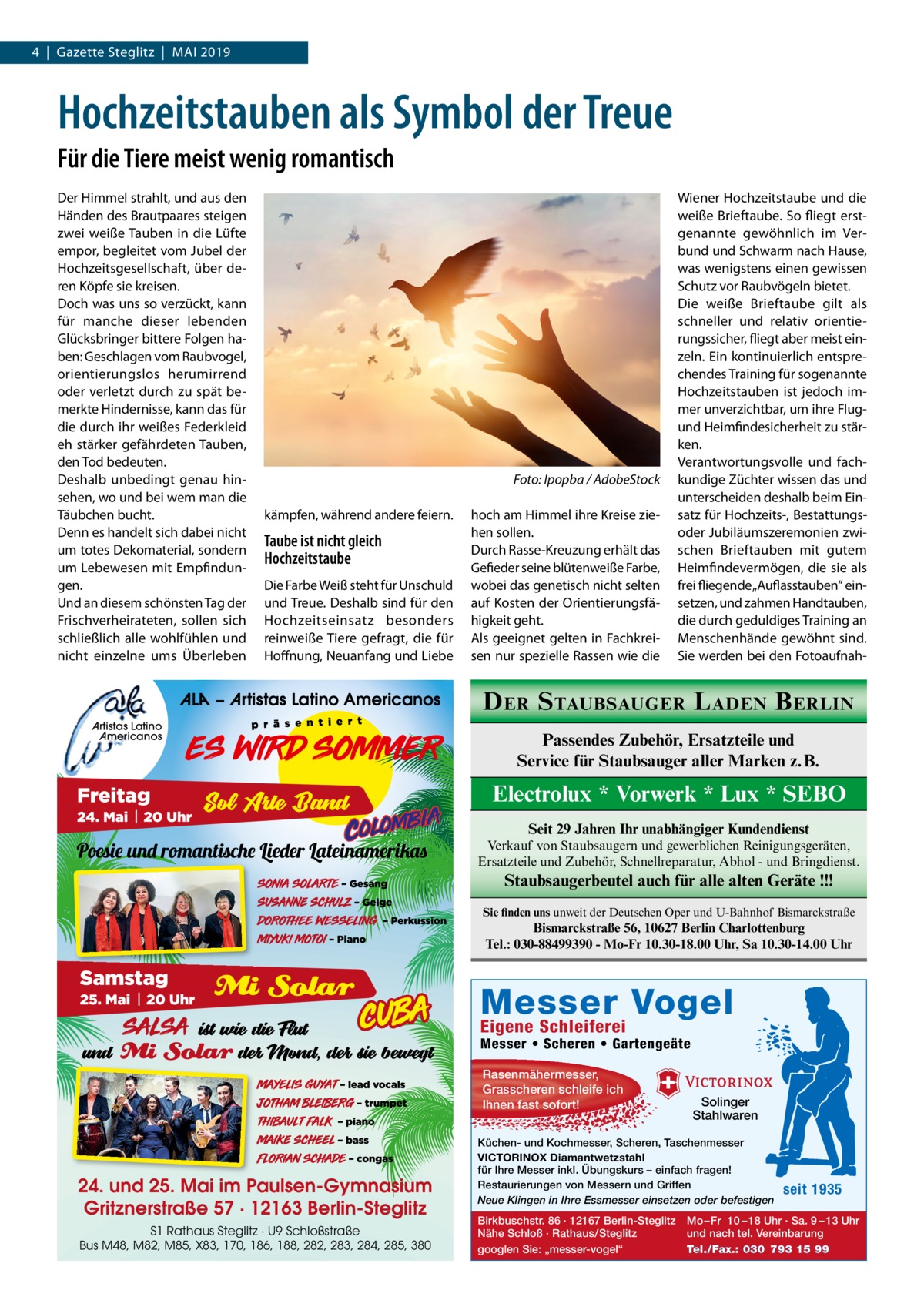 4  |  Gazette Steglitz  |  MAI 2019  Hochzeitstauben als Symbol der Treue Für die Tiere meist wenig romantisch Der Himmel strahlt, und aus den Händen des Brautpaares steigen zwei weiße Tauben in die Lüfte empor, begleitet vom Jubel der Hochzeitsgesellschaft, über deren Köpfe sie kreisen. Doch was uns so verzückt, kann für manche dieser lebenden Glücksbringer bittere Folgen haben: Geschlagen vom Raubvogel, orientierungslos herumirrend oder verletzt durch zu spät bemerkte Hindernisse, kann das für die durch ihr weißes Federkleid eh stärker gefährdeten Tauben, den Tod bedeuten. Deshalb unbedingt genau hinsehen, wo und bei wem man die Täubchen bucht. Denn es handelt sich dabei nicht um totes Dekomaterial, sondern um Lebewesen mit Empfindungen. Und an diesem schönsten Tag der Frischverheirateten, sollen sich schließlich alle wohlfühlen und nicht einzelne ums Überleben  Foto: Ipopba / AdobeStock kämpfen, während andere feiern.  Taube ist nicht gleich Hochzeitstaube Die Farbe Weiß steht für Unschuld und Treue. Deshalb sind für den Hochzeitseinsatz besonders reinweiße Tiere gefragt, die für Hoffnung, Neuanfang und Liebe  ALA − Artistas Latino Americanos Artistas Latino Americanos  hoch am Himmel ihre Kreise ziehen sollen. Durch Rasse-Kreuzung erhält das Gefieder seine blütenweiße Farbe, wobei das genetisch nicht selten auf Kosten der Orientierungsfähigkeit geht. Als geeignet gelten in Fachkreisen nur spezielle Rassen wie die  Wiener Hochzeitstaube und die weiße Brieftaube. So fliegt erstgenannte gewöhnlich im Verbund und Schwarm nach Hause, was wenigstens einen gewissen Schutz vor Raubvögeln bietet. Die weiße Brieftaube gilt als schneller und relativ orientierungssicher, fliegt aber meist einzeln. Ein kontinuierlich entsprechendes Training für sogenannte Hochzeitstauben ist jedoch immer unverzichtbar, um ihre Flugund Heimfindesicherheit zu stärken. Verantwortungsvolle und fachkundige Züchter wissen das und unterscheiden deshalb beim Einsatz für Hochzeits-, Bestattungsoder Jubiläumszeremonien zwischen Brieftauben mit gutem Heimfindevermögen, die sie als frei fliegende „Auflasstauben“ einsetzen, und zahmen Handtauben, die durch geduldiges Training an Menschenhände gewöhnt sind. Sie werden bei den Fotoaufnah D ER S TAUBSAUGER L ADEN B ERLIN Passendes Zubehör, Ersatzteile und Service für Staubsauger aller Marken z. B.  Electrolux * Vorwerk * Lux * SEBO Seit 29 Jahren Ihr unabhängiger Kundendienst Verkauf von Staubsaugern und gewerblichen Reinigungsgeräten, Ersatzteile und Zubehör, Schnellreparatur, Abhol - und Bringdienst.  Staubsaugerbeutel auch für alle alten Geräte !!! Sie finden uns unweit der Deutschen Oper und U-Bahnhof Bismarckstraße  Bismarckstraße 56, 10627 Berlin Charlottenburg Tel.: 030-88499390 - Mo-Fr 10.30-18.00 Uhr, Sa 10.30-14.00 Uhr  Messer Vogel Eigene Schleiferei  Messer • Scheren • Gartengeäte Rasenmähermesser, Grasscheren schleife ich Ihnen fast sofort!  24. und 25. Mai im Paulsen-Gymnasium Gritznerstraße 57 · 12163 Berlin-Steglitz S1 Rathaus Steglitz · U9 Schloßstraße Bus M48, M82, M85, X83, 170, 186, 188, 282, 283, 284, 285, 380  Solinger Stahlwaren  Küchen- und Kochmesser, Scheren, Taschenmesser VICTORINOX Diamantwetzstahl für Ihre Messer inkl. Übungskurs – einfach fragen! Restaurierungen von Messern und Griffen Neue Klingen in Ihre Essmesser einsetzen oder befestigen Birkbuschstr. 86 · 12167 Berlin-Steglitz Nähe Schloß · Rathaus/Steglitz googlen Sie: „messer-vogel“  seit 1935  Mo – Fr 10 – 18 Uhr · Sa. 9 – 13 Uhr und nach tel. Vereinbarung Tel./Fax.: 030 793 15 99