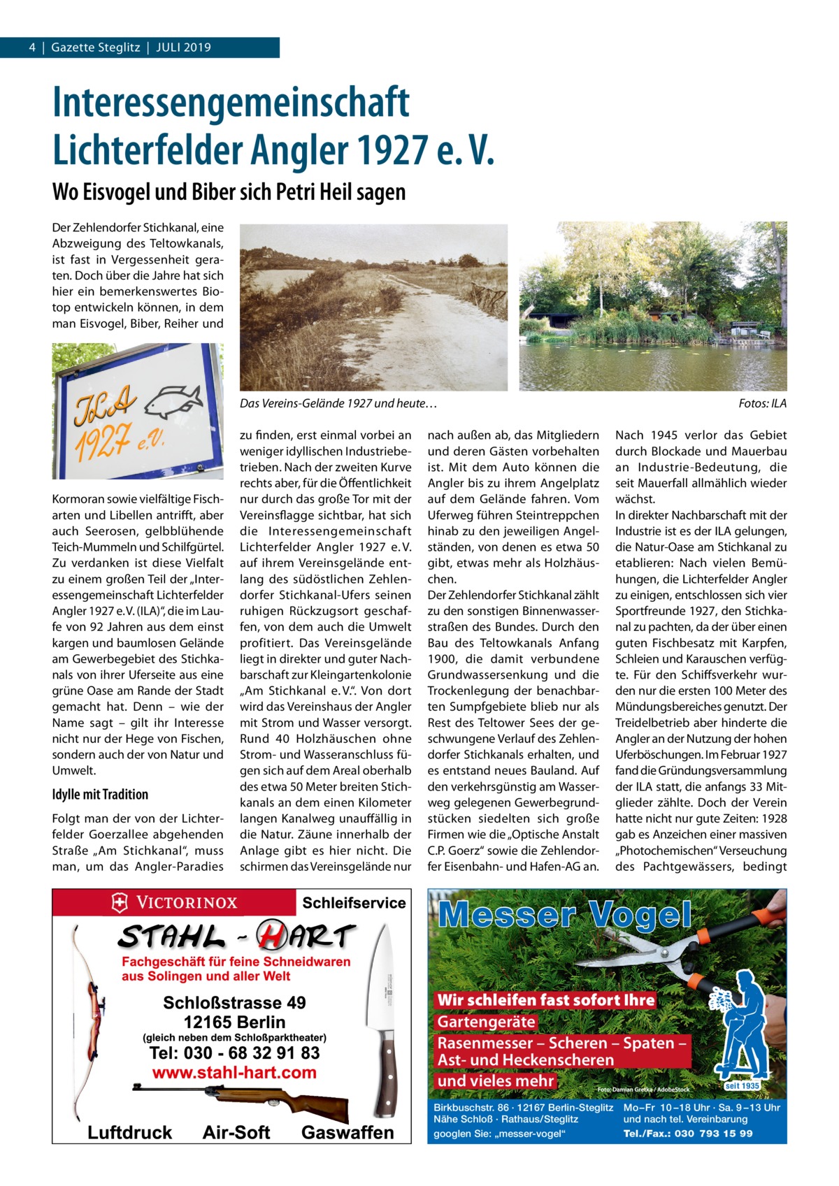 4  |  Gazette Steglitz  |  Juli 2019  Interessengemeinschaft Lichterfelder Angler 1927 e. V. Wo Eisvogel und Biber sich Petri Heil sagen Der Zehlendorfer Stichkanal, eine Abzweigung des Teltowkanals, ist fast in Vergessenheit geraten. Doch über die Jahre hat sich hier ein bemerkenswertes Biotop entwickeln können, in dem man Eisvogel, Biber, Reiher und  Das Vereins-Gelände 1927 und heute…�  Kormoran sowie vielfältige Fischarten und Libellen antrifft, aber auch Seerosen, gelbblühende Teich-Mummeln und Schilfgürtel. Zu verdanken ist diese Vielfalt zu einem großen Teil der „Interessengemeinschaft Lichterfelder Angler 1927 e. V. (ILA)“, die im Laufe von 92 Jahren aus dem einst kargen und baumlosen Gelände am Gewerbegebiet des Stichkanals von ihrer Uferseite aus eine grüne Oase am Rande der Stadt gemacht hat. Denn – wie der Name sagt – gilt ihr Interesse nicht nur der Hege von Fischen, sondern auch der von Natur und Umwelt.  Idylle mit Tradition Folgt man der von der Lichterfelder Goerzallee abgehenden Straße „Am Stichkanal“, muss man, um das Angler-Paradies  zu finden, erst einmal vorbei an weniger idyllischen Industriebetrieben. Nach der zweiten Kurve rechts aber, für die Öffentlichkeit nur durch das große Tor mit der Vereinsflagge sichtbar, hat sich die Interessengemeinschaft Lichterfelder Angler 1927 e. V. auf ihrem Vereinsgelände entlang des südöstlichen Zehlendorfer Stichkanal-Ufers seinen ruhigen Rückzugsort geschaffen, von dem auch die Umwelt profitiert. Das Vereinsgelände liegt in direkter und guter Nachbarschaft zur Kleingartenkolonie „Am Stichkanal e. V.“. Von dort wird das Vereinshaus der Angler mit Strom und Wasser versorgt. Rund 40 Holzhäuschen ohne Strom- und Wasseranschluss fügen sich auf dem Areal oberhalb des etwa 50 Meter breiten Stichkanals an dem einen Kilometer langen Kanalweg unauffällig in die Natur. Zäune innerhalb der Anlage gibt es hier nicht. Die schirmen das Vereinsgelände nur  nach außen ab, das Mitgliedern und deren Gästen vorbehalten ist. Mit dem Auto können die Angler bis zu ihrem Angelplatz auf dem Gelände fahren. Vom Uferweg führen Steintreppchen hinab zu den jeweiligen Angelständen, von denen es etwa 50 gibt, etwas mehr als Holzhäuschen. Der Zehlendorfer Stichkanal zählt zu den sonstigen Binnenwasserstraßen des Bundes. Durch den Bau des Teltowkanals Anfang 1900, die damit verbundene Grundwassersenkung und die Trockenlegung der benachbarten Sumpfgebiete blieb nur als Rest des Teltower Sees der geschwungene Verlauf des Zehlendorfer Stichkanals erhalten, und es entstand neues Bauland. Auf den verkehrsgünstig am Wasserweg gelegenen Gewerbegrundstücken siedelten sich große Firmen wie die „Optische Anstalt C.P. Goerz“ sowie die Zehlendorfer Eisenbahn- und Hafen-AG an.  Fotos: ILA Nach 1945 verlor das Gebiet durch Blockade und Mauerbau an Industrie-Bedeutung, die seit Mauerfall allmählich wieder wächst. In direkter Nachbarschaft mit der Industrie ist es der ILA gelungen, die Natur-Oase am Stichkanal zu etablieren: Nach vielen Bemühungen, die Lichterfelder Angler zu einigen, entschlossen sich vier Sportfreunde 1927, den Stichkanal zu pachten, da der über einen guten Fischbesatz mit Karpfen, Schleien und Karauschen verfügte. Für den Schiffsverkehr wurden nur die ersten 100 Meter des Mündungsbereiches genutzt. Der Treidelbetrieb aber hinderte die Angler an der Nutzung der hohen Uferböschungen. Im Februar 1927 fand die Gründungsversammlung der ILA statt, die anfangs 33 Mitglieder zählte. Doch der Verein hatte nicht nur gute Zeiten: 1928 gab es Anzeichen einer massiven „Photochemischen“ Verseuchung des Pachtgewässers, bedingt  Messer Vogel Wir schleifen fast sofort Ihre Gartengeräte Rasenmesser – Scheren – Spaten – Ast- und Heckenscheren und vieles mehr Birkbuschstr. 86 · 12167 Berlin-Steglitz Nähe Schloß · Rathaus/Steglitz googlen Sie: „messer-vogel“  seit 1935  Mo – Fr 10 – 18 Uhr · Sa. 9 – 13 Uhr und nach tel. Vereinbarung Tel./Fax.: 030 793 15 99