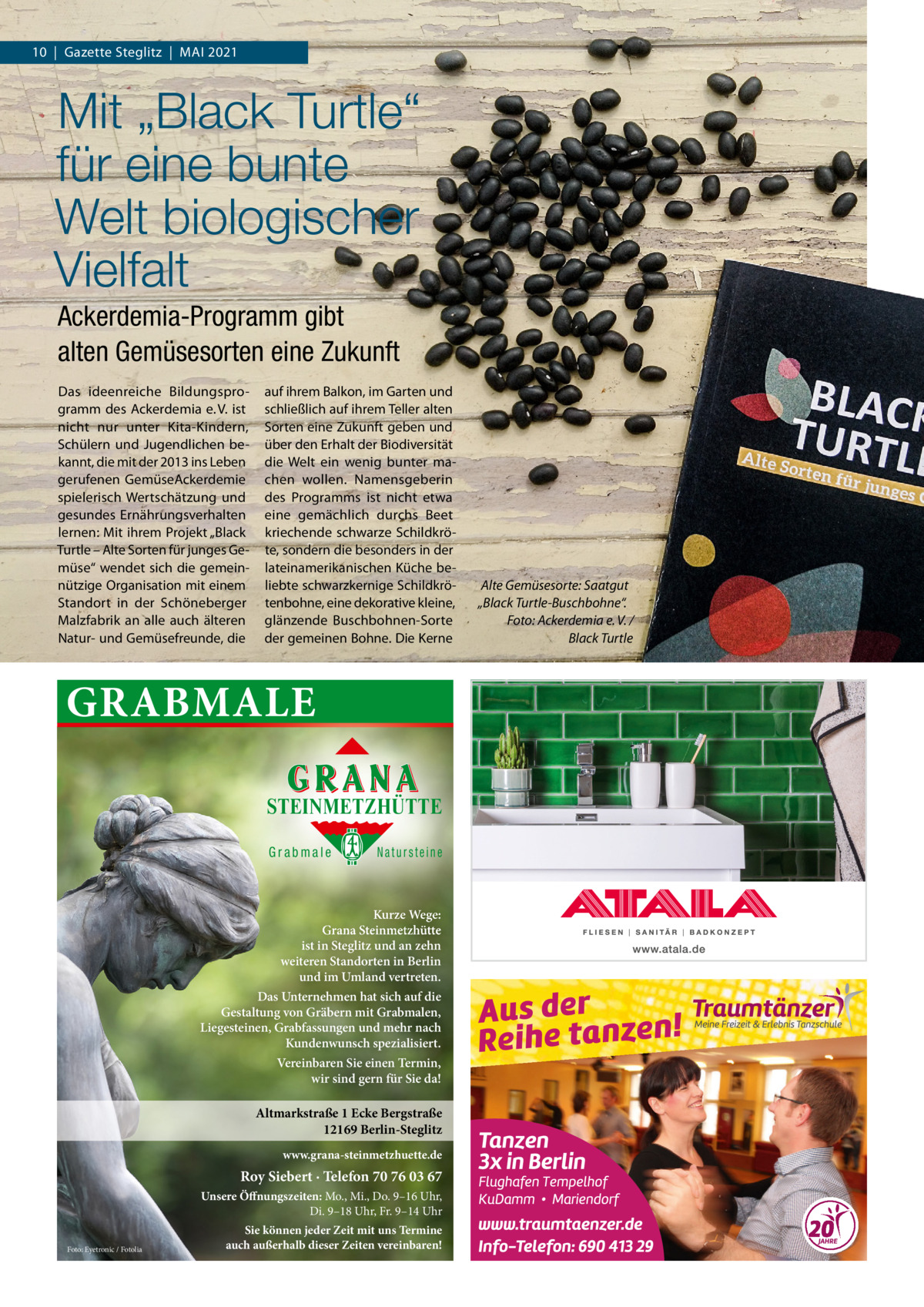 10  |  Gazette Steglitz  |  Mai 2021  Mit „Black Turtle“ für eine bunte Welt biologischer Vielfalt Ackerdemia-Programm gibt alten Gemüsesorten eine Zukunft Das ideenreiche Bildungsprogramm des ackerdemia e. V. ist nicht nur unter Kita-Kindern, Schülern und Jugendlichen bekannt, die mit der 2013 ins Leben gerufenen Gemüseackerdemie spielerisch Wertschätzung und gesundes Ernährungsverhalten lernen: Mit ihrem Projekt „Black Turtle – alte Sorten für junges Gemüse“ wendet sich die gemeinnützige Organisation mit einem Standort in der Schöneberger Malzfabrik an alle auch älteren Natur- und Gemüsefreunde, die  auf ihrem Balkon, im Garten und schließlich auf ihrem Teller alten Sorten eine Zukunft geben und über den Erhalt der Biodiversität die Welt ein wenig bunter machen wollen. Namensgeberin des Programms ist nicht etwa eine gemächlich durchs Beet kriechende schwarze Schildkröte, sondern die besonders in der lateinamerikanischen Küche beliebte schwarzkernige Schildkrötenbohne, eine dekorative kleine, glänzende Buschbohnen-Sorte der gemeinen Bohne. Die Kerne  GRABMALE STEINMETZHÜTTE Grabmale  Natursteine  Kurze Wege: Grana Steinmetzhütte ist in Steglitz und an zehn weiteren Standorten in Berlin und im Umland vertreten. Das Unternehmen hat sich auf die Gestaltung von Gräbern mit Grabmalen, Liegesteinen, Grabfassungen und mehr nach Kundenwunsch spezialisiert. Vereinbaren Sie einen Termin, wir sind gern für Sie da!  Altmarkstraße 1 Ecke Bergstraße 12169 Berlin-Steglitz www.grana-steinmetzhuette.de  Roy Siebert · Telefon 70 76 03 67 Unsere Öffnungszeiten: Mo., Mi., Do. 9–16 Uhr, Di. 9–18 Uhr, Fr. 9–14 Uhr Foto: Eyetronic / Fotolia  Sie können jeder Zeit mit uns Termine auch außerhalb dieser Zeiten vereinbaren!  Alte Gemüsesorte: Saatgut „Black Turtle-Buschbohne“. Foto: Ackerdemia e. V. / Black Turtle