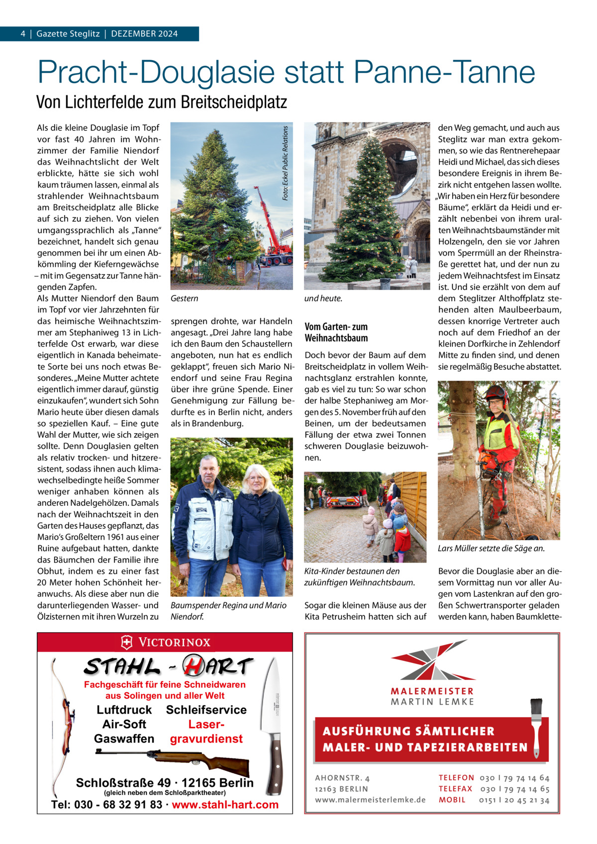 4  |  Gazette Steglitz  |  Dezember 2024  Pracht-Douglasie statt Panne-Tanne Als die kleine Douglasie im Topf vor fast 40  Jahren im Wohnzimmer der Familie Niendorf das Weihnachtslicht der Welt erblickte, hätte sie sich wohl kaum träumen lassen, einmal als strahlender Weihnachtsbaum am Breitscheidplatz alle Blicke auf sich zu ziehen. Von vielen umgangssprachlich als „Tanne“ bezeichnet, handelt sich genau genommen bei ihr um einen Abkömmling der Kieferngewächse – mit im Gegensatz zur Tanne hängenden Zapfen. Als Mutter Niendorf den Baum im Topf vor vier Jahrzehnten für das heimische Weihnachtszimmer am Stephaniweg 13 in Lichterfelde Ost erwarb, war diese eigentlich in Kanada beheimatete Sorte bei uns noch etwas Besonderes. „Meine Mutter achtete eigentlich immer darauf, günstig einzukaufen“, wundert sich Sohn Mario heute über diesen damals so speziellen Kauf. – Eine gute Wahl der Mutter, wie sich zeigen sollte. Denn Douglasien gelten als relativ trocken- und hitzeresistent, sodass ihnen auch klimawechselbedingte heiße Sommer weniger anhaben können als anderen Nadelgehölzen. Damals nach der Weihnachtszeit in den Garten des Hauses gepflanzt, das Mario‘s Großeltern 1961 aus einer Ruine aufgebaut hatten, dankte das Bäumchen der Familie ihre Obhut, indem es zu einer fast 20  Meter hohen Schönheit heranwuchs. Als diese aber nun die darunterliegenden Wasser- und Ölzisternen mit ihren Wurzeln zu  Foto: Eckel Public Relations  Von Lichterfelde zum Breitscheidplatz  Gestern 	 sprengen drohte, war Handeln angesagt. „Drei Jahre lang habe ich den Baum den Schaustellern angeboten, nun hat es endlich geklappt“, freuen sich Mario Niendorf und seine Frau Regina über ihre grüne Spende. Einer Genehmigung zur Fällung bedurfte es in Berlin nicht, anders als in Brandenburg.  den Weg gemacht, und auch aus Steglitz war man extra gekommen, so wie das Rentnerehepaar Heidi und Michael, das sich dieses besondere Ereignis in ihrem Bezirk nicht entgehen lassen wollte. „Wir haben ein Herz für besondere Bäume“, erklärt da Heidi und erzählt nebenbei von ihrem uralten Weihnachtsbaumständer mit Holzengeln, den sie vor Jahren vom Sperrmüll an der Rheinstraße gerettet hat, und der nun zu jedem Weihnachtsfest im Einsatz ist. Und sie erzählt von dem auf und heute. dem Steglitzer Althoffplatz stehenden alten Maulbeerbaum, dessen knorrige Vertreter auch Vom Garten- zum noch auf dem Friedhof an der Weihnachtsbaum kleinen Dorfkirche in Zehlendorf Doch bevor der Baum auf dem Mitte zu finden sind, und denen Breitscheidplatz in vollem Weih- sie regelmäßig Besuche abstattet. nachtsglanz erstrahlen konnte, gab es viel zu tun: So war schon der halbe Stephaniweg am Morgen des 5. November früh auf den Beinen, um der bedeutsamen Fällung der etwa zwei Tonnen schweren Douglasie beizuwohnen.  Lars Müller setzte die Säge an. Kita-Kinder bestaunen den zukünftigen Weihnachtsbaum. Baumspender Regina und Mario Niendorf.  Sogar die kleinen Mäuse aus der Kita Petrusheim hatten sich auf  Bevor die Douglasie aber an diesem Vormittag nun vor aller Augen vom Lastenkran auf den großen Schwertransporter geladen werden kann, haben Baumklette Fachgeschäft für feine Schneidwaren aus Solingen und aller Welt  Luftdruck Schleifservice Air-Soft LaserGaswaffen gravurdienst  Schloßstraße 49 · 12165 Berlin (gleich neben dem Schloßparktheater)  Tel: 030 - 68 32 91 83 · www.stahl-hart.com  AUS FÜ H RU NG SÄ MTLICH ER M A LER- U N D TA PEZ I ER A RB EITE N A H O R N STR . 4 12 16 3 B E R L I N www.malermeisterlemke.de  TE L E FO N 0 3 0 I 79 74 14 6 4 TE L E FA X 0 3 0 I 79 74 14 6 5 MOB I L 0 15 1 I 2 0 45 21 3 4