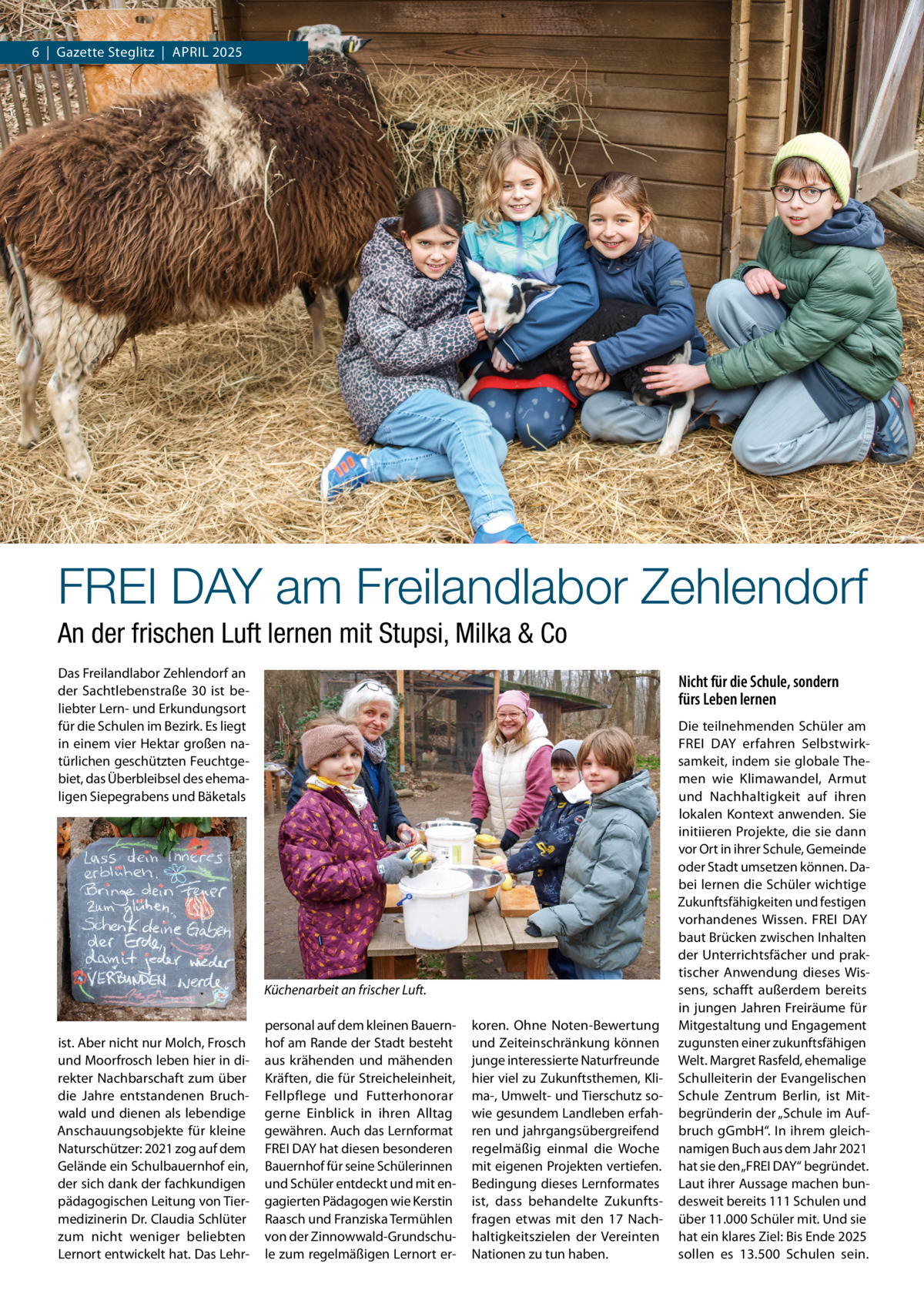 6  |  Gazette Steglitz  |  APRIL 2025  FREI DAY am Freilandlabor Zehlendorf An der frischen Luft lernen mit Stupsi, Milka & Co Das Freilandlabor Zehlendorf an der Sachtlebenstraße  30 ist beliebter Lern- und Erkundungsort für die Schulen im Bezirk. Es liegt in einem vier Hektar großen natürlichen geschützten Feuchtgebiet, das Überbleibsel des ehemaligen Siepegrabens und Bäketals  Nicht für die Schule, sondern fürs Leben lernen  Küchenarbeit an frischer Luft.  ist. Aber nicht nur Molch, Frosch und Moorfrosch leben hier in direkter Nachbarschaft zum über die Jahre entstandenen Bruchwald und dienen als lebendige Anschauungsobjekte für kleine Naturschützer: 2021 zog auf dem Gelände ein Schulbauernhof ein, der sich dank der fachkundigen pädagogischen Leitung von Tiermedizinerin Dr. Claudia Schlüter zum nicht weniger beliebten Lernort entwickelt hat. Das Lehr personal auf dem kleinen Bauernhof am Rande der Stadt besteht aus krähenden und mähenden Kräften, die für Streicheleinheit, Fellpflege und Futterhonorar gerne Einblick in ihren Alltag gewähren. Auch das Lernformat FREI DAY hat diesen besonderen Bauernhof für seine Schülerinnen und Schüler entdeckt und mit engagierten Pädagogen wie Kerstin Raasch und Franziska Termühlen von der Zinnowwald-Grundschule zum regelmäßigen Lernort er koren. Ohne Noten-Bewertung und Zeiteinschränkung können junge interessierte Naturfreunde hier viel zu Zukunftsthemen, Klima-, Umwelt- und Tierschutz sowie gesundem Landleben erfahren und jahrgangsübergreifend regelmäßig einmal die Woche mit eigenen Projekten vertiefen. Bedingung dieses Lernformates ist, dass behandelte Zukunftsfragen etwas mit den 17  Nachhaltigkeitszielen der Vereinten Nationen zu tun haben.  Die teilnehmenden Schüler am FREI DAY erfahren Selbstwirksamkeit, indem sie globale Themen wie Klimawandel, Armut und Nachhaltigkeit auf ihren lokalen Kontext anwenden. Sie initiieren Projekte, die sie dann vor Ort in ihrer Schule, Gemeinde oder Stadt umsetzen können. Dabei lernen die Schüler wichtige Zukunftsfähigkeiten und festigen vorhandenes Wissen. FREI DAY baut Brücken zwischen Inhalten der Unterrichtsfächer und praktischer Anwendung dieses Wissens, schafft außerdem bereits in jungen Jahren Freiräume für Mitgestaltung und Engagement zugunsten einer zukunftsfähigen Welt. Margret Rasfeld, ehemalige Schulleiterin der Evangelischen Schule Zentrum Berlin, ist Mitbegründerin der „Schule im Aufbruch gGmbH“. In ihrem gleichnamigen Buch aus dem Jahr 2021 hat sie den „FREI DAY“ begründet. Laut ihrer Aussage machen bundesweit bereits 111 Schulen und über 11.000 Schüler mit. Und sie hat ein klares Ziel: Bis Ende 2025 sollen es 13.500  Schulen sein.