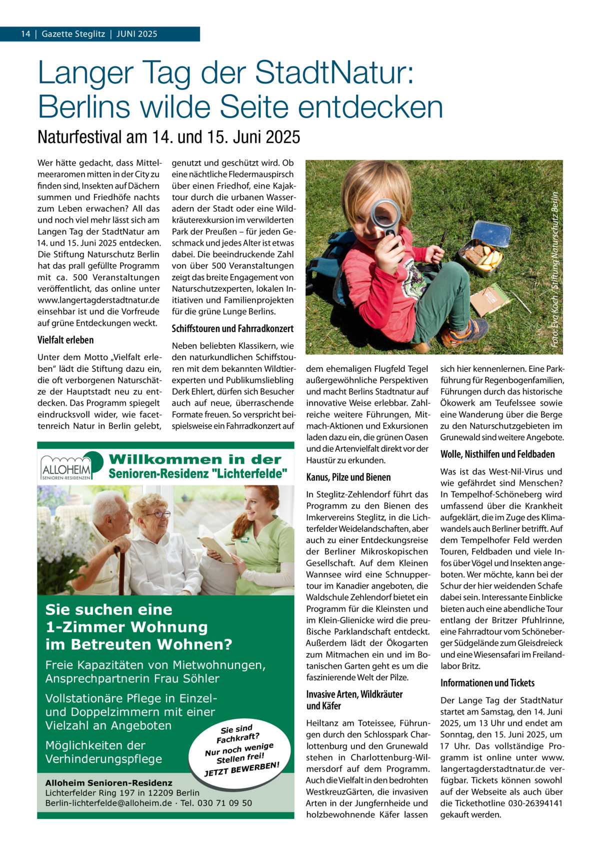 14  |  Gazette Steglitz  |  JUNI 2025  Langer Tag der StadtNatur: Berlins wilde Seite entdecken Naturfestival am 14. und 15. Juni 2025  Vielfalt erleben Unter dem Motto „Vielfalt erleben“ lädt die Stiftung dazu ein, die oft verborgenen Naturschätze der Hauptstadt neu zu entdecken. Das Programm spiegelt eindrucksvoll wider, wie facettenreich Natur in Berlin gelebt,  genutzt und geschützt wird. Ob eine nächtliche Fledermauspirsch über einen Friedhof, eine Kajaktour durch die urbanen Wasseradern der Stadt oder eine Wildkräuterexkursion im verwilderten Park der Preußen – für jeden Geschmack und jedes Alter ist etwas dabei. Die beeindruckende Zahl von über 500  Veranstaltungen zeigt das breite Engagement von Naturschutzexperten, lokalen Initiativen und Familienprojekten für die grüne Lunge Berlins.  Schiﬀstouren und Fahrradkonzert Neben beliebten Klassikern, wie den naturkundlichen Schiffstouren mit dem bekannten Wildtierexperten und Publikumsliebling Derk Ehlert, dürfen sich Besucher auch auf neue, überraschende Formate freuen. So verspricht beispielsweise ein Fahrradkonzert auf  Sie suchen eine 1-Zimmer Wohnung im Betreuten Wohnen? Freie Kapazitäten von Mietwohnungen, Ansprechpartnerin Frau Söhler Vollstationäre Pflege in Einzelund Doppelzimmern mit einer Vielzahl an Angeboten Möglichkeiten der Verhinderungspflege  Foto: Eva Koch / Stiftung Naturschutz Berlin  Wer hätte gedacht, dass Mittelmeeraromen mitten in der City zu finden sind, Insekten auf Dächern summen und Friedhöfe nachts zum Leben erwachen? All das und noch viel mehr lässt sich am Langen Tag der StadtNatur am 14. und 15. Juni 2025 entdecken. Die Stiftung Naturschutz Berlin hat das prall gefüllte Programm mit ca. 500  Veranstaltungen veröffentlicht, das online unter www.langertagderstadtnatur.de einsehbar ist und die Vorfreude auf grüne Entdeckungen weckt.  Sie sind ft? Fachkra enige w h c o n Nur ei! fr n e ll Ste ERBEN! W E B T JETZ  Alloheim Senioren-Residenz Lichterfelder Ring 197 in 12209 Berlin Berlin-lichterfelde@alloheim.de ∙ Tel. 030 71 09 50  dem ehemaligen Flugfeld Tegel außergewöhnliche Perspektiven und macht Berlins Stadtnatur auf innovative Weise erlebbar. Zahlreiche weitere Führungen, Mitmach-Aktionen und Exkursionen laden dazu ein, die grünen Oasen und die Artenvielfalt direkt vor der Haustür zu erkunden.  sich hier kennenlernen. Eine Parkführung für Regenbogenfamilien, Führungen durch das historische Ökowerk am Teufelssee sowie eine Wanderung über die Berge zu den Naturschutzgebieten im Grunewald sind weitere Angebote.  Kanus, Pilze und Bienen  Was ist das West-Nil-Virus und wie gefährdet sind Menschen? In Tempelhof-Schöneberg wird umfassend über die Krankheit aufgeklärt, die im Zuge des Klimawandels auch Berliner betrifft. Auf dem Tempelhofer Feld werden Touren, Feldbaden und viele Infos über Vögel und Insekten angeboten. Wer möchte, kann bei der Schur der hier weidenden Schafe dabei sein. Interessante Einblicke bieten auch eine abendliche Tour entlang der Britzer Pfuhlrinne, eine Fahrradtour vom Schöneberger Südgelände zum Gleisdreieck und eine Wiesensafari im Freilandlabor Britz.  In Steglitz-Zehlendorf führt das Programm zu den Bienen des Imkervereins Steglitz, in die Lichterfelder Weidelandschaften, aber auch zu einer Entdeckungsreise der Berliner Mikroskopischen Gesellschaft. Auf dem Kleinen Wannsee wird eine Schnuppertour im Kanadier angeboten, die Waldschule Zehlendorf bietet ein Programm für die Kleinsten und im Klein-Glienicke wird die preußische Parklandschaft entdeckt. Außerdem lädt der Ökogarten zum Mitmachen ein und im Botanischen Garten geht es um die faszinierende Welt der Pilze.  Invasive Arten, Wildkräuter und Käfer  Wolle, Nisthilfen und Feldbaden  Informationen und Tickets  Der Lange Tag der StadtNatur startet am Samstag, den 14. Juni Heiltanz am Toteissee, Führun- 2025, um 13 Uhr und endet am gen durch den Schlosspark Char- Sonntag, den 15. Juni 2025, um lottenburg und den Grunewald 17  Uhr. Das vollständige Prostehen in Charlottenburg-Wil- gramm ist online unter www. mersdorf auf dem Programm. langertagderstadtnatur.de verAuch die Vielfalt in den bedrohten fügbar. Tickets können sowohl WestkreuzGärten, die invasiven auf der Webseite als auch über Arten in der Jungfernheide und die Tickethotline 030-26394141 holzbewohnende Käfer lassen gekauft werden.