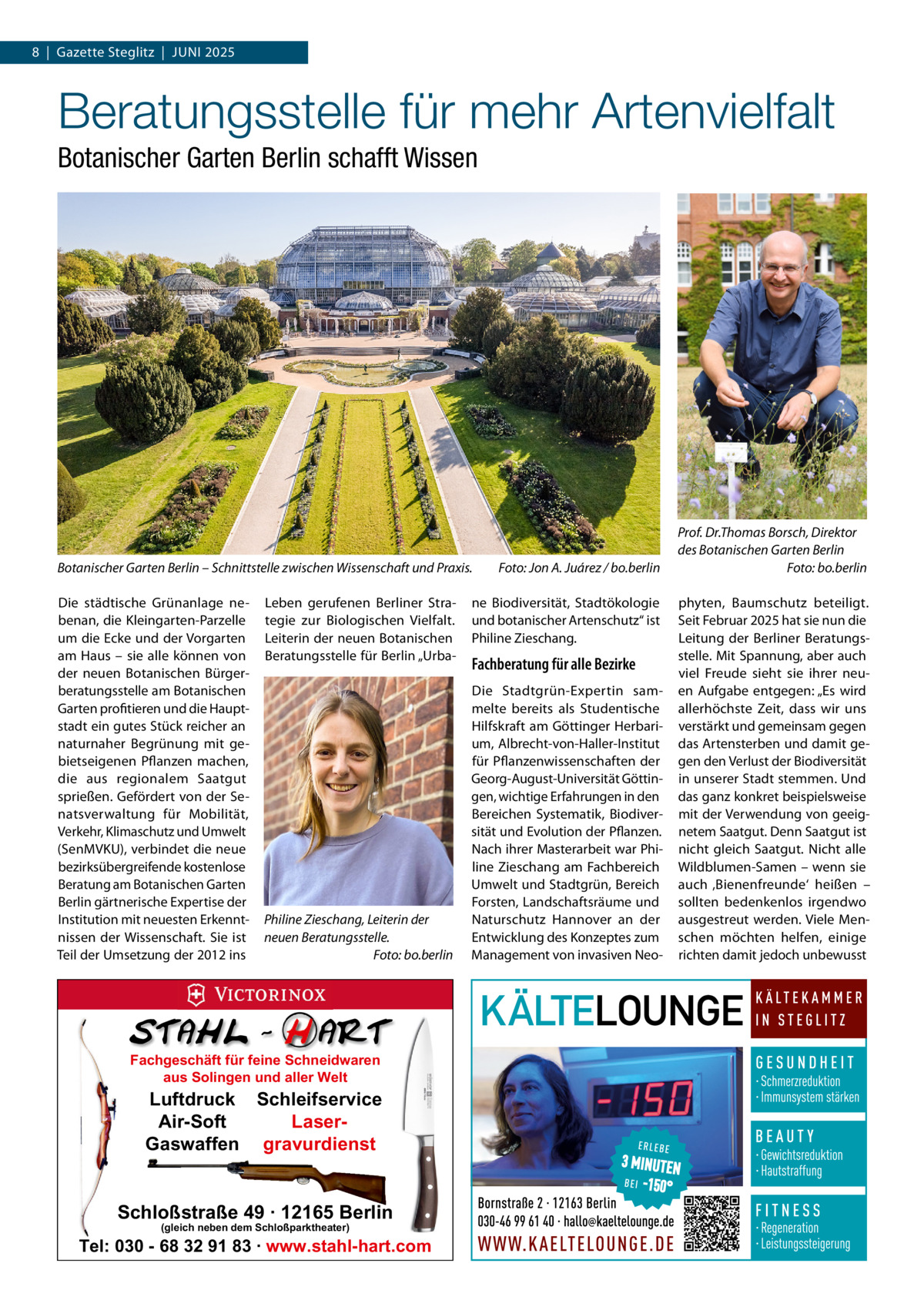 8  |  Gazette Steglitz  |  Juni 2025  Beratungsstelle für mehr Artenvielfalt Botanischer Garten Berlin schafft Wissen  Botanischer Garten Berlin – Schnittstelle zwischen Wissenschaft und Praxis.� Die städtische Grünanlage nebenan, die Kleingarten-Parzelle um die Ecke und der Vorgarten am Haus – sie alle können von der neuen Botanischen Bürgerberatungsstelle am Botanischen Garten profitieren und die Hauptstadt ein gutes Stück reicher an naturnaher Begrünung mit gebietseigenen Pflanzen machen, die aus regionalem Saatgut sprießen. Gefördert von der Senatsverwaltung für Mobilität, Verkehr, Klimaschutz und Umwelt (SenMVKU), verbindet die neue bezirksübergreifende kostenlose Beratung am Botanischen Garten Berlin gärtnerische Expertise der Institution mit neuesten Erkenntnissen der Wissenschaft. Sie ist Teil der Umsetzung der 2012 ins  Leben gerufenen Berliner Strategie zur Biologischen Vielfalt. Leiterin der neuen Botanischen Beratungsstelle für Berlin „Urba Philine Zieschang, Leiterin der neuen Beratungsstelle. � Foto: bo.berlin  Fachgeschäft für feine Schneidwaren aus Solingen und aller Welt  Luftdruck Schleifservice Air-Soft LaserGaswaffen gravurdienst  Schloßstraße 49 · 12165 Berlin (gleich neben dem Schloßparktheater)  Tel: 030 - 68 32 91 83 · www.stahl-hart.com  Foto: Jon A. Juárez / bo.berlin  ne Biodiversität, Stadtökologie und botanischer Artenschutz“ ist Philine Zieschang.  Fachberatung für alle Bezirke Die Stadtgrün-Expertin sammelte bereits als Studentische Hilfskraft am Göttinger Herbarium, Albrecht-von-Haller-Institut für Pflanzenwissenschaften der Georg-August-Universität Göttingen, wichtige Erfahrungen in den Bereichen Systematik, Biodiversität und Evolution der Pflanzen. Nach ihrer Masterarbeit war Philine Zieschang am Fachbereich Umwelt und Stadtgrün, Bereich Forsten, Landschaftsräume und Naturschutz Hannover an der Entwicklung des Konzeptes zum Management von invasiven Neo Prof. Dr.Thomas Borsch, Direktor des Botanischen Garten Berlin � Foto: bo.berlin phyten, Baumschutz beteiligt. Seit Februar 2025 hat sie nun die Leitung der Berliner Beratungsstelle. Mit Spannung, aber auch viel Freude sieht sie ihrer neuen Aufgabe entgegen: „Es wird allerhöchste Zeit, dass wir uns verstärkt und gemeinsam gegen das Artensterben und damit gegen den Verlust der Biodiversität in unserer Stadt stemmen. Und das ganz konkret beispielsweise mit der Verwendung von geeignetem Saatgut. Denn Saatgut ist nicht gleich Saatgut. Nicht alle Wildblumen-Samen – wenn sie auch ‚Bienenfreunde‘ heißen – sollten bedenkenlos irgendwo ausgestreut werden. Viele Menschen möchten helfen, einige richten damit jedoch unbewusst