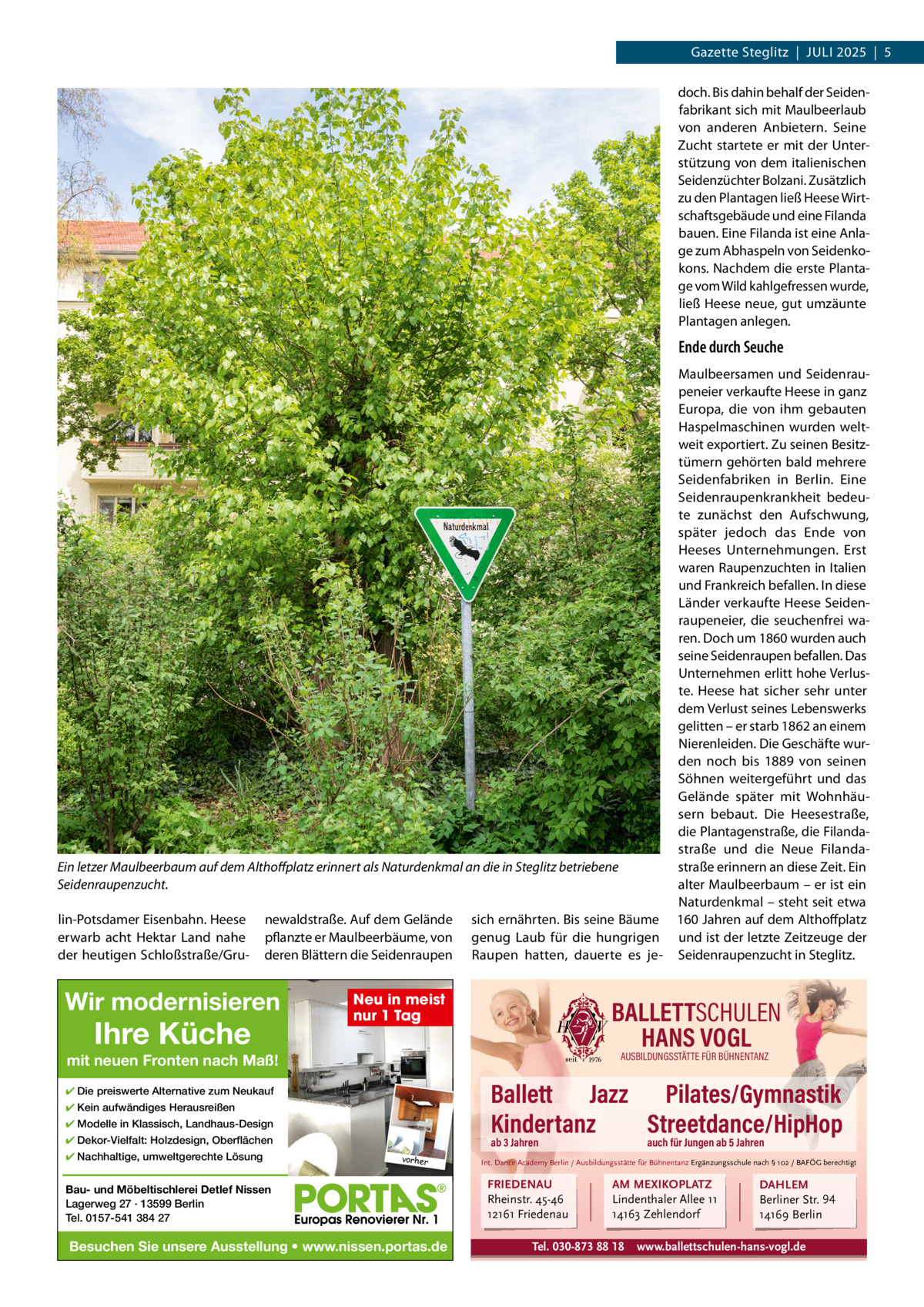 Gazette Steglitz  |  Juli 2025  |  5 doch. Bis dahin behalf der Seidenfabrikant sich mit Maulbeerlaub von anderen Anbietern. Seine Zucht startete er mit der unterstützung von dem italienischen Seidenzüchter Bolzani. Zusätzlich zu den Plantagen ließ Heese Wirtschaftsgebäude und eine Filanda bauen. Eine Filanda ist eine Anlage zum Abhaspeln von Seidenkokons. Nachdem die erste Plantage vom Wild kahlgefressen wurde, ließ Heese neue, gut umzäunte Plantagen anlegen.  Ende durch Seuche Maulbeersamen und Seidenraupeneier verkaufte Heese in ganz Europa, die von ihm gebauten Haspelmaschinen wurden weltweit exportiert. Zu seinen Besitztümern gehörten bald mehrere Seidenfabriken in Berlin. Eine Seidenraupenkrankheit bedeute zunächst den Aufschwung, später jedoch das Ende von Heeses unternehmungen. Erst waren Raupenzuchten in italien und Frankreich befallen. in diese länder verkaufte Heese Seidenraupeneier, die seuchenfrei waren. Doch um 1860 wurden auch seine Seidenraupen befallen. Das unternehmen erlitt hohe Verluste. Heese hat sicher sehr unter dem Verlust seines lebenswerks gelitten – er starb 1862 an einem Nierenleiden. Die Geschäfte wurden noch bis 1889 von seinen Söhnen weitergeführt und das Gelände später mit Wohnhäusern bebaut. Die Heesestraße, die Plantagenstraße, die Filandastraße und die Neue FilandaEin letzer Maulbeerbaum auf dem Althoffplatz erinnert als Naturdenkmal an die in Steglitz betriebene straße erinnern an diese Zeit. Ein alter Maulbeerbaum – er ist ein Seidenraupenzucht. Naturdenkmal – steht seit etwa lin-Potsdamer Eisenbahn. Heese newaldstraße. Auf dem Gelände sich ernährten. Bis seine Bäume 160 Jahren auf dem Althoffplatz erwarb acht Hektar land nahe pflanzte er Maulbeerbäume, von genug laub für die hungrigen und ist der letzte Zeitzeuge der der heutigen Schloßstraße/Gru- deren Blättern die Seidenraupen Raupen hatten, dauerte es je- Seidenraupenzucht in Steglitz.  Wir modernisieren  Ihre Küche  Neu in meist nur 1 Tag  BALLETTSCHULEN HANS VOGL AUSBILDUNGSSTÄTTE FÜR BÜHNENTANZ  mit neuen Fronten nach Maß!  Ballett Jazz Pilates/Gymnastik Kindertanz Streetdance/HipHop  ✔ Die preiswerte Alternative zum Neukauf ✔ Kein aufwändiges Herausreißen ✔ Modelle in Klassisch, Landhaus-Design ✔ Dekor-Vielfalt: Holzdesign, Oberflächen ✔ Nachhaltige, umweltgerechte Lösung  ab 3 Jahren vorher  Bau- und Möbeltischlerei Detlef Nissen Lagerweg 27 · 13599 Berlin Tel. 0157-541 384 27  Besuchen Sie unsere Ausstellung • www.nissen.portas.de  auch für Jungen ab 5 Jahren  Int. Dance Academy Berlin / Ausbildungsstätte für Bühnentanz Ergänzungsschule nach § 102 / BAFÖG berechtigt  FRIEDENAU Rheinstr. 45-46 12161 Friedenau  AM MEXIKOPLATZ Lindenthaler Allee 11 14163 Zehlendorf  Tel. 030-873 88 18  DAHLEM Berliner Str. 94 14169 Berlin  www.ballettschulen-hans-vogl.de