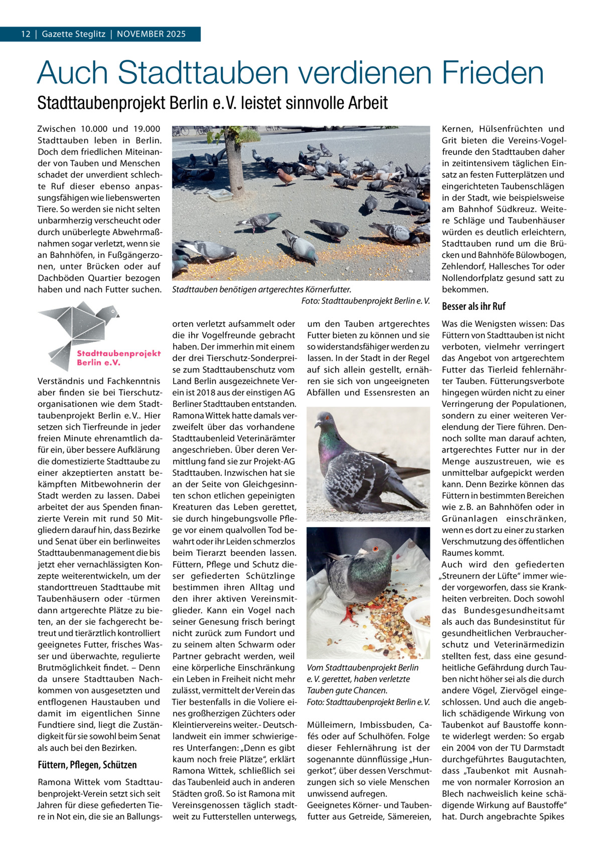 12  |  Gazette Steglitz  |  NOVEMBER 2025  Auch Stadttauben verdienen Frieden Stadttaubenprojekt Berlin e. V. leistet sinnvolle Arbeit Zwischen 10.000 und 19.000 Stadttauben leben in Berlin. Doch dem friedlichen Miteinan­ der von Tauben und Menschen schadet der unverdient schlech­ te Ruf dieser ebenso anpas­ sungsfähigen wie liebenswerten Tiere. So werden sie nicht selten unbarmherzig verscheucht oder durch unüberlegte Abwehrmaß­ nahmen sogar verletzt, wenn sie an Bahnhöfen, in Fußgängerzo­ nen, unter Brücken oder auf Dachböden Quartier bezogen haben und nach Futter suchen.  Verständnis und Fachkenntnis aber finden sie bei Tierschutz­ organisationen wie dem Stadt­ taubenprojekt Berlin e. V.. Hier setzen sich Tierfreunde in jeder freien Minute ehrenamtlich da­ für ein, über bessere Aufklärung die domestizierte Stadttaube zu einer akzeptierten anstatt be­ kämpften Mitbewohnerin der Stadt werden zu lassen. Dabei arbeitet der aus Spenden finan­ zierte Verein mit rund 50  Mit­ gliedern darauf hin, dass Bezirke und Senat über ein berlinweites Stadttaubenmanagement die bis jetzt eher vernachlässigten Kon­ zepte weiterentwickeln, um der standorttreuen Stadttaube mit Taubenhäusern oder ­türmen dann artgerechte Plätze zu bie­ ten, an der sie fachgerecht be­ treut und tierärztlich kontrolliert geeignetes Futter, frisches Was­ ser und überwachte, regulierte Brutmöglichkeit findet. – Denn da unsere Stadttauben Nach­ kommen von ausgesetzten und entflogenen Haustauben und damit im eigentlichen Sinne Fundtiere sind, liegt die Zustän­ digkeit für sie sowohl beim Senat als auch bei den Bezirken.  Füttern, Pflegen, Schützen Ramona Wittek vom Stadttau­ benprojekt­Verein setzt sich seit Jahren für diese gefiederten Tie­ re in Not ein, die sie an Ballungs­  Stadttauben benötigen artgerechtes Körnerfutter. Foto: Stadttaubenprojekt Berlin e. V. orten verletzt aufsammelt oder die ihr Vogelfreunde gebracht haben. Der immerhin mit einem der drei Tierschutz­Sonderprei­ se zum Stadttaubenschutz vom Land Berlin ausgezeichnete Ver­ ein ist 2018 aus der einstigen AG Berliner Stadttauben entstanden. Ramona Wittek hatte damals ver­ zweifelt über das vorhandene Stadttaubenleid Veterinärämter angeschrieben. Über deren Ver­ mittlung fand sie zur Projekt­AG Stadttauben. Inzwischen hat sie an der Seite von Gleichgesinn­ ten schon etlichen gepeinigten Kreaturen das Leben gerettet, sie durch hingebungsvolle Pfle­ ge vor einem qualvollen Tod be­ wahrt oder ihr Leiden schmerzlos beim Tierarzt beenden lassen. Füttern, Pflege und Schutz die­ ser gefiederten Schützlinge bestimmen ihren Alltag und den ihrer aktiven Vereinsmit­ glieder. Kann ein Vogel nach seiner Genesung frisch beringt nicht zurück zum Fundort und zu seinem alten Schwarm oder Partner gebracht werden, weil eine körperliche Einschränkung ein Leben in Freiheit nicht mehr zulässt, vermittelt der Verein das Tier bestenfalls in die Voliere ei­ nes großherzigen Züchters oder Kleintiervereins weiter.­ Deutsch­ landweit ein immer schwierige­ res Unterfangen: „Denn es gibt kaum noch freie Plätze“, erklärt Ramona Wittek, schließlich sei das Taubenleid auch in anderen Städten groß. So ist Ramona mit Vereinsgenossen täglich stadt­ weit zu Futterstellen unterwegs,  um den Tauben artgerechtes Futter bieten zu können und sie so widerstandsfähiger werden zu lassen. In der Stadt in der Regel auf sich allein gestellt, ernäh­ ren sie sich von ungeeigneten Abfällen und Essensresten an  Vom Stadttaubenprojekt Berlin e. V. gerettet, haben verletzte Tauben gute Chancen. Foto: Stadttaubenprojekt Berlin e. V. Mülleimern, Imbissbuden, Ca­ fés oder auf Schulhöfen. Folge dieser Fehlernährung ist der sogenannte dünnflüssige „Hun­ gerkot“, über dessen Verschmut­ zungen sich so viele Menschen unwissend aufregen. Geeignetes Körner­ und Tauben­ futter aus Getreide, Sämereien,  Kernen, Hülsenfrüchten und Grit bieten die Vereins­Vogel­ freunde den Stadttauben daher in zeitintensivem täglichen Ein­ satz an festen Futterplätzen und eingerichteten Taubenschlägen in der Stadt, wie beispielsweise am Bahnhof Südkreuz. Weite­ re Schläge und Taubenhäuser würden es deutlich erleichtern, Stadttauben rund um die Brü­ cken und Bahnhöfe Bülowbogen, Zehlendorf, Hallesches Tor oder Nollendorfplatz gesund satt zu bekommen.  Besser als ihr Ruf Was die Wenigsten wissen: Das Füttern von Stadttauben ist nicht verboten, vielmehr verringert das Angebot von artgerechtem Futter das Tierleid fehlernähr­ ter Tauben. Fütterungsverbote hingegen würden nicht zu einer Verringerung der Populationen, sondern zu einer weiteren Ver­ elendung der Tiere führen. Den­ noch sollte man darauf achten, artgerechtes Futter nur in der Menge auszustreuen, wie es unmittelbar aufgepickt werden kann. Denn Bezirke können das Füttern in bestimmten Bereichen wie z. B. an Bahnhöfen oder in Grünanlagen einschränken, wenn es dort zu einer zu starken Verschmutzung des öffentlichen Raumes kommt. Auch wird den gefiederten „Streunern der Lüfte“ immer wie­ der vorgeworfen, dass sie Krank­ heiten verbreiten. Doch sowohl das Bundesgesundheitsamt als auch das Bundesinstitut für gesundheitlichen Verbraucher­ schutz und Veterinärmedizin stellten fest, dass eine gesund­ heitliche Gefährdung durch Tau­ ben nicht höher sei als die durch andere Vögel, Ziervögel einge­ schlossen. Und auch die angeb­ lich schädigende Wirkung von Taubenkot auf Baustoffe konn­ te widerlegt werden: So ergab ein 2004 von der TU Darmstadt durchgeführtes Baugutachten, dass „Taubenkot mit Ausnah­ me von normaler Korrosion an Blech nachweislich keine schä­ digende Wirkung auf Baustoffe“ hat. Durch angebrachte Spikes