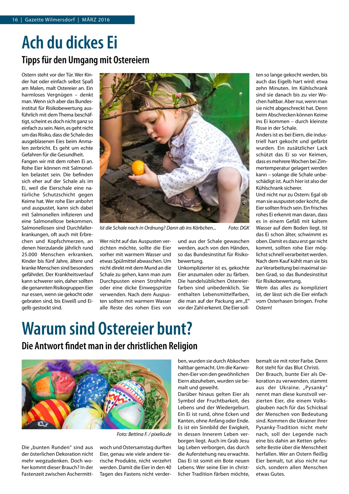 16  |  Gazette Wilmersdorf  |  März 2016  Ach du dickes Ei Tipps für den Umgang mit Ostereiern Ostern steht vor der Tür. Wer Kinder hat oder einfach selbst Spaß am Malen, malt Ostereier an. Ein harmloses Vergnügen – denkt man. Wenn sich aber das Bundesinstitut für Risikobewertung ausführlich mit dem Thema beschäftigt, scheint es doch nicht ganz so einfach zu sein. Nein, es geht nicht um das Risiko, dass die Schale des ausgeblasenen Eies beim Anmalen zerbricht. Es geht um echte Gefahren für die Gesundheit. Fangen wir mit dem rohen Ei an. Rohe Eier können mit Salmonellen belastet sein. Die befinden sich eher auf der Schale als im Ei, weil die Eierschale eine natürliche Schutzschicht gegen Keime hat. Wer rohe Eier anbohrt und auspustet, kann sich dabei mit Salmonellen infizieren und eine Salmonellose bekommen. Salmonellosen sind Durchfallerkrankungen, oft auch mit Erbrechen und Kopfschmerzen, an denen hierzulande jährlich rund 25.000 Menschen erkranken. Kinder bis fünf Jahre, ältere und kranke Menschen sind besonders gefährdet. Der Krankheitsverlauf kann schwerer sein, daher sollten die genannten Risikogruppen Eier nur essen, wenn sie gekocht oder gebraten sind, bis Eiweiß und Eigelb gestockt sind.  Ist die Schale noch in Ordnung? Dann ab ins Körbchen...� Wer nicht auf das Auspusten verzichten möchte, sollte die Eier vorher mit warmem Wasser und etwas Spülmittel abwaschen. Um nicht direkt mit dem Mund an die Schale zu gehen, kann man zum Durchpusten einen Strohhalm oder eine dicke Einwegspritze verwenden. Nach dem Auspusten sollten mit warmem Wasser alle Reste des rohen Eies von  Foto: DGK  und aus der Schale gewaschen werden, auch von den Händen, so das Bundesinstitut für Risikobewertung. Unkomplizierter ist es, gekochte Eier anzumalen oder zu färben. Die handelsüblichen Ostereierfarben sind unbedenklich. Sie enthalten Lebensmittelfarben, die man auf der Packung am „E” vor der Zahl erkennt. Die Eier soll ten so lange gekocht werden, bis auch das Eigelb hart wird: etwa zehn Minuten. Im Kühlschrank sind sie danach bis zu vier Wochen haltbar. Aber nur, wenn man sie nicht abgeschreckt hat. Denn beim Abschrecken können Keime ins Ei kommen – durch kleinste Risse in der Schale. Anders ist es bei Eiern, die industriell hart gekocht und gefärbt wurden. Ein zusätzlicher Lack schützt das Ei so vor Keimen, dass es mehrere Wochen bei Zimmertemperatur gelagert werden kann – solange die Schale unbeschädigt ist. Auch hier ist also der Kühlschrank sicherer. Und nicht nur zu Ostern: Egal ob man sie auspustet oder kocht, die Eier sollten frisch sein. Ein frisches rohes Ei erkennt man daran, dass es in einem Gefäß mit kaltem Wasser auf dem Boden liegt. Ist das Ei schon älter, schwimmt es oben. Damit es dazu erst gar nicht kommt, sollten rohe Eier möglichst schnell verarbeitet werden. Nach dem Kauf kühlt man sie bis zur Verarbeitung bei maximal sieben Grad, so das Bundesinstitut für Risikobewertung. Wem das alles zu kompliziert ist, der lässt sich die Eier einfach vom Osterhasen bringen. Frohe Ostern!  Warum sind Ostereier bunt? Die Antwort findet man in der christlichen Religion  � Die „bunten Runden“ sind aus der österlichen Dekoration nicht mehr wegzudenken. Doch woher kommt dieser Brauch? In der Fastenzeit zwischen Aschermitt Foto: Bettina F. / pixelio.de woch und Ostersamstag durften Eier, genau wie viele andere tierische Produkte, nicht verzehrt werden. Damit die Eier in den 40 Tagen des Fastens nicht verder ben, wurden sie durch Abkochen haltbar gemacht. Um die Karwochen-Eier von den gewöhnlichen Eiern abzuheben, wurden sie bemalt und geweiht. Darüber hinaus gelten Eier als Symbol der Fruchtbarkeit, des Lebens und der Wiedergeburt. Ein Ei ist rund, ohne Ecken und Kanten, ohne Anfang oder Ende. Es ist ein Sinnbild der Ewigkeit, in dessen Innerem Leben verborgen liegt. Auch im Grab Jesu lag Leben verborgen, das durch die Auferstehung neu erwachte. Das Ei ist somit ein Bote neuen Lebens. Wer seine Eier in christlicher Tradition färben möchte,  bemalt sie mit roter Farbe. Denn Rot steht für das Blut Christi. Der Brauch, bunte Eier als Dekoration zu verwenden, stammt aus der Ukraine. „Pysanky“ nennt man diese kunstvoll verzierten Eier, die einem Volksglauben nach für das Schicksal der Menschen von Bedeutung sind. Kommen die Ukrainer ihrer Pysanky-Tradition nicht mehr nach, soll der Legende nach eine bis dahin an Ketten gefesselte Bestie über die Menschheit herfallen. Wer an Ostern fleißig Eier bemalt, tut also nicht nur sich, sondern allen Menschen etwas Gutes.