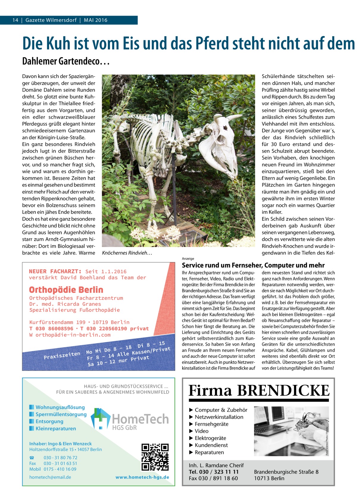 14  |  Gazette Wilmersdorf  |  Mai 2016  Die Kuh ist vom Eis und das Pferd steht nicht auf dem Dahlemer Gartendeco… Davon kann sich der Spaziergänger überzeugen, der unweit der Domäne Dahlem seine Runden dreht. So glotzt eine bunte Kuhskulptur in der Thielallee friedfertig aus dem Vorgarten, und ein edler schwarzweißblauer Pferdeguss grüßt elegant hinter schmiedeeisernem Gartenzaun an der Königin-Luise-Straße. Ein ganz besonderes Rindvieh jedoch lugt in der Bitterstraße zwischen grünen Büschen hervor, und so mancher fragt sich, wie und warum es dorthin gekommen ist. Bessere Zeiten hat es einmal gesehen und bestimmt einst mehr Fleisch auf den verwitternden Rippenknochen gehabt, bevor ein Bolzenschuss seinem Leben ein jähes Ende bereitete. Doch es hat eine ganz besondere Geschichte und blickt nicht ohne Grund aus leeren Augenhöhlen starr zum Arndt-Gymnasium hinüber: Dort im Biologiesaal verbrachte es viele Jahre. Warme  Schülerhände tätschelten seinen dünnen Hals, und mancher Prüfling zählte hastig seine Wirbel und Rippen durch. Bis zu dem Tag vor einigen Jahren, als man sich, seiner überdrüssig geworden, anlässlich eines Schulfestes zum Viehhandel mit ihm entschloss. Der Junge von Gegenüber war´s, der das Rindvieh schließlich für 30  Euro erstand und dessen Schulzeit abrupt beendete. Sein Vorhaben, den knochigen neuen Freund im Wohnzimmer einzuquartieren, stieß bei den Eltern auf wenig Gegenliebe. Ein Plätzchen im Garten hingegen räumte man ihm gnädig ein und gewährte ihm im ersten Winter sogar noch ein warmes Quartier im Keller. Ein Schild zwischen seinen Vorderbeinen gab Auskunft über seinen vergangenen Lebensweg, doch es verwitterte wie die alten Rindvieh-Knochen und wurde irgendwann in die Tiefen des Kel Knöchernes Rindvieh… Anzeige  Service rund um Fernseher, Computer und mehr Ihr Ansprechpartner rund um Computer, Fernseher, Video, Radio und Elektrogeräte: Bei der Firma Brendicke in der Brandenburgischen Straße 8 sind Sie an der richtigen Adresse. Das Team verfügt über eine langjährige Erfahrung und nimmt sich gern Zeit für Sie. Das beginnt schon bei der Kaufentscheidung: Welches Gerät ist optimal für Ihren Bedarf? Schon hier fängt die Beratung an. Die Lieferung und Einrichtung des Geräts gehört selbstverständlich zum Kundenservice. So haben Sie von Anfang an Freude an Ihrem neuen Fernseher und auch der neue Computer ist sofort einsatzbereit. Auch in punkto Netzwerkinstallation ist die Firma Brendicke auf  Wohnungsauflösung Sperrmüllentsorgung Entsorgung Kleinreparaturen  HomeTech HGS GbR  Inhaber: Ingo & Elen Wenzeck Holtzendorffstraße 15 • 14057 Berlin ☎ 030 - 31 80 76 72 Fax 030 - 31 01 63 51 Mobil 0175 - 410 16 09 hometech@email.de  www.hometech-hgs.de  Firma BRENDICKE ▶ Computer & Zubehör ▶ Netzwerkinstallation ▶ Fernsehgeräte ▶ Video ▶ Elektrogeräte ▶ Kundendienst ▶ Reparaturen Inh. L. Ramdane Cherif Tel. 030 / 323 11 11 Fax 030 / 891 18 60  Foto: Science Photo / Fotolia  HAUS- UND GRUNDSTÜCKSSERVICE ... FÜR EIN SAUBERES & ANGENEHMES WOHNUMFELD  dem neuesten Stand und richtet sich ganz nach Ihren Anforderungen. Wenn Reparaturen notwendig werden, werden sie nach Möglichkeit vor Ort durchgeführt. Ist das Problem doch größer, wird z. B. bei der Fernsehreparatur ein Ersatzgerät zur Verfügung gestellt. Aber auch bei kleinen Elektrogeräten – egal ob Neuanschaffung oder Reparatur – sowie bei Computerzubehör finden Sie hier einen schnellen und zuverlässigen Service sowie eine große Auswahl an Geräten für die unterschiedlichsten Ansprüche. Kabel, Glühlampen und weiteres sind ebenfalls direkt vor Ort erhältlich. Überzeugen Sie sich selbst von der Leistungsfähigkeit des Teams!  Brandenburgische Straße 8 10713 Berlin