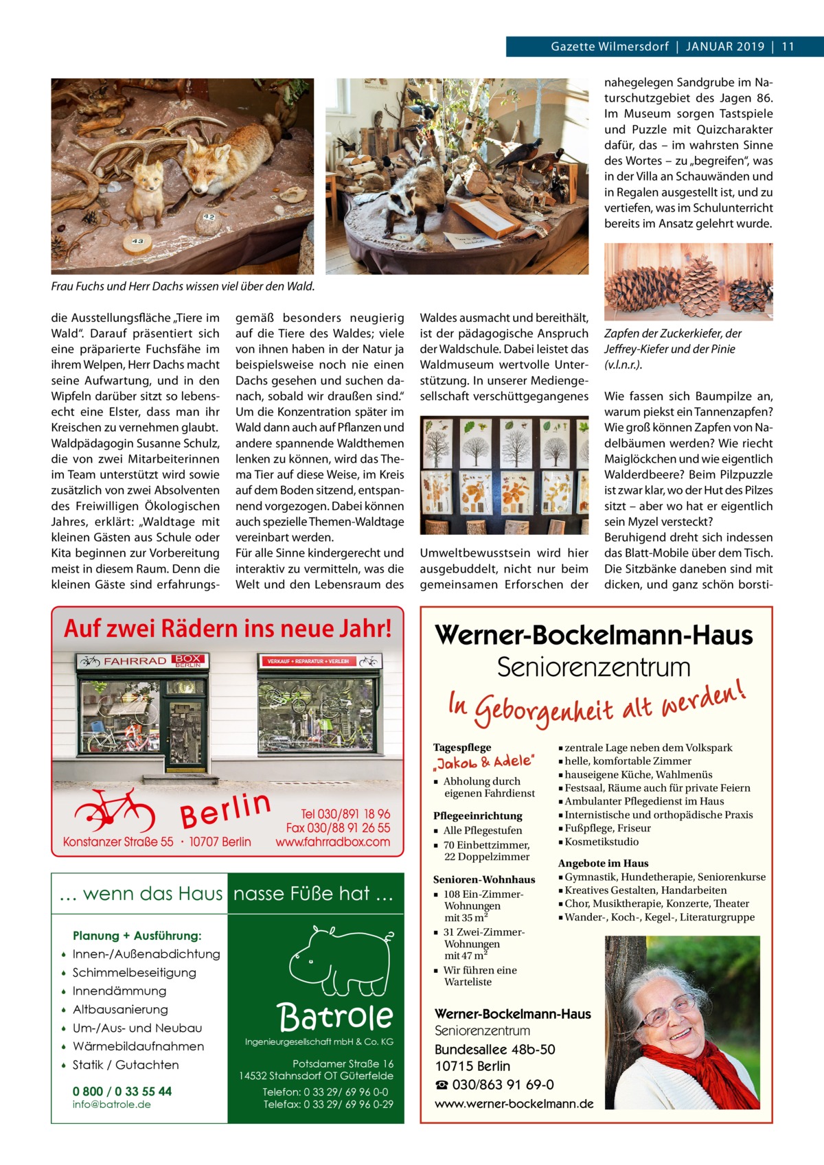 Gazette Wilmersdorf  |  Januar 2019  |  11 nahegelegen Sandgrube im Naturschutzgebiet des Jagen 86. Im Museum sorgen Tastspiele und Puzzle mit Quizcharakter dafür, das – im wahrsten Sinne des Wortes – zu „begreifen“, was in der Villa an Schauwänden und in Regalen ausgestellt ist, und zu vertiefen, was im Schulunterricht bereits im Ansatz gelehrt wurde.  Frau Fuchs und Herr Dachs wissen viel über den Wald. die Ausstellungsfläche „Tiere im Wald“. Darauf präsentiert sich eine präparierte Fuchsfähe im ihrem Welpen, Herr Dachs macht seine Aufwartung, und in den Wipfeln darüber sitzt so lebensecht eine Elster, dass man ihr Kreischen zu vernehmen glaubt. Waldpädagogin Susanne Schulz, die von zwei Mitarbeiterinnen im Team unterstützt wird sowie zusätzlich von zwei Absolventen des Freiwilligen Ökologischen Jahres, erklärt: „Waldtage mit kleinen Gästen aus Schule oder Kita beginnen zur Vorbereitung meist in diesem Raum. Denn die kleinen Gäste sind erfahrungs gemäß besonders neugierig auf die Tiere des Waldes; viele von ihnen haben in der Natur ja beispielsweise noch nie einen Dachs gesehen und suchen danach, sobald wir draußen sind.“ Um die Konzentration später im Wald dann auch auf Pflanzen und andere spannende Waldthemen lenken zu können, wird das Thema Tier auf diese Weise, im Kreis auf dem Boden sitzend, entspannend vorgezogen. Dabei können auch spezielle Themen-Waldtage vereinbart werden. Für alle Sinne kindergerecht und interaktiv zu vermitteln, was die Welt und den Lebensraum des  Auf zwei Rädern ins neue Jahr!  Waldes ausmacht und bereithält, ist der pädagogische Anspruch der Waldschule. Dabei leistet das Waldmuseum wertvolle Unterstützung. In unserer Mediengesellschaft verschüttgegangenes  Umweltbewusstsein wird hier ausgebuddelt, nicht nur beim gemeinsamen Erforschen der  ■ Abholung durch eigenen Fahrdienst Pflegeeinrichtung ■ Alle Pflegestufen ■ 70 Einbettzimmer, 22 Doppelzimmer  Planung + Ausführung:   Innen-/Außenabdichtung    Schimmelbeseitigung    Innendämmung    Altbausanierung    Um-/Aus- und Neubau    Wärmebildaufnahmen    Statik / Gutachten 0 800 / 0 33 55 44 info@batrole.de  Batrole  Ingenieurgesellschaft mbH & Co. KG  Potsdamer Straße 16 14532 Stahnsdorf OT Güterfelde Telefon: 0 33 29/ 69 96 0-0 Telefax: 0 33 29/ 69 96 0-29  Wie fassen sich Baumpilze an, warum piekst ein Tannenzapfen? Wie groß können Zapfen von Nadelbäumen werden? Wie riecht Maiglöckchen und wie eigentlich Walderdbeere? Beim Pilzpuzzle ist zwar klar, wo der Hut des Pilzes sitzt – aber wo hat er eigentlich sein Myzel versteckt? Beruhigend dreht sich indessen das Blatt-Mobile über dem Tisch. Die Sitzbänke daneben sind mit dicken, und ganz schön borsti Werner-Bockelmann-Haus Seniorenzentrum Tagespflege  … wenn das Haus nasse Füße hat …  Zapfen der Zuckerkiefer, der Jeffrey-Kiefer und der Pinie (v.l.n.r.).  Senioren-Wohnhaus ■ 108 Ein-ZimmerWohnungen mit 35 m2 ■ 31 Zwei-ZimmerWohnungen mit 47 m2 ■ Wir führen eine Warteliste  ■ zentrale Lage neben dem Volkspark ■ helle, komfortable Zimmer ■ hauseigene Küche, Wahlmenüs ■ Festsaal, Räume auch für private Feiern ■ Ambulanter Pflegedienst im Haus ■ Internistische und orthopädische Praxis ■ Fußpflege, Friseur ■ Kosmetikstudio Angebote im Haus ■ Gymnastik, Hundetherapie, Seniorenkurse ■ Kreatives Gestalten, Handarbeiten ■ Chor, Musiktherapie, Konzerte, Theater ■ Wander-, Koch-, Kegel-, Literaturgruppe  Werner-Bockelmann-Haus Seniorenzentrum Bundesallee 48b-50 10715 Berlin ☎ 030/863 91 69-0 www.werner-bockelmann.de