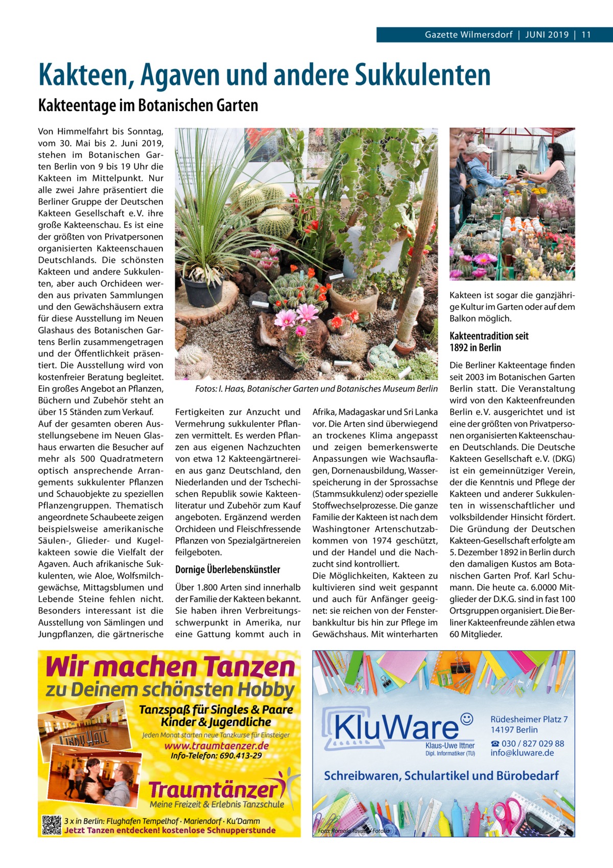 Gazette Wilmersdorf  |  Juni 2019  |  11  Kakteen, Agaven und andere Sukkulenten Kakteentage im Botanischen Garten Von Himmelfahrt bis Sonntag, vom 30.  Mai bis 2.  Juni 2019, stehen im Botanischen Garten Berlin von 9 bis 19  Uhr die Kakteen im Mittelpunkt. Nur alle zwei Jahre präsentiert die Berliner Gruppe der Deutschen Kakteen Gesellschaft e. V. ihre große Kakteenschau. Es ist eine der größten von Privatpersonen organisierten Kakteenschauen Deutschlands. Die schönsten Kakteen und andere Sukkulenten, aber auch Orchideen werden aus privaten Sammlungen und den Gewächshäusern extra für diese Ausstellung im Neuen Glashaus des Botanischen Gartens Berlin zusammengetragen und der Öffentlichkeit präsentiert. Die Ausstellung wird von kostenfreier Beratung begleitet. Ein großes Angebot an Pflanzen, Büchern und Zubehör steht an über 15 Ständen zum Verkauf. Auf der gesamten oberen Ausstellungsebene im Neuen Glashaus erwarten die Besucher auf mehr als 500  Quadratmetern optisch ansprechende Arrangements sukkulenter Pflanzen und Schauobjekte zu speziellen Pflanzengruppen. Thematisch angeordnete Schaubeete zeigen beispielsweise amerikanische Säulen-, Glieder- und Kugelkakteen sowie die Vielfalt der Agaven. Auch afrikanische Sukkulenten, wie Aloe, Wolfsmilchgewächse, Mittagsblumen und Lebende Steine fehlen nicht. Besonders interessant ist die Ausstellung von Sämlingen und Jungpflanzen, die gärtnerische  Kakteen ist sogar die ganzjährige Kultur im Garten oder auf dem Balkon möglich.  Kakteentradition seit 1892 in Berlin  Fotos: I. Haas, Botanischer Garten und Botanisches Museum Berlin Fertigkeiten zur Anzucht und Vermehrung sukkulenter Pflanzen vermittelt. Es werden Pflanzen aus eigenen Nachzuchten von etwa 12 Kakteengärtnereien aus ganz Deutschland, den Niederlanden und der Tschechischen Republik sowie Kakteenliteratur und Zubehör zum Kauf angeboten. Ergänzend werden Orchideen und Fleischfressende Pflanzen von Spezialgärtnereien feilgeboten.  Dornige Überlebenskünstler Über 1.800 Arten sind innerhalb der Familie der Kakteen bekannt. Sie haben ihren Verbreitungsschwerpunkt in Amerika, nur eine Gattung kommt auch in  Afrika, Madagaskar und Sri Lanka vor. Die Arten sind überwiegend an trockenes Klima angepasst und zeigen bemerkenswerte Anpassungen wie Wachsauflagen, Dornenausbildung, Wasserspeicherung in der Sprossachse (Stammsukkulenz) oder spezielle Stoffwechselprozesse. Die ganze Familie der Kakteen ist nach dem Washingtoner Artenschutzabkommen von 1974 geschützt, und der Handel und die Nachzucht sind kontrolliert. Die Möglichkeiten, Kakteen zu kultivieren sind weit gespannt und auch für Anfänger geeignet: sie reichen von der Fensterbankkultur bis hin zur Pflege im Gewächshaus. Mit winterharten  Die Berliner Kakteentage finden seit 2003 im Botanischen Garten Berlin statt. Die Veranstaltung wird von den Kakteenfreunden Berlin e. V. ausgerichtet und ist eine der größten von Privatpersonen organisierten Kakteenschauen Deutschlands. Die Deutsche Kakteen Gesellschaft e. V. (DKG) ist ein gemeinnütziger Verein, der die Kenntnis und Pflege der Kakteen und anderer Sukkulenten in wissenschaftlicher und volksbildender Hinsicht fördert. Die Gründung der Deutschen Kakteen-Gesellschaft erfolgte am 5. Dezember 1892 in Berlin durch den damaligen Kustos am Botanischen Garten Prof.  Karl Schumann. Die heute ca. 6.0000 Mitglieder der D.K.G. sind in fast 100 Ortsgruppen organisiert. Die Berliner Kakteenfreunde zählen etwa 60 Mitglieder.  Rüdesheimer Platz 7 14197 Berlin Klaus-Uwe Ittner  Dipl. Informatiker (TU)  ☎ 030 / 827 029 88 info@kluware.de  Schreibwaren, Schulartikel und Bürobedarf  Foto: Romolo Tavani / Fotolia