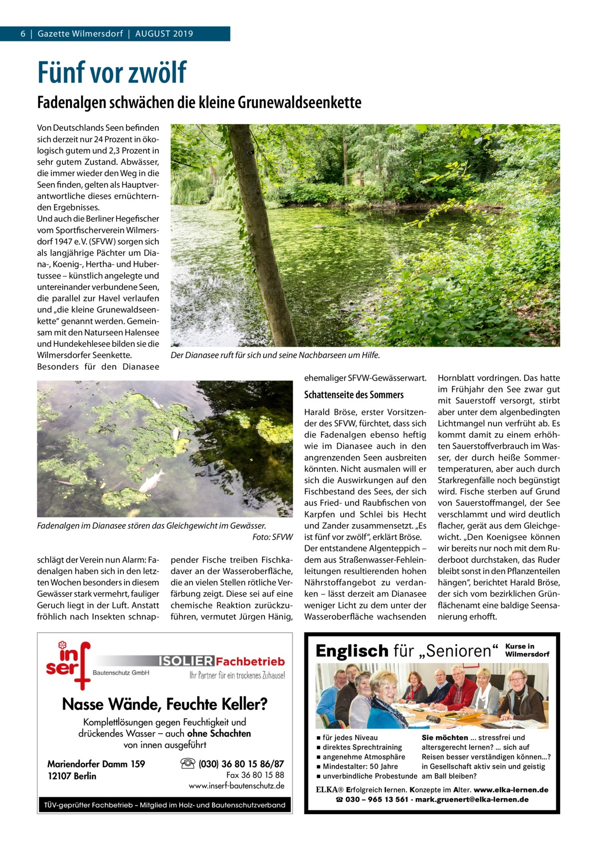 6  |  Gazette Wilmersdorf  |  August 2019  Fünf vor zwölf Fadenalgen schwächen die kleine Grunewaldseenkette Von Deutschlands Seen befinden sich derzeit nur 24 Prozent in ökologisch gutem und 2,3 Prozent in sehr gutem Zustand. Abwässer, die immer wieder den Weg in die Seen finden, gelten als Hauptverantwortliche dieses ernüchternden Ergebnisses. Und auch die Berliner Hegefischer vom Sportfischerverein Wilmersdorf 1947 e. V. (SFVW) sorgen sich als langjährige Pächter um Diana-, Koenig-, Hertha- und Hubertussee – künstlich angelegte und untereinander verbundene Seen, die parallel zur Havel verlaufen und „die kleine Grunewaldseenkette“ genannt werden. Gemeinsam mit den Naturseen Halensee und Hundekehlesee bilden sie die Wilmersdorfer Seenkette. Besonders für den Dianasee  Der Dianasee ruft für sich und seine Nachbarseen um Hilfe. ehemaliger SFVW-Gewässerwart.  Schattenseite des Sommers  Fadenalgen im Dianasee stören das Gleichgewicht im Gewässer. � Foto: SFVW schlägt der Verein nun Alarm: Fadenalgen haben sich in den letzten Wochen besonders in diesem Gewässer stark vermehrt, fauliger Geruch liegt in der Luft. Anstatt fröhlich nach Insekten schnap pender Fische treiben Fischkadaver an der Wasseroberfläche, die an vielen Stellen rötliche Verfärbung zeigt. Diese sei auf eine chemische Reaktion zurückzuführen, vermutet Jürgen Hänig,  Harald Bröse, erster Vorsitzender des SFVW, fürchtet, dass sich die Fadenalgen ebenso heftig wie im Dianasee auch in den angrenzenden Seen ausbreiten könnten. Nicht ausmalen will er sich die Auswirkungen auf den Fischbestand des Sees, der sich aus Fried- und Raubfischen von Karpfen und Schlei bis Hecht und Zander zusammensetzt. „Es ist fünf vor zwölf“, erklärt Bröse. Der entstandene Algenteppich – dem aus Straßenwasser-Fehleinleitungen resultierenden hohen Nährstoffangebot zu verdanken – lässt derzeit am Dianasee weniger Licht zu dem unter der Wasseroberfläche wachsenden  Hornblatt vordringen. Das hatte im Frühjahr den See zwar gut mit Sauerstoff versorgt, stirbt aber unter dem algenbedingten Lichtmangel nun verfrüht ab. Es kommt damit zu einem erhöhten Sauerstoffverbrauch im Wasser, der durch heiße Sommertemperaturen, aber auch durch Starkregenfälle noch begünstigt wird. Fische sterben auf Grund von Sauerstoffmangel, der See verschlammt und wird deutlich flacher, gerät aus dem Gleichgewicht. „Den Koenigsee können wir bereits nur noch mit dem Ruderboot durchstaken, das Ruder bleibt sonst in den Pflanzenteilen hängen“, berichtet Harald Bröse, der sich vom bezirklichen Grünflächenamt eine baldige Seensanierung erhofft.  Englisch für „Senioren“  Kurse in Wilmersdorf  Nasse Wände, Feuchte Keller? Komplettlösungen gegen Feuchtigkeit und drückendes Wasser – auch ohne Schachten von innen ausgeführt Mariendorfer Damm 159 12107 Berlin  (030) 36 80 15 86/87 Fax 36 80 15 88 www.inserf-bautenschutz.de  TÜV-geprüfter Fachbetrieb – Mitglied im Holz- und Bautenschutzverband  ▪ für jedes Niveau ▪ direktes Sprechtraining ▪ angenehme Atmosphäre ▪ Mindestalter: 50 Jahre ▪ unverbindliche Probestunde  Sie möchten ... stressfrei und altersgerecht lernen? … sich auf Reisen besser verständigen können…? in Gesellschaft aktiv sein und geistig am Ball bleiben?  ELKA® Erfolgreich lernen. Konzepte im Alter. www.elka-lernen.de ☎ 030 – 965 13 561 · mark.gruenert@elka-lernen.de