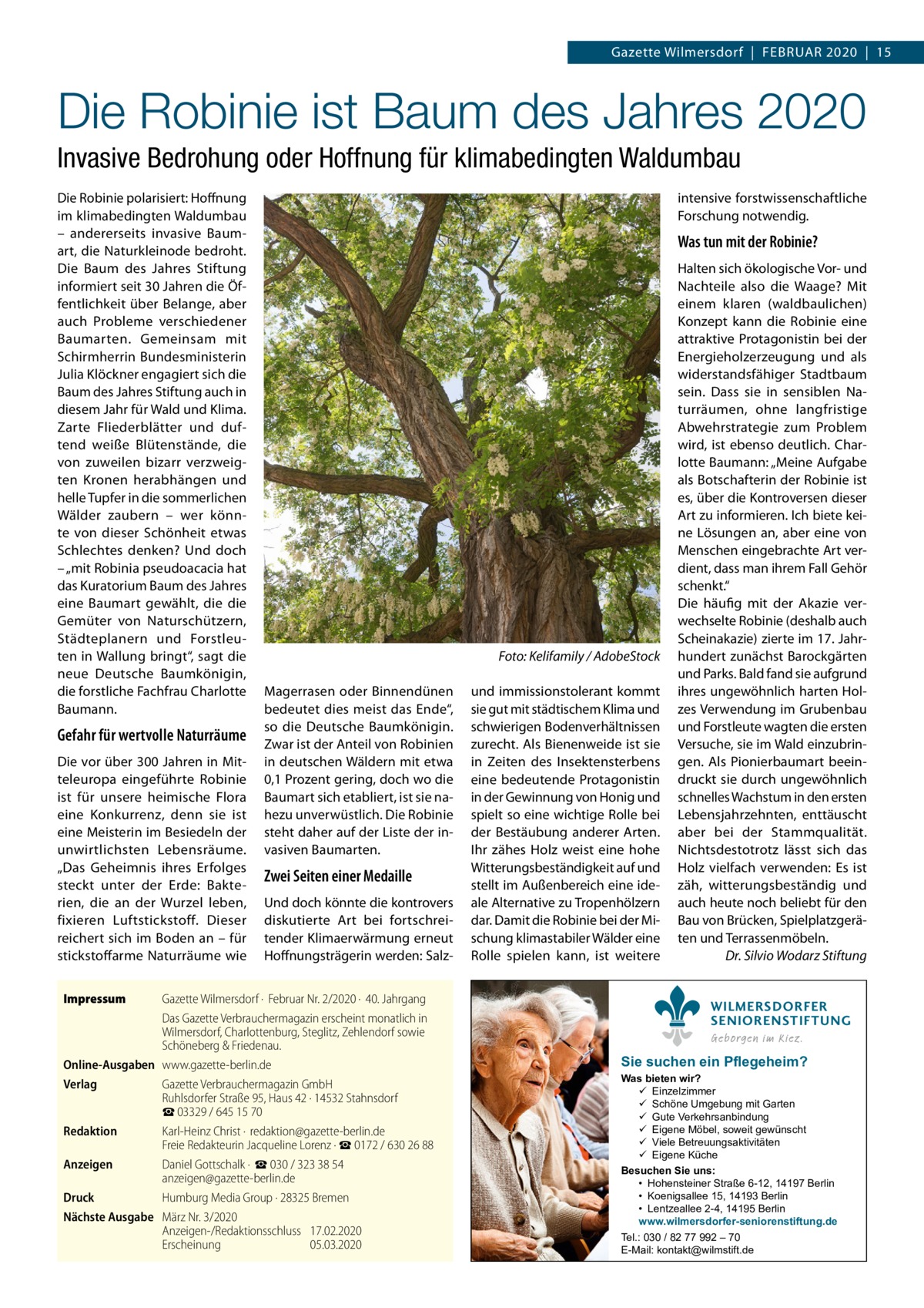 Gazette Wilmersdorf  |  Februar 2020  |  15  Die Robinie ist Baum des Jahres 2020 Invasive Bedrohung oder Hoffnung für klimabedingten Waldumbau Die Robinie polarisiert: Hoffnung im klimabedingten Waldumbau – andererseits invasive Baumart, die Naturkleinode bedroht. Die Baum des Jahres Stiftung informiert seit 30 Jahren die Öffentlichkeit über Belange, aber auch Probleme verschiedener Baumarten. Gemeinsam mit Schirmherrin Bundesministerin Julia Klöckner engagiert sich die Baum des Jahres Stiftung auch in diesem Jahr für Wald und Klima. Zarte Fliederblätter und duftend weiße Blütenstände, die von zuweilen bizarr verzweigten Kronen herabhängen und helle Tupfer in die sommerlichen Wälder zaubern – wer könnte von dieser Schönheit etwas Schlechtes denken? Und doch – „mit Robinia pseudoacacia hat das Kuratorium Baum des Jahres eine Baumart gewählt, die die Gemüter von Naturschützern, Städteplanern und Forstleuten in Wallung bringt“, sagt die neue Deutsche Baumkönigin, die forstliche Fachfrau Charlotte Baumann.  Gefahr für wertvolle Naturräume Die vor über 300 Jahren in Mitteleuropa eingeführte Robinie ist für unsere heimische Flora eine Konkurrenz, denn sie ist eine Meisterin im Besiedeln der unwirtlichsten Lebensräume. „Das Geheimnis ihres Erfolges steckt unter der Erde: Bakterien, die an der Wurzel leben, fixieren Luftstickstoff. Dieser reichert sich im Boden an – für stickstoffarme Naturräume wie Impressum	  intensive forstwissenschaftliche Forschung notwendig.  Was tun mit der Robinie?  � Magerrasen oder Binnendünen bedeutet dies meist das Ende“, so die Deutsche Baumkönigin. Zwar ist der Anteil von Robinien in deutschen Wäldern mit etwa 0,1 Prozent gering, doch wo die Baumart sich etabliert, ist sie nahezu unverwüstlich. Die Robinie steht daher auf der Liste der invasiven Baumarten.  Zwei Seiten einer Medaille Und doch könnte die kontrovers diskutierte Art bei fortschreitender Klimaerwärmung erneut Hoffnungsträgerin werden: Salz Gazette Wilmersdorf ·  Februar Nr. 2/2020 ·  40. Jahrgang Das Gazette Verbrauchermagazin erscheint monatlich in Wilmersdorf, Charlottenburg, Steglitz, Zehlendorf sowie Schöneberg & Friedenau. Online-Ausgaben	www.gazette-berlin.de Verlag	 Gazette Verbrauchermagazin GmbH Ruhlsdorfer Straße 95, Haus 42 · 14532 Stahnsdorf ☎ 03329 / 645 15 70 Redaktion	 Karl-Heinz Christ ·  redaktion@gazette-berlin.de Freie Redakteurin Jacqueline Lorenz · ☎ 0172 / 630 26 88 Anzeigen	 Daniel Gottschalk ·  ☎ 030 / 323 38 54 anzeigen@gazette-berlin.de Druck	 Humburg Media Group · 28325 Bremen Nächste Ausgabe	 März Nr. 3/2020 Anzeigen-/Redaktionsschluss	17.02.2020 Erscheinung	05.03.2020  Foto: Kelifamily / AdobeStock und immissionstolerant kommt sie gut mit städtischem Klima und schwierigen Bodenverhältnissen zurecht. Als Bienenweide ist sie in Zeiten des Insektensterbens eine bedeutende Protagonistin in der Gewinnung von Honig und spielt so eine wichtige Rolle bei der Bestäubung anderer Arten. Ihr zähes Holz weist eine hohe Witterungsbeständigkeit auf und stellt im Außenbereich eine ideale Alternative zu Tropenhölzern dar. Damit die Robinie bei der Mischung klimastabiler Wälder eine Rolle spielen kann, ist weitere  Halten sich ökologische Vor- und Nachteile also die Waage? Mit einem klaren (waldbaulichen) Konzept kann die Robinie eine attraktive Protagonistin bei der Energieholzerzeugung und als widerstandsfähiger Stadtbaum sein. Dass sie in sensiblen Naturräumen, ohne langfristige Abwehrstrategie zum Problem wird, ist ebenso deutlich. Charlotte Baumann: „Meine Aufgabe als Botschafterin der Robinie ist es, über die Kontroversen dieser Art zu informieren. Ich biete keine Lösungen an, aber eine von Menschen eingebrachte Art verdient, dass man ihrem Fall Gehör schenkt.“ Die häufig mit der Akazie verwechselte Robinie (deshalb auch Scheinakazie) zierte im 17. Jahrhundert zunächst Barockgärten und Parks. Bald fand sie aufgrund ihres ungewöhnlich harten Holzes Verwendung im Grubenbau und Forstleute wagten die ersten Versuche, sie im Wald einzubringen. Als Pionierbaumart beeindruckt sie durch ungewöhnlich schnelles Wachstum in den ersten Lebensjahrzehnten, enttäuscht aber bei der Stammqualität. Nichtsdestotrotz lässt sich das Holz vielfach verwenden: Es ist zäh, witterungsbeständig und auch heute noch beliebt für den Bau von Brücken, Spielplatzgeräten und Terrassenmöbeln. � Dr. Silvio Wodarz Stiftung WILMERSDORFER SENIORENSTIFTUNG Geborgen im Kiez.  Sie suchen ein Pflegeheim?  Was bieten wir?  Einzelzimmer  Schöne Umgebung mit Garten  Gute Verkehrsanbindung  Eigene Möbel, soweit gewünscht  Viele Betreuungsaktivitäten  Eigene Küche Besuchen Sie uns: • Hohensteiner Straße 6-12, 14197 Berlin • Koenigsallee 15, 14193 Berlin • Lentzeallee 2-4, 14195 Berlin www.wilmersdorfer-seniorenstiftung.de Tel.: 030 / 82 77 992 – 70 E-Mail: kontakt@wilmstift.de