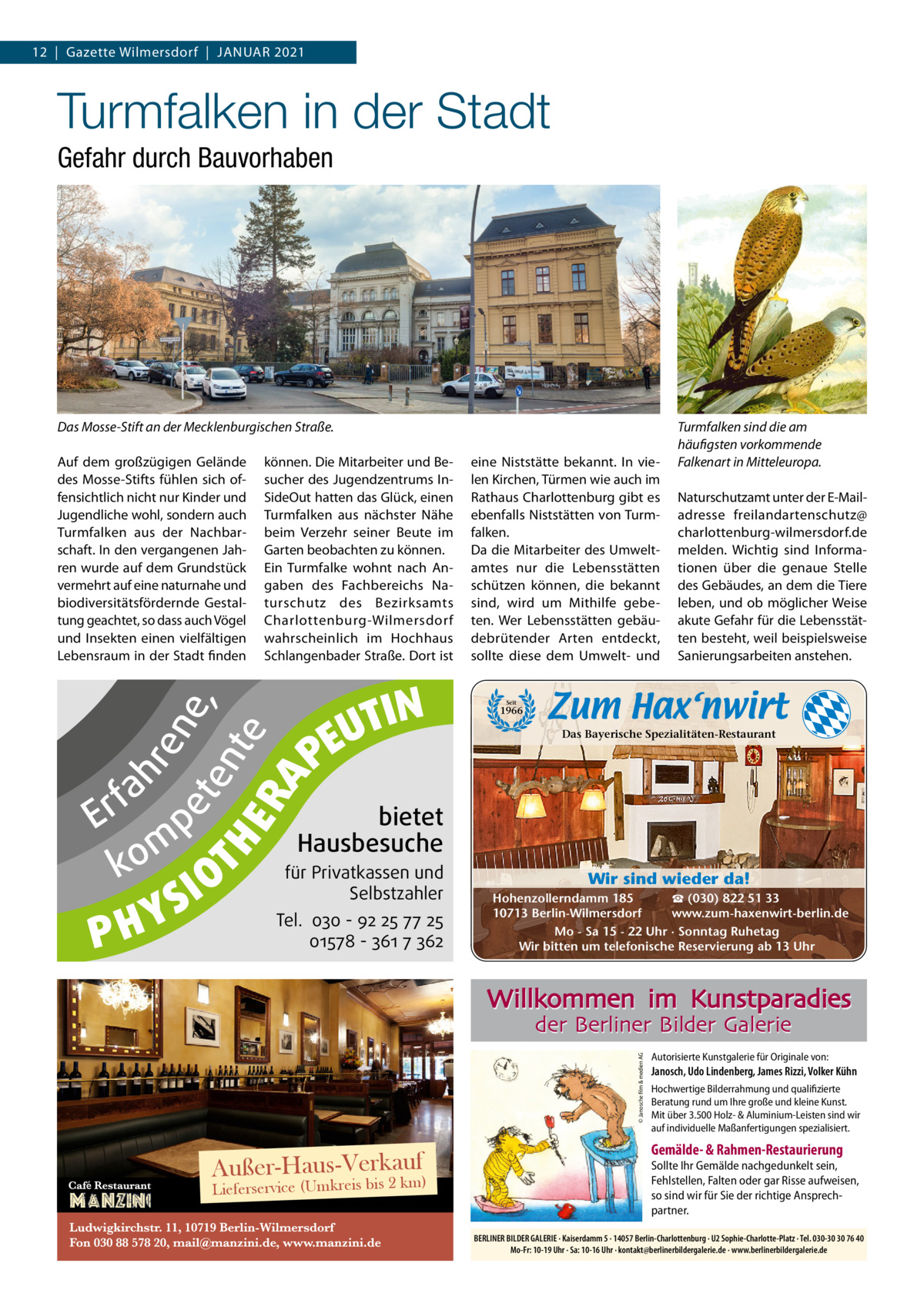 12  |  Gazette Wilmersdorf  |  Januar 2021  Turmfalken in der Stadt Gefahr durch Bauvorhaben  Das Mosse-Stift an der Mecklenburgischen Straße. können. Die Mitarbeiter und Besucher des Jugendzentrums InSideOut hatten das Glück, einen Turmfalken aus nächster nähe beim Verzehr seiner Beute im Garten beobachten zu können. Ein Turmfalke wohnt nach angaben des Fachbereichs naturschutz des Bezirksamts Charlottenburg-Wilmersdorf wahrscheinlich im Hochhaus Schlangenbader Straße. Dort ist  naturschutzamt unter der E-Mailadresse freilandartenschutz@ charlottenburg-wilmersdorf.de melden. Wichtig sind Informationen über die genaue Stelle des Gebäudes, an dem die Tiere leben, und ob möglicher Weise akute Gefahr für die Lebensstätten besteht, weil beispielsweise Sanierungsarbeiten anstehen.  Seit  1966  Das Bayerische Spezialitäten-Restaurant  bietet Hausbesuche  für Privatkassen und Selbstzahler  ko fah m re pe ne te , nt e  Tel. 030 - 92 25 77 25 01578 - 361 7 362  Er  S Y PH  IO  TIN U PE  eine niststätte bekannt. In vielen Kirchen, Türmen wie auch im rathaus Charlottenburg gibt es ebenfalls niststätten von Turmfalken. Da die Mitarbeiter des umweltamtes nur die Lebensstätten schützen können, die bekannt sind, wird um Mithilfe gebeten. Wer Lebensstätten gebäudebrütender arten entdeckt, sollte diese dem umwelt- und  Außer-Haus-Verkauf  Lieferservice (Umkreis bis 2 km)  Wir sind wieder da! ☎ (030) 822 51 33 Hohenzollerndamm 185 www.zum-haxenwirt-berlin.de 10713 Berlin-Wilmersdorf Mo - Sa 15 - 22 Uhr · Sonntag Ruhetag Wir bitten um telefonische Reservierung ab 13 Uhr  Willkommen im Kunstparadies der Berliner Bilder Galerie © Janosche film & medien AG  fa r E p m ko  RA  hr  en e, et T H ent e E  auf dem großzügigen Gelände des Mosse-Stifts fühlen sich offensichtlich nicht nur Kinder und Jugendliche wohl, sondern auch Turmfalken aus der nachbarschaft. In den vergangenen Jahren wurde auf dem Grundstück vermehrt auf eine naturnahe und biodiversitätsfördernde Gestaltung geachtet, so dass auch Vögel und Insekten einen vielfältigen Lebensraum in der Stadt finden  Turmfalken sind die am häufigsten vorkommende Falkenart in Mitteleuropa.  Autorisierte Kunstgalerie für Originale von:  Janosch, Udo Lindenberg, James Rizzi, Volker Kühn Hochwertige Bilderrahmung und qualifizierte Beratung rund um Ihre große und kleine Kunst. Mit über 3.500 Holz- & Aluminium-Leisten sind wir auf individuelle Maßanfertigungen spezialisiert.  Gemälde- & Rahmen-Restaurierung  Sollte Ihr Gemälde nachgedunkelt sein, Fehlstellen, Falten oder gar Risse aufweisen, so sind wir für Sie der richtige Ansprechpartner. BERLINER BILDER GALERIE · Kaiserdamm 5 · 14057 Berlin-Charlottenburg · U2 Sophie-Charlotte-Platz · Tel. 030-30 30 76 40 Mo-Fr: 10-19 Uhr · Sa: 10-16 Uhr · kontakt@berlinerbildergalerie.de · www.berlinerbildergalerie.de