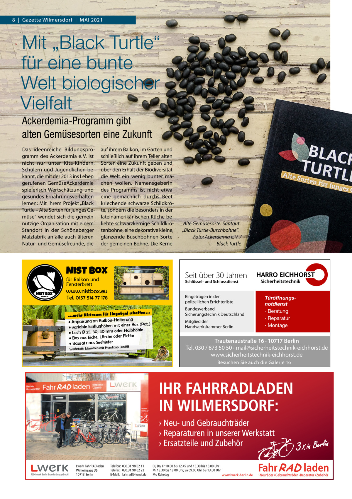 8  |  Gazette Wilmersdorf  |  Mai 2021  Mit „Black Turtle“ für eine bunte Welt biologischer Vielfalt Ackerdemia-Programm gibt alten Gemüsesorten eine Zukunft Das ideenreiche Bildungsprogramm des ackerdemia e. V. ist nicht nur unter Kita-Kindern, Schülern und Jugendlichen bekannt, die mit der 2013 ins Leben gerufenen Gemüseackerdemie spielerisch Wertschätzung und gesundes Ernährungsverhalten lernen: Mit ihrem Projekt „Black Turtle – alte Sorten für junges Gemüse“ wendet sich die gemeinnützige Organisation mit einem Standort in der Schöneberger Malzfabrik an alle auch älteren Natur- und Gemüsefreunde, die  auf ihrem Balkon, im Garten und schließlich auf ihrem Teller alten Sorten eine Zukunft geben und über den Erhalt der Biodiversität die Welt ein wenig bunter machen wollen. Namensgeberin des Programms ist nicht etwa eine gemächlich durchs Beet kriechende schwarze Schildkröte, sondern die besonders in der lateinamerikanischen Küche beliebte schwarzkernige Schildkrötenbohne, eine dekorative kleine, glänzende Buschbohnen-Sorte der gemeinen Bohne. Die Kerne  Alte Gemüsesorte: Saatgut „Black Turtle-Buschbohne“. Foto: Ackerdemia e. V. / Black Turtle  Seit über 30 Jahren Schlüssel- und Schlossdienst  www.nistbox.eu  Eingetragen in der polizeilichen Errichterliste  Tel. 0157 514 77 178 el schaffen… ...mehr Nistraum für Singvög rung alte on-H Balk an • Anpassung einer Box (Pat.) • variable Einflughöhen mit r Halbhöhle ode mm 40 30, 25, Ø Loch • Fichte r ode he Lärc e, Eich • Box aus • Bausatz aus Seekiefer icap Bln/BB  Werkstatt: Menschen mit Hand  Bundesverband Sicherungstechnik Deutschland Mitglied der Handwerkskammer Berlin  Türöffnungsnotdienst · Beratung · Reparatur · Montage  Trautenaustraße 16 · 10717 Berlin Tel. 030 / 873 50 50 · mail@sicherheitstechnik-eichhorst.de www.sicherheitstechnik-eichhorst.de Besuchen Sie auch die Galerie 16  Lwerk FahrRADladen Wilhelmsaue 36 10713 Berlin  Telefon: 030.31 98 02 11 Telefax: 030.31 98 02 22 E-Mail: fahrrad@lwnet.de  Di, Do, Fr 10.00 bis 12.45 und 13.30 bis 18.00 Uhr Mi 13.30 bis 18.00 Uhr, Sa 09.00 Uhr bis 13.00 Uhr Mo Ruhetag www.lwerk-berlin.de