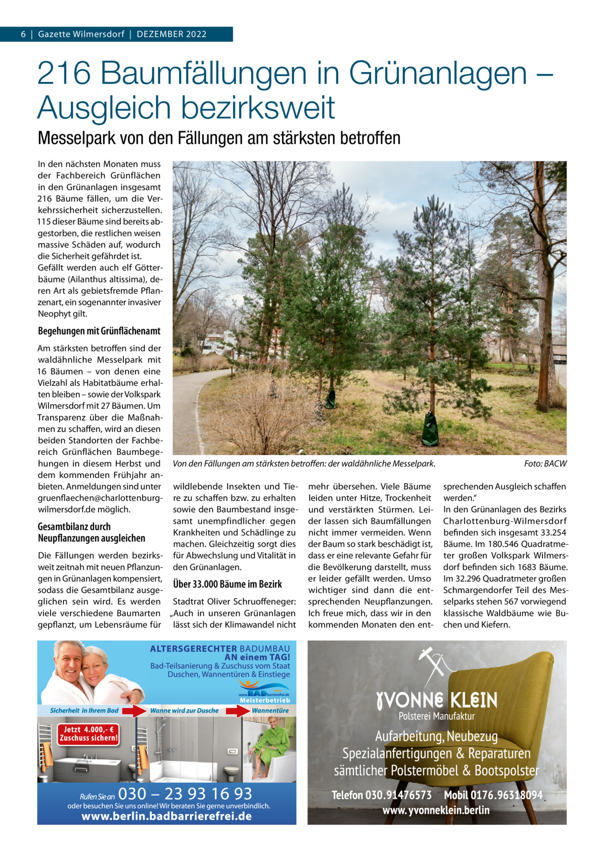 6  |  Gazette Wilmersdorf  |  Dezember 2022  216 Baumfällungen in Grünanlagen – Ausgleich bezirksweit Messelpark von den Fällungen am stärksten betroffen In den nächsten monaten muss der Fachbereich Grünflächen in den Grünanlagen insgesamt 216  bäume fällen, um die Verkehrssicherheit sicherzustellen. 115 dieser bäume sind bereits abgestorben, die restlichen weisen massive Schäden auf, wodurch die Sicherheit gefährdet ist. Gefällt werden auch elf Götterbäume (Ailanthus altissima), deren Art als gebietsfremde Pflanzenart, ein sogenannter invasiver Neophyt gilt.  Begehungen mit Grünflächenamt Am stärksten betroffen sind der waldähnliche messelpark mit 16  bäumen – von denen eine Vielzahl als Habitatbäume erhalten bleiben – sowie der Volkspark Wilmersdorf mit 27 bäumen. Um Transparenz über die maßnahmen zu schaffen, wird an diesen beiden Standorten der Fachbereich Grünflächen baumbegehungen in diesem Herbst und dem kommenden Frühjahr anbieten. Anmeldungen sind unter gruenflaechen@charlottenburgwilmersdorf.de möglich.  Gesamtbilanz durch Neupflanzungen ausgleichen  Von den Fällungen am stärksten betroﬀen: der waldähnliche Messelpark. wildlebende Insekten und Tiere zu schaffen bzw. zu erhalten sowie den baumbestand insgesamt unempfindlicher gegen Krankheiten und Schädlinge zu machen. Gleichzeitig sorgt dies für Abwechslung und Vitalität in den Grünanlagen.  Die Fällungen werden bezirksweit zeitnah mit neuen Pflanzungen in Grünanlagen kompensiert, Über 33.000 Bäume im Bezirk sodass die Gesamtbilanz ausgeglichen sein wird. es werden Stadtrat Oliver Schruoffeneger: viele verschiedene baumarten „Auch in unseren Grünanlagen gepflanzt, um Lebensräume für lässt sich der Klimawandel nicht  mehr übersehen. Viele bäume leiden unter Hitze, Trockenheit und verstärkten Stürmen. Leider lassen sich baumfällungen nicht immer vermeiden. Wenn der baum so stark beschädigt ist, dass er eine relevante Gefahr für die bevölkerung darstellt, muss er leider gefällt werden. Umso wichtiger sind dann die entsprechenden Neupflanzungen. Ich freue mich, dass wir in den kommenden monaten den ent Foto: BACW sprechenden Ausgleich schaffen werden.“ In den Grünanlagen des bezirks Charlottenburg-Wilmersdorf befinden sich insgesamt 33.254 bäume. Im 180.546 Quadratmeter großen Volkspark Wilmersdorf befinden sich 1683 bäume. Im 32.296 Quadratmeter großen Schmargendorfer Teil des messelparks stehen 567 vorwiegend klassische Waldbäume wie buchen und Kiefern.