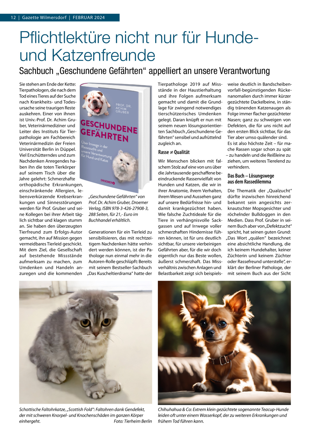 12  |  Gazette Wilmersdorf  |  Februar 2024  Pflichtlektüre nicht nur für Hundeund Katzenfreunde Sachbuch „Geschundene Gefährten“ appelliert an unsere Verantwortung Sie stehen am Ende der Kette: Tierpathologen, die nach dem Tod eines Tieres auf der Suche nach Krankheits- und Todesursache seine traurigen Reste auskehren. Einer von ihnen ist Univ.-Prof. Dr. Achim Gruber, Veterinärmediziner und Leiter des Instituts für Tierpathologie am Fachbereich Veterinärmedizin der Freien Universität Berlin in Düppel. Viel Erschütterndes und zum Nachdenken Anregendes haben ihn die toten Tierkörper auf seinem Tisch über die Jahre gelehrt: Schmerzhafte orthopädische Erkrankungen, einschränkende Allergien, lebensverkürzende Krebserkran- „Geschundene Gefährten“ von kungen und Sinnesstörungen Prof. Dr. Achim Gruber, Droemer werden für Prof. Gruber und sei- Verlag, ISBN 978-3-426-27908-3, ne Kollegen bei ihrer Arbeit täg- 288 Seiten, für 21,- Euro im lich sichtbar und klagen stumm Buchhandel erhältlich. an. Sie haben den überzeugten Tierfreund zum Erfolgs-Autor Generationen für ein Tierleid zu gemacht, ihn auf Mission gegen sensibilisieren, das mit rechtzeivermeidbares Tierleid geschickt. tigem Nachdenken hätte verhinMit dem Ziel, die Gesellschaft dert werden können, ist der Paauf bestehende Missstände thologe nun einmal mehr in die aufmerksam zu machen, zum Autoren-Rolle geschlüpft: Bereits Umdenken und Handeln an- mit seinem Bestseller-Sachbuch zuregen und die kommenden „Das Kuscheltierdrama“ hatte der  Tierpathologe 2019 auf Missstände in der Haustierhaltung und ihre Folgen aufmerksam gemacht und damit die Grundlage für zwingend notwendiges tierschützerisches Umdenken gelegt. Daran knüpft er nun mit seinem neuen lösungsorientierten Sachbuch „Geschundene Gefährten“ sensibel und aufrüttelnd zugleich an.  weise deutlich in Bandscheibenvorfall-begünstigenden Rückenanomalien durch immer kürzer gezüchtete Dackelbeine, in ständig tränenden Katzenaugen als Folge immer flacher gezüchteter Nasen; ganz zu schweigen von Defekten, die für uns nicht auf den ersten Blick sichtbar, für das Tier aber umso quälender sind. Es ist also höchste Zeit – für mache Rassen sogar schon zu spät Rasse ≠ Qualität – zu handeln und die Reißleine zu Wir Menschen blicken mit fal- ziehen, um weiteres Tierelend zu schem Stolz auf eine von uns über verhindern. die Jahrtausende geschaffene beDas Buch – Lösungswege eindruckende Rassenvielfalt von aus dem Rassedilemma Hunden und Katzen, die wir in ihrer Anatomie, ihrem Verhalten, Die Thematik der „Qualzucht“ ihrem Wesen und Aussehen ganz dürfte inzwischen hinreichend auf unsere Bedürfnisse hin- und bekannt sein angesichts zerdamit krankgezüchtet haben. knautschter Mopsgesichter und Wie falsche Zuchtideale für die röchelnder Bulldoggen in den Tiere in verhängnisvolle Sack- Medien. Dass Prof. Gruber in seigassen und auf Irrwege voller nem Buch aber von „Defektzucht“ schmerzhaften Hindernisse füh- spricht, hat seinen guten Grund: ren können, ist für uns deutlich „Das Wort „quälen“ bezeichnet sichtbar, für unsere vierbeinigen eine absichtliche Handlung, die Gefährten aber, für die wir doch ich keinem Hundehalter, keiner eigentlich nur das Beste wollen, Züchterin und keinem Züchter äußerst schmerzhaft. Das Miss- oder Rassefreund unterstelle“, erverhältnis zwischen Anlagen und klärt der Berliner Pathologe, der Belastbarkeit zeigt sich beispiels- mit seinem Buch aus der Sicht  Schottische Faltohrkatze, „Scottish Fold“: Faltohren dank Gendefekt, der mit schweren Knorpel- und Knochenschäden im ganzen Körper einhergeht.� Foto: Tierheim Berlin  Chihuhahua & Co: Extrem klein gezüchtete sogenannte Teacup-Hunde leiden oft unter einem Wasserkopf, der zu weiteren Erkrankungen und frühem Tod führen kann.