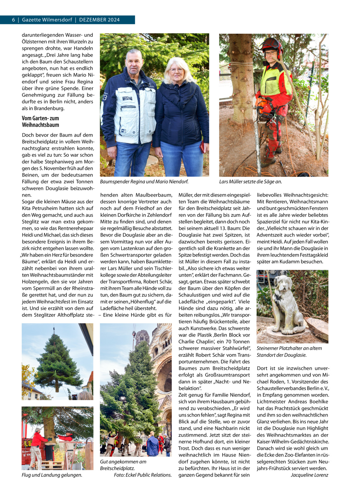 6  |  Gazette Wilmersdorf  |  Dezember 2024 darunterliegenden Wasser- und Ölzisternen mit ihren Wurzeln zu sprengen drohte, war Handeln angesagt. „Drei Jahre lang habe ich den Baum den Schaustellern angeboten, nun hat es endlich geklappt“, freuen sich Mario Niendorf und seine Frau Regina über ihre grüne Spende. Einer Genehmigung zur Fällung bedurfte es in Berlin nicht, anders als in Brandenburg.  Vom Garten- zum Weihnachtsbaum Doch bevor der Baum auf dem Breitscheidplatz in vollem Weihnachtsglanz erstrahlen konnte, gab es viel zu tun: So war schon der halbe Stephaniweg am Morgen des 5. November früh auf den Beinen, um der bedeutsamen Lars Müller setzte die Säge an. Fällung der etwa zwei Tonnen Baumspender Regina und Mario Niendorf. schweren Douglasie beizuwohnen. henden alten Maulbeerbaum, Müller, der mit diesem eingespiel- liebevolles Weihnachtsgesicht: Sogar die kleinen Mäuse aus der dessen knorrige Vertreter auch ten Team die Weihnachtsbäume Mit Rentieren, Weihnachtsmann Kita Petrusheim hatten sich auf noch auf dem Friedhof an der für den Breitscheidplatz seit Jah- und bunt geschmückten Fenstern den Weg gemacht, und auch aus kleinen Dorfkirche in Zehlendorf ren von der Fällung bis zum Auf- ist es alle Jahre wieder beliebtes Steglitz war man extra gekom- Mitte zu finden sind, und denen stellen begleitet, dann doch noch Spazierziel für nicht nur Kita-Kinmen, so wie das Rentnerehepaar sie regelmäßig Besuche abstattet. bei seinem aktuell 13. Baum: Die der. „Vielleicht schauen wir in der Heidi und Michael, das sich dieses Bevor die Douglasie aber an die- Douglasie hat zwei Spitzen, ist Adventszeit auch wieder vorbei“, besondere Ereignis in ihrem Be- sem Vormittag nun vor aller Au- dazwischen bereits gerissen. Ei- meint Heidi. Auf jeden Fall wollen zirk nicht entgehen lassen wollte. gen vom Lastenkran auf den gro- gentlich soll die Krankette an der sie und ihr Mann die Douglasie in „Wir haben ein Herz für besondere ßen Schwertransporter geladen Spitze befestigt werden. Doch das ihrem leuchtendem Festtagskleid Bäume“, erklärt da Heidi und er- werden kann, haben Baumklette- ist Müller in diesem Fall zu insta- später am Kudamm besuchen. zählt nebenbei von ihrem ural- rer Lars Müller und sein Tischler- bil. „Also sichere ich etwas weiter ten Weihnachtsbaumständer mit kollege sowie der Abteilungsleiter unten“, erklärt der Fachmann. GeHolzengeln, den sie vor Jahren der Transportfirma, Robert Schär, sagt, getan. Etwas später schwebt vom Sperrmüll an der Rheinstra- mit ihrem Team alle Hände voll zu der Baum über den Köpfen der ße gerettet hat, und der nun zu tun, den Baum gut zu sichern, da- Schaulustigen und wird auf die jedem Weihnachtsfest im Einsatz mit er seinen „Höhenflug“ auf die Ladefläche „eingeparkt“. Viele ist. Und sie erzählt von dem auf Ladefläche heil übersteht. Hände sind dazu nötig, alle ardem Steglitzer Althoffplatz ste- – Eine kleine Hürde gibt es für beiten reibungslos. „Wir transportieren häufig Brückenteile, aber auch Kunstwerke. Das schwerste war die Plastik ‚Berlin Block vor Charlie Chaplin‘, ein 70 Tonnen schwerer massiver Stahlwürfel“, Steinerner Platzhalter an altem erzählt Robert Schär vom Trans- Standort der Douglasie. portunternehmen. Die Fahrt des Baumes zum Breitscheidplatz Dort ist sie inzwischen unvererfolgt als Großraumtransport sehrt angekommen und von Midann in später „Nacht- und Ne- chael Roden, 1. Vorsitzender des belaktion“. Schaustellerverbandes Berlin e. V., Zeit genug für Familie Niendorf, in Empfang genommen worden. sich von ihrem Hausbaum gebüh- Lichtmeister Andreas Boehlke rend zu verabschieden. „Er wird hat das Prachtstück geschmückt uns schon fehlen“, sagt Regina mit und ihm so den weihnachtlichen Blick auf die Stelle, wo er zuvor Glanz verliehen. Bis ins neue Jahr stand, und eine Nachbarin nickt ist die Douglasie nun Highlight zustimmend. Jetzt sitzt der stei- des Weihnachtsmarktes an der nerne Hofhund dort, ein kleiner Kaiser-Wilhelm-Gedächtniskirche. Trost. Doch dass es nun weniger Danach wird sie wohl gleich um weihnachtlich im Hause Nien- die Ecke den Zoo-Elefanten in rüsGut angekommen am dorf zugehen könnte, ist nicht selgerechten Stücken zum NeuBreitscheidplatz. zu befürchten. Ihr Haus ist in der jahrs-Frühstück serviert werden. Flug und Landung gelungen. � Foto: Eckel Public Relations. ganzen Gegend bekannt für sein � Jacqueline Lorenz