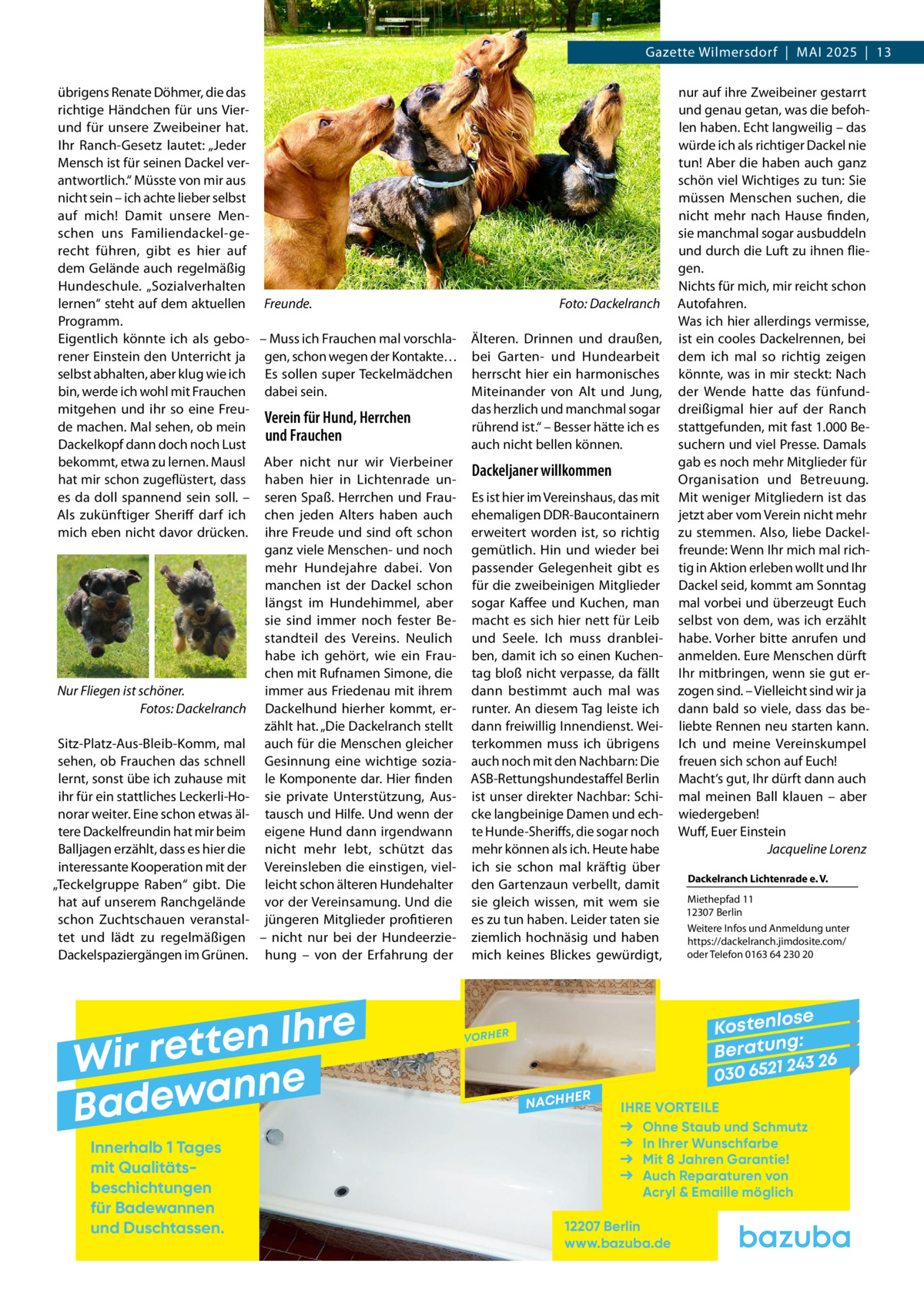 Gazette Wilmersdorf  |  Mai 2025  |  13 übrigens Renate Döhmer, die das richtige Händchen für uns Vierund für unsere Zweibeiner hat. Ihr Ranch-Gesetz lautet: „Jeder Mensch ist für seinen Dackel verantwortlich.“ Müsste von mir aus nicht sein – ich achte lieber selbst auf mich! Damit unsere Menschen uns Familiendackel-gerecht führen, gibt es hier auf dem Gelände auch regelmäßig Hundeschule. „Sozialverhalten lernen“ steht auf dem aktuellen Freunde. � Foto: Dackelranch Programm. Eigentlich könnte ich als gebo- – Muss ich Frauchen mal vorschla- Älteren. Drinnen und draußen, rener Einstein den Unterricht ja gen, schon wegen der Kontakte… bei Garten- und Hundearbeit selbst abhalten, aber klug wie ich Es sollen super Teckelmädchen herrscht hier ein harmonisches bin, werde ich wohl mit Frauchen dabei sein. Miteinander von Alt und Jung, mitgehen und ihr so eine Freudas herzlich und manchmal sogar Verein für Hund, Herrchen de machen. Mal sehen, ob mein rührend ist.“ – Besser hätte ich es und Frauchen Dackelkopf dann doch noch Lust auch nicht bellen können. bekommt, etwa zu lernen. Mausl Aber nicht nur wir Vierbeiner Dackeljaner willkommen hat mir schon zugeflüstert, dass haben hier in Lichtenrade unes da doll spannend sein soll. – seren Spaß. Herrchen und Frau- Es ist hier im Vereinshaus, das mit Als zukünftiger Sheriff darf ich chen jeden Alters haben auch ehemaligen DDR-Baucontainern mich eben nicht davor drücken. ihre Freude und sind oft schon erweitert worden ist, so richtig ganz viele Menschen- und noch gemütlich. Hin und wieder bei mehr Hundejahre dabei. Von passender Gelegenheit gibt es manchen ist der Dackel schon für die zweibeinigen Mitglieder längst im Hundehimmel, aber sogar Kaffee und Kuchen, man sie sind immer noch fester Be- macht es sich hier nett für Leib standteil des Vereins. Neulich und Seele. Ich muss dranbleihabe ich gehört, wie ein Frau- ben, damit ich so einen Kuchenchen mit Rufnamen Simone, die tag bloß nicht verpasse, da fällt immer aus Friedenau mit ihrem dann bestimmt auch mal was Nur Fliegen ist schöner. � Fotos: Dackelranch Dackelhund hierher kommt, er- runter. An diesem Tag leiste ich zählt hat. „Die Dackelranch stellt dann freiwillig Innendienst. WeiSitz-Platz-Aus-Bleib-Komm, mal auch für die Menschen gleicher terkommen muss ich übrigens sehen, ob Frauchen das schnell Gesinnung eine wichtige sozia- auch noch mit den Nachbarn: Die lernt, sonst übe ich zuhause mit le Komponente dar. Hier finden ASB-Rettungshundestaffel Berlin ihr für ein stattliches Leckerli-Ho- sie private Unterstützung, Aus- ist unser direkter Nachbar: Schinorar weiter. Eine schon etwas äl- tausch und Hilfe. Und wenn der cke langbeinige Damen und echtere Dackelfreundin hat mir beim eigene Hund dann irgendwann te Hunde-Sheriffs, die sogar noch Balljagen erzählt, dass es hier die nicht mehr lebt, schützt das mehr können als ich. Heute habe interessante Kooperation mit der Vereinsleben die einstigen, viel- ich sie schon mal kräftig über „Teckelgruppe Raben“ gibt. Die leicht schon älteren Hundehalter den Gartenzaun verbellt, damit hat auf unserem Ranchgelände vor der Vereinsamung. Und die sie gleich wissen, mit wem sie schon Zuchtschauen veranstal- jüngeren Mitglieder profitieren es zu tun haben. Leider taten sie tet und lädt zu regelmäßigen – nicht nur bei der Hundeerzie- ziemlich hochnäsig und haben Dackelspaziergängen im Grünen. hung – von der Erfahrung der mich keines Blickes gewürdigt,  e r h I n e t Wir ret e n n a w e Bad Innerhalb 1 Tages mit Qualitäts­ beschichtungen für Badewannen und Duschtassen.  nur auf ihre Zweibeiner gestarrt und genau getan, was die befohlen haben. Echt langweilig – das würde ich als richtiger Dackel nie tun! Aber die haben auch ganz schön viel Wichtiges zu tun: Sie müssen Menschen suchen, die nicht mehr nach Hause finden, sie manchmal sogar ausbuddeln und durch die Luft zu ihnen fliegen. Nichts für mich, mir reicht schon Autofahren. Was ich hier allerdings vermisse, ist ein cooles Dackelrennen, bei dem ich mal so richtig zeigen könnte, was in mir steckt: Nach der Wende hatte das fünfunddreißigmal hier auf der Ranch stattgefunden, mit fast 1.000 Besuchern und viel Presse. Damals gab es noch mehr Mitglieder für Organisation und Betreuung. Mit weniger Mitgliedern ist das jetzt aber vom Verein nicht mehr zu stemmen. Also, liebe Dackelfreunde: Wenn Ihr mich mal richtig in Aktion erleben wollt und Ihr Dackel seid, kommt am Sonntag mal vorbei und überzeugt Euch selbst von dem, was ich erzählt habe. Vorher bitte anrufen und anmelden. Eure Menschen dürft Ihr mitbringen, wenn sie gut erzogen sind. – Vielleicht sind wir ja dann bald so viele, dass das beliebte Rennen neu starten kann. Ich und meine Vereinskumpel freuen sich schon auf Euch! Macht‘s gut, Ihr dürft dann auch mal meinen Ball klauen – aber wiedergeben! Wuff, Euer Einstein � Jacqueline Lorenz Dackelranch Lichtenrade e. V. Miethepfad 11 12307 Berlin Weitere Infos und Anmeldung unter https://dackelranch.jimdosite.com/ oder Telefon 0163 64 230 20  se Kostenlo g: B e r at un 243 26 030 6521  VORHER  NACHH  ER  IHRE VORTEILE Ohne Staub und Schmutz In Ihrer Wunschfarbe Mit 8 Jahren Garantie! Auch Reparaturen von Acryl & Emaille möglich  12207 Berlin www.bazuba.de