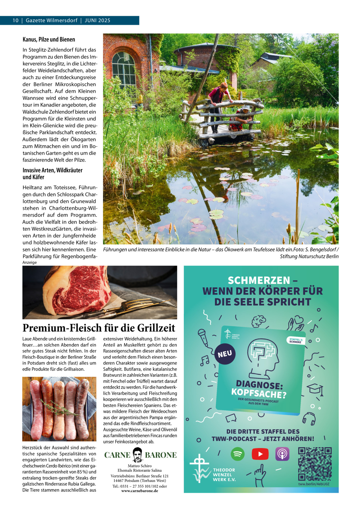 10  |  Gazette Wilmersdorf  |  JUNI 2025  Kanus, Pilze und Bienen In Steglitz-Zehlendorf führt das Programm zu den Bienen des Imkervereins Steglitz, in die Lichterfelder Weidelandschaften, aber auch zu einer Entdeckungsreise der Berliner Mikroskopischen Gesellschaft. Auf dem Kleinen Wannsee wird eine Schnuppertour im Kanadier angeboten, die Waldschule Zehlendorf bietet ein Programm für die Kleinsten und im Klein-Glienicke wird die preußische Parklandschaft entdeckt. Außerdem lädt der Ökogarten zum Mitmachen ein und im Botanischen Garten geht es um die faszinierende Welt der Pilze.  Invasive Arten, Wildkräuter und Käfer Heiltanz am Toteissee, Führungen durch den Schlosspark Charlottenburg und den Grunewald stehen in Charlottenburg-Wilmersdorf auf dem Programm. Auch die Vielfalt in den bedrohten WestkreuzGärten, die invasiven Arten in der Jungfernheide und holzbewohnende Käfer lassen sich hier kennenlernen. Eine Parkführung für Regenbogenfa Führungen und interessante Einblicke in die Natur – das Ökowerk am Teufelssee lädt ein.Foto: S. Bengelsdorf / Stiftung Naturschutz Berlin  Anzeige  SCHMERZEN – WENN DER KÖRPER FÜR DIE SEELE SPRICHT  Premium-Fleisch für die Grillzeit Laue Abende und ein knisterndes Grillfeuer…an solchen Abenden darf ein sehr gutes Steak nicht fehlen. In der Fleisch-Boutique in der Berliner Straße in Potsdam dreht sich (fast) alles um edle Produkte für die Grillsaison.  Herzstück der Auswahl sind authentische spanische Spezialitäten von engagierten Landwirten, wie das Eichelschwein Cerdo Ibérico (mit einer garantierten Rassereinheit von 85 %) und extralang trocken-gereifte Steaks der galizischen Rinderrasse Rubia Gallega. Die Tiere stammen ausschließlich aus  extensiver Weidehaltung. Ein höherer Anteil an Muskelfett gehört zu den Rasseeigenschaften dieser alten Arten und verleiht dem Fleisch einen besonderen Charakter sowie ausgewogene Saftigkeit. Butifarra, eine katalanische Bratwurst in zahlreichen Varianten (z.B. mit Fenchel oder Trüffel) wartet darauf entdeckt zu werden. Für die handwerklich Verarbeitung und Fleischreifung kooperieren wir ausschließlich mit den besten Fleischereien Spaniens. Das etwas mildere Fleisch der Weideochsen aus der argentinischen Pampa ergänzend das edle Rindfleischsortiment. Ausgesuchte Weine, Käse und Olivenöl aus familienbetriebenen Fincas runden unser Feinkostangebot ab.  CARNE  NEU  DIE DRITTE STAFFEL DES TWW-PODCAST – JETZT ANHÖREN!  BARONE  Matteo Schiro Ehemals Ristorante Salina Vertriebsbüro: Berliner Straße 121 14467 Potsdam (Torhaus West) Tel.: 0331 – 27 355 101/102 oder www.carnebarone.de  tww.berlin/4ebIJ0Z