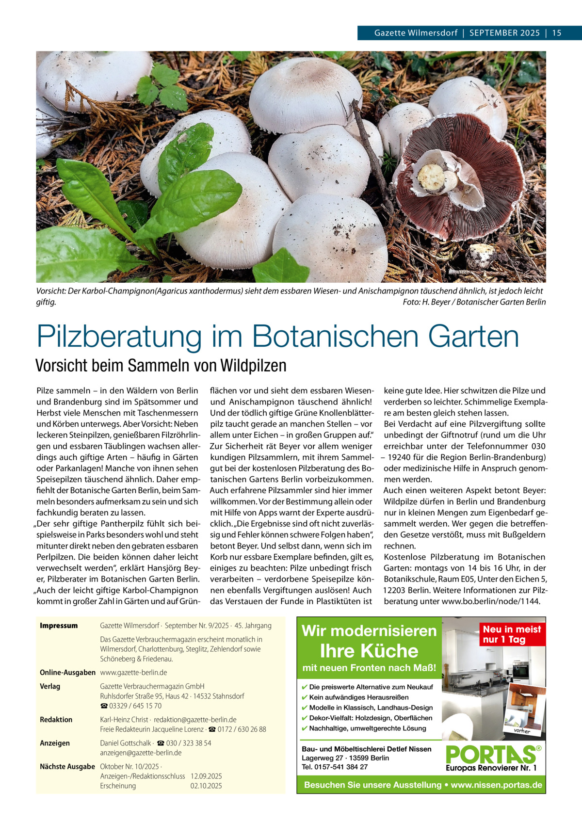 Gazette Wilmersdorf  |  SEPTEMBER 2025  |  15  Vorsicht: Der Karbol-Champignon(Agaricus xanthodermus) sieht dem essbaren Wiesen- und Anischampignon täuschend ähnlich, ist jedoch leicht giftig. Foto: H. Beyer / Botanischer Garten Berlin  Pilzberatung im Botanischen Garten Vorsicht beim Sammeln von Wildpilzen Pilze sammeln – in den Wäldern von Berlin und Brandenburg sind im Spätsommer und Herbst viele Menschen mit Taschenmessern und Körben unterwegs. Aber Vorsicht: Neben leckeren Steinpilzen, genießbaren Filzröhrlingen und essbaren Täublingen wachsen allerdings auch giftige Arten – häufig in Gärten oder Parkanlagen! Manche von ihnen sehen Speisepilzen täuschend ähnlich. Daher empfiehlt der Botanische Garten Berlin, beim Sammeln besonders aufmerksam zu sein und sich fachkundig beraten zu lassen. „Der sehr giftige Pantherpilz fühlt sich beispielsweise in Parks besonders wohl und steht mitunter direkt neben den gebraten essbaren Perlpilzen. Die beiden können daher leicht verwechselt werden“, erklärt Hansjörg Beyer, Pilzberater im Botanischen Garten Berlin. „Auch der leicht giftige Karbol-Champignon kommt in großer Zahl in Gärten und auf GrünImpressum  flächen vor und sieht dem essbaren Wiesen- keine gute Idee. Hier schwitzen die Pilze und und Anischampignon täuschend ähnlich! verderben so leichter. Schimmelige ExemplaUnd der tödlich giftige Grüne Knollenblätter- re am besten gleich stehen lassen. pilz taucht gerade an manchen Stellen – vor Bei Verdacht auf eine Pilzvergiftung sollte allem unter Eichen – in großen Gruppen auf.“ unbedingt der Giftnotruf (rund um die Uhr Zur Sicherheit rät Beyer vor allem weniger erreichbar unter der Telefonnummer 030 kundigen Pilzsammlern, mit ihrem Sammel- – 19240 für die Region Berlin-Brandenburg) gut bei der kostenlosen Pilzberatung des Bo- oder medizinische Hilfe in Anspruch genomtanischen Gartens Berlin vorbeizukommen. men werden. Auch erfahrene Pilzsammler sind hier immer Auch einen weiteren Aspekt betont Beyer: willkommen. Vor der Bestimmung allein oder Wildpilze dürfen in Berlin und Brandenburg mit Hilfe von Apps warnt der Experte ausdrü- nur in kleinen Mengen zum Eigenbedarf gecklich. „Die Ergebnisse sind oft nicht zuverläs- sammelt werden. Wer gegen die betreffensig und Fehler können schwere Folgen haben“, den Gesetze verstößt, muss mit Bußgeldern betont Beyer. Und selbst dann, wenn sich im rechnen. Korb nur essbare Exemplare befinden, gilt es, Kostenlose Pilzberatung im Botanischen einiges zu beachten: Pilze unbedingt frisch Garten: montags von 14 bis 16  Uhr, in der verarbeiten – verdorbene Speisepilze kön- Botanikschule, Raum E05, Unter den Eichen 5, nen ebenfalls Vergiftungen auslösen! Auch 12203 Berlin. Weitere Informationen zur Pilzdas Verstauen der Funde in Plastiktüten ist beratung unter www.bo.berlin/node/1144.  Gazette Wilmersdorf ·  September Nr. 9/2025 ·  45. Jahrgang Das Gazette Verbrauchermagazin erscheint monatlich in Wilmersdorf, Charlottenburg, Steglitz, Zehlendorf sowie Schöneberg & Friedenau.  Online-Ausgaben www.gazette-berlin.de Verlag  Wir modernisieren  Ihre Küche  mit neuen Fronten nach Maß!  Gazette Verbrauchermagazin GmbH Ruhlsdorfer Straße 95, Haus 42 · 14532 Stahnsdorf ☎ 03329 / 645 15 70  ✔ Die preiswerte Alternative zum Neukauf  Redaktion  Karl-Heinz Christ ·  redaktion@gazette-berlin.de Freie Redakteurin Jacqueline Lorenz · ☎ 0172 / 630 26 88  ✔ Dekor-Vielfalt: Holzdesign, Oberflächen  Anzeigen  Daniel Gottschalk ·  ☎ 030 / 323 38 54 anzeigen@gazette-berlin.de  Nächste Ausgabe Oktober Nr. 10/2025 · Anzeigen-/Redaktionsschluss 12.09.2025 Erscheinung 02.10.2025  Neu in meist nur 1 Tag  ✔ Kein aufwändiges Herausreißen ✔ Modelle in Klassisch, Landhaus-Design ✔ Nachhaltige, umweltgerechte Lösung  vorher  Bau- und Möbeltischlerei Detlef Nissen Lagerweg 27 · 13599 Berlin Tel. 0157-541 384 27  Besuchen Sie unsere Ausstellung • www.nissen.portas.de
