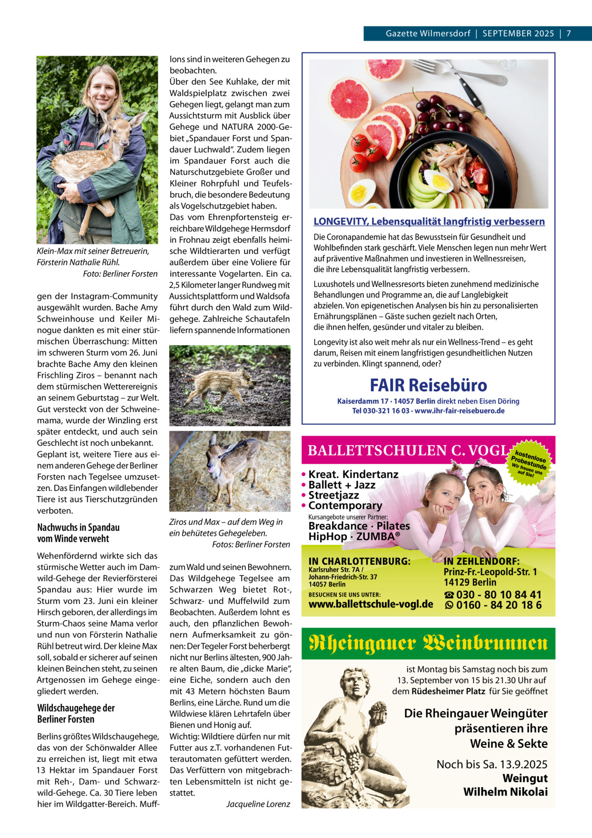 Gazette Wilmersdorf  |  September 2025  |  7  Klein-Max mit seiner Betreuerin, Försterin Nathalie Rühl. � Foto: Berliner Forsten gen der Instagram-Community ausgewählt wurden. Bache Amy Schweinhouse und Keiler Minogue dankten es mit einer stürmischen Überraschung: Mitten im schweren Sturm vom 26. Juni brachte Bache Amy den kleinen Frischling Ziros – benannt nach dem stürmischen Wetterereignis an seinem Geburtstag – zur Welt. Gut versteckt von der Schweinemama, wurde der Winzling erst später entdeckt, und auch sein Geschlecht ist noch unbekannt. Geplant ist, weitere Tiere aus einem anderen Gehege der Berliner Forsten nach Tegelsee umzusetzen. Das Einfangen wildlebender Tiere ist aus Tierschutzgründen verboten.  Nachwuchs in Spandau vom Winde verweht Wehenfördernd wirkte sich das stürmische Wetter auch im Damwild-Gehege der Revierförsterei Spandau aus: Hier wurde im Sturm vom 23.  Juni ein kleiner Hirsch geboren, der allerdings im Sturm-Chaos seine Mama verlor und nun von Försterin Nathalie Rühl betreut wird. Der kleine Max soll, sobald er sicherer auf seinen kleinen Beinchen steht, zu seinen Artgenossen im Gehege eingegliedert werden.  Wildschaugehege der Berliner Forsten Berlins größtes Wildschaugehege, das von der Schönwalder Allee zu erreichen ist, liegt mit etwa 13  Hektar im Spandauer Forst mit Reh-, Dam- und Schwarzwild-Gehege. Ca. 30 Tiere leben hier im Wildgatter-Bereich. Muff lons sind in weiteren Gehegen zu beobachten. Über den See Kuhlake, der mit Waldspielplatz zwischen zwei Gehegen liegt, gelangt man zum Aussichtsturm mit Ausblick über Gehege und NATURA 2000-Gebiet „Spandauer Forst und Spandauer Luchwald“. Zudem liegen im Spandauer Forst auch die Naturschutzgebiete Großer und Kleiner Rohrpfuhl und Teufelsbruch, die besondere Bedeutung als Vogelschutzgebiet haben. Das vom Ehrenpfortensteig erreichbare Wildgehege Hermsdorf in Frohnau zeigt ebenfalls heimische Wildtierarten und verfügt außerdem über eine Voliere für interessante Vogelarten. Ein ca. 2,5 Kilometer langer Rundweg mit Aussichtsplattform und Waldsofa führt durch den Wald zum Wildgehege. Zahlreiche Schautafeln liefern spannende Informationen  LONGEVITY, Lebensqualität langfristig verbessern Die Coronapandemie hat das Bewusstsein für Gesundheit und Wohlbefinden stark geschärft. Viele Menschen legen nun mehr Wert auf präventive Maßnahmen und investieren in Wellnessreisen, die ihre Lebensqualität langfristig verbessern. Luxushotels und Wellnessresorts bieten zunehmend medizinische Behandlungen und Programme an, die auf Langlebigkeit abzielen. Von epigenetischen Analysen bis hin zu personalisierten Ernährungsplänen – Gäste suchen gezielt nach Orten, die ihnen helfen, gesünder und vitaler zu bleiben. Longevity ist also weit mehr als nur ein Wellness-Trend – es geht darum, Reisen mit einem langfristigen gesundheitlichen Nutzen zu verbinden. Klingt spannend, oder?  FAIR Reisebüro  Kaiserdamm 17 · 14057 Berlin direkt neben Eisen Döring Tel 030-321 16 03 · www.ihr-fair-reisebuero.de  • Kreat. Kindertanz • Ballett + Jazz • Streetjazz • Contemporary Ziros und Max – auf dem Weg in ein behütetes Gehegeleben. � Fotos: Berliner Forsten zum Wald und seinen Bewohnern. Das Wildgehege Tegelsee am Schwarzen Weg bietet Rot-, Schwarz- und Muffelwild zum Beobachten. Außerdem lohnt es auch, den pflanzlichen Bewohnern Aufmerksamkeit zu gönnen: Der Tegeler Forst beherbergt nicht nur Berlins ältesten, 900 Jahre alten Baum, die „dicke Marie“, eine Eiche, sondern auch den mit 43  Metern höchsten Baum Berlins, eine Lärche. Rund um die Wildwiese klären Lehrtafeln über Bienen und Honig auf. Wichtig: Wildtiere dürfen nur mit Futter aus z.T. vorhandenen Futterautomaten gefüttert werden. Das Verfüttern von mitgebrachten Lebensmitteln ist nicht gestattet. � Jacqueline Lorenz  Kursangebote unserer Partner:  Breakdance · Pilates HipHop · ZUMBA®  ☎ 030 - 80 10 84 41 0160 - 84 20 18 6  Rheingauer Weinbrunnen ist Montag bis Samstag noch bis zum 13. September von 15 bis 21.30 Uhr auf dem Rüdesheimer Platz für Sie geöffnet  Die Rheingauer Weingüter präsentieren ihre Weine & Sekte Noch bis Sa. 13.9.2025 Weingut Wilhelm Nikolai  FAI