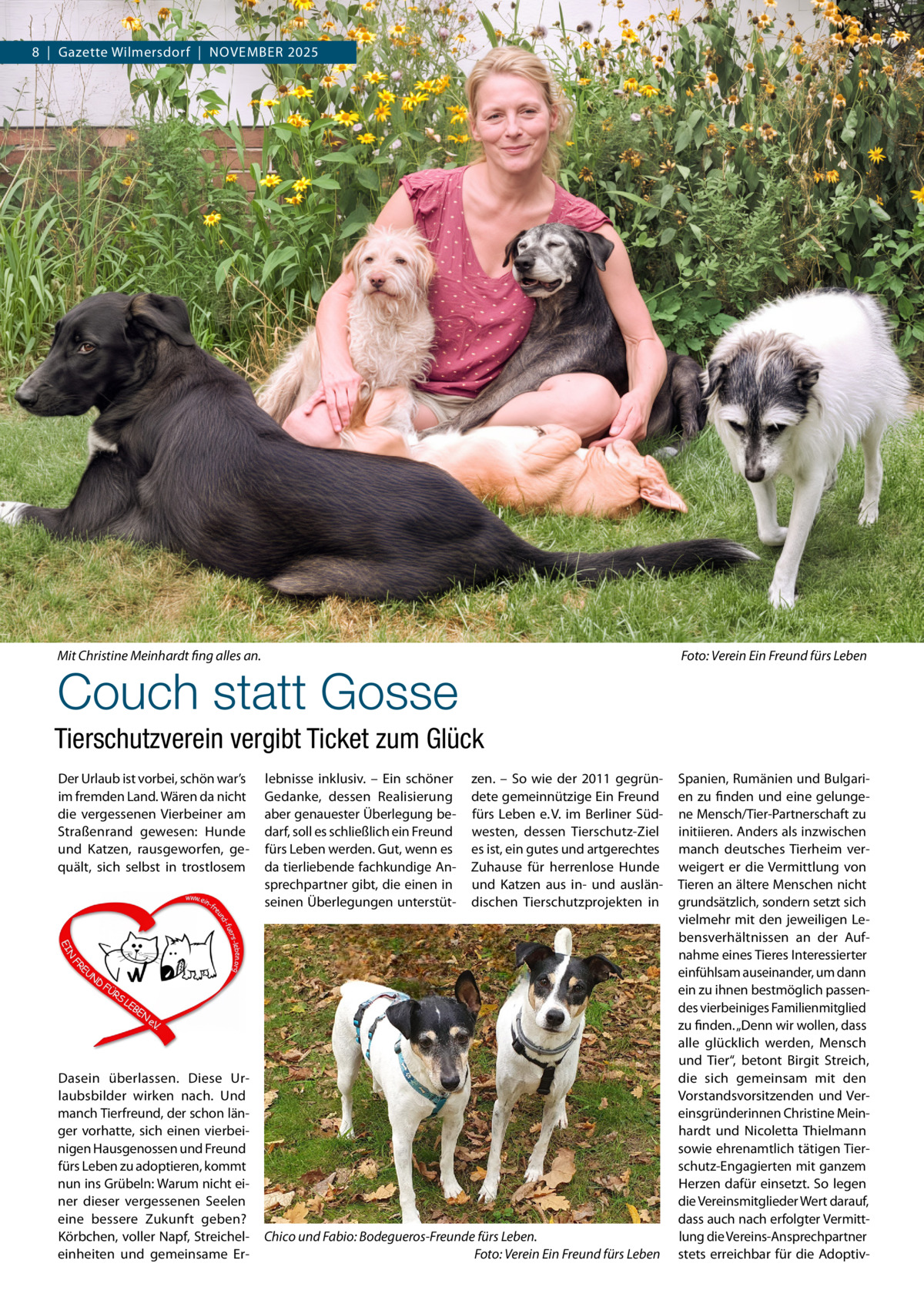 8  |  Gazette Wilmersdorf  |  November 2025  Mit Christine Meinhardt fing alles an.�  Foto: Verein Ein Freund fürs Leben  Couch statt Gosse  Tierschutzverein vergibt Ticket zum Glück Der Urlaub ist vorbei, schön war’s im fremden Land. Wären da nicht die vergessenen Vierbeiner am Straßenrand gewesen: Hunde und Katzen, rausgeworfen, gequält, sich selbst in trostlosem  Dasein überlassen. Diese Urlaubsbilder wirken nach. Und manch Tierfreund, der schon länger vorhatte, sich einen vierbeinigen Hausgenossen und Freund fürs Leben zu adoptieren, kommt nun ins Grübeln: Warum nicht einer dieser vergessenen Seelen eine bessere Zukunft geben? Körbchen, voller Napf, Streichel­ einheiten und gemeinsame Er lebnisse inklusiv. – Ein schöner Gedanke, dessen Realisierung aber genauester Überlegung bedarf, soll es schließlich ein Freund fürs Leben werden. Gut, wenn es da tierliebende fachkundige Ansprechpartner gibt, die einen in seinen Überlegungen unterstüt zen. – So wie der 2011 gegründete gemeinnützige Ein Freund fürs Leben e. V. im Berliner Südwesten, dessen Tierschutz-Ziel es ist, ein gutes und artgerechtes Zuhause für herrenlose Hunde und Katzen aus in- und ausländischen Tierschutzprojekten in  Chico und Fabio: Bodegueros-Freunde fürs Leben. � Foto: Verein Ein Freund fürs Leben  Spanien, Rumänien und Bulgarien zu finden und eine gelungene Mensch/Tier-Partnerschaft zu initiieren. Anders als inzwischen manch deutsches Tierheim verweigert er die Vermittlung von Tieren an ältere Menschen nicht grundsätzlich, sondern setzt sich vielmehr mit den jeweiligen Lebensverhältnissen an der Aufnahme eines Tieres Interessierter einfühlsam auseinander, um dann ein zu ihnen bestmöglich passendes vierbeiniges Familienmitglied zu finden. „Denn wir wollen, dass alle glücklich werden, Mensch und Tier“, betont Birgit Streich, die sich gemeinsam mit den Vorstandsvorsitzenden und Vereinsgründerinnen Christine Meinhardt und Nicoletta Thielmann sowie ehrenamtlich tätigen Tierschutz-Engagierten mit ganzem Herzen dafür einsetzt. So legen die Vereinsmitglieder Wert darauf, dass auch nach erfolgter Vermittlung die Vereins-Ansprechpartner stets erreichbar für die Adopti