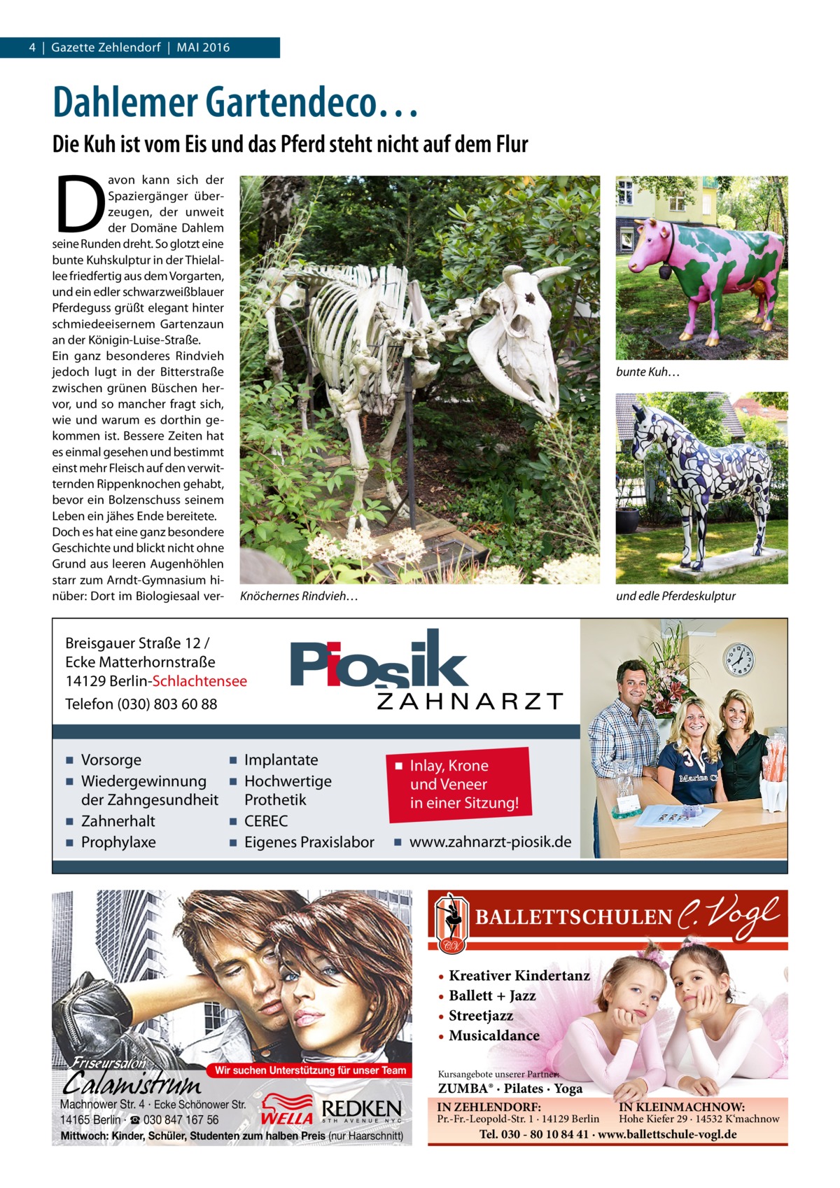 4  |  Gazette Zehlendorf  |  Mai 2016  Dahlemer Gartendeco… Die Kuh ist vom Eis und das Pferd steht nicht auf dem Flur  D  avon kann sich der Spaziergänger überzeugen, der unweit der Domäne Dahlem seine Runden dreht. So glotzt eine bunte Kuhskulptur in der Thielallee friedfertig aus dem Vorgarten, und ein edler schwarzweißblauer Pferdeguss grüßt elegant hinter schmiedeeisernem Gartenzaun an der Königin-Luise-Straße. Ein ganz besonderes Rindvieh jedoch lugt in der Bitterstraße zwischen grünen Büschen hervor, und so mancher fragt sich, wie und warum es dorthin gekommen ist. Bessere Zeiten hat es einmal gesehen und bestimmt einst mehr Fleisch auf den verwitternden Rippenknochen gehabt, bevor ein Bolzenschuss seinem Leben ein jähes Ende bereitete. Doch es hat eine ganz besondere Geschichte und blickt nicht ohne Grund aus leeren Augenhöhlen starr zum Arndt-Gymnasium hinüber: Dort im Biologiesaal ver bunte Kuh…  Knöchernes Rindvieh…  und edle Pferdeskulptur  Breisgauer Straße 12 / Ecke Matterhornstraße 14129 Berlin-Schlachtensee Telefon (030) 803 60 88  ▪ Vorsorge ▪ Wiedergewinnung der Zahngesundheit ▪ Zahnerhalt ▪ Prophylaxe  ▪ Implantate ▪ Hochwertige Prothetik ▪ CEREC ▪ Eigenes Praxislabor  ▪ Inlay, Krone und Veneer in einer Sitzung! ▪ www.zahnarzt-piosik.de  • Kreativer Kindertanz • Ballett + Jazz • Streetjazz • Musicaldance Wir suchen Unterstützung für unser Team  Machnower Str. 4 · Ecke Schönower Str. 14165 Berlin · ☎ 030 847 167 56 Mittwoch: Kinder, Schüler, Studenten zum halben Preis (nur Haarschnitt)  Kursangebote unserer Partner:  ZUMBA® · Pilates · Yoga IN ZEHLENDORF:  Pr.-Fr.-Leopold-Str. 1 · 14129 Berlin  IN KLEINMACHNOW:  Hohe Kiefer 29 · 14532 K‘machnow  Tel. 030 - 80 10 84 41 · www.ballettschule-vogl.de