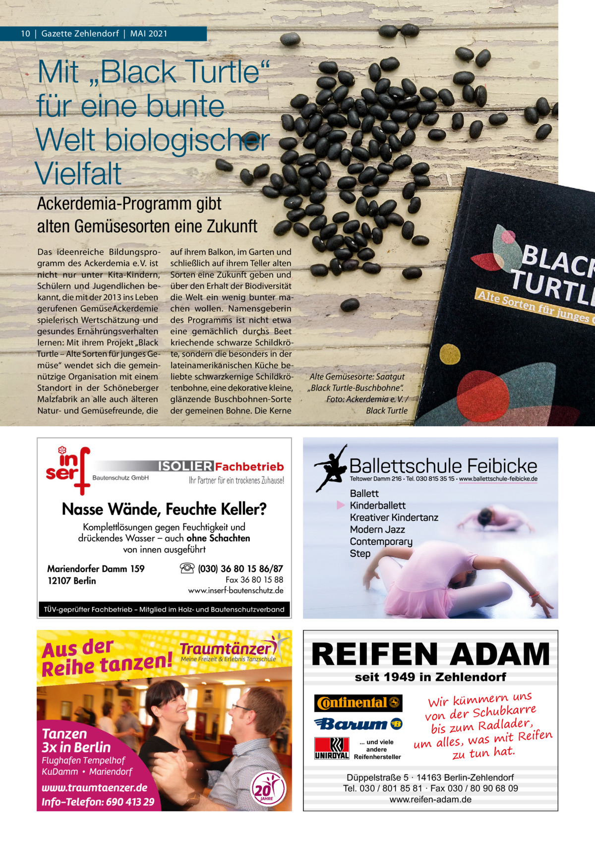 10  |  Gazette Zehlendorf  |  MAI 2021  Mit „Black Turtle“ für eine bunte Welt biologischer Vielfalt Ackerdemia-Programm gibt alten Gemüsesorten eine Zukunft Das ideenreiche Bildungsprogramm des Ackerdemia e. V. ist nicht nur unter Kita-Kindern, Schülern und Jugendlichen bekannt, die mit der 2013 ins Leben gerufenen GemüseAckerdemie spielerisch Wertschätzung und gesundes Ernährungsverhalten lernen: Mit ihrem Projekt „Black Turtle – Alte Sorten für junges Gemüse“ wendet sich die gemeinnützige Organisation mit einem Standort in der Schöneberger Malzfabrik an alle auch älteren Natur- und Gemüsefreunde, die  auf ihrem Balkon, im Garten und schließlich auf ihrem Teller alten Sorten eine Zukunft geben und über den Erhalt der Biodiversität die Welt ein wenig bunter machen wollen. Namensgeberin des Programms ist nicht etwa eine gemächlich durchs Beet kriechende schwarze Schildkröte, sondern die besonders in der lateinamerikanischen Küche beliebte schwarzkernige Schildkrötenbohne, eine dekorative kleine, glänzende Buschbohnen-Sorte der gemeinen Bohne. Die Kerne  Alte Gemüsesorte: Saatgut „Black Turtle-Buschbohne“. Foto: Ackerdemia e. V. / Black Turtle  Nasse Wände, Feuchte Keller? Komplettlösungen gegen Feuchtigkeit und drückendes Wasser – auch ohne Schachten von innen ausgeführt Mariendorfer Damm 159 12107 Berlin  (030) 36 80 15 86/87 Fax 36 80 15 88 www.inserf-bautenschutz.de  TÜV-geprüfter Fachbetrieb – Mitglied im Holz- und Bautenschutzverband  REIFEN ADAM seit 1949 in Zehlendorf  ... und viele andere Reifenhersteller  uns Wir kümmern re ar bk von der Schu er d , bis zum Radla mit Reifen um alles, was zu tun hat.  Düppelstraße 5 · 14163 Berlin-Zehlendorf Tel. 030 / 801 85 81 · Fax 030 / 80 90 68 09 www.reifen-adam.de