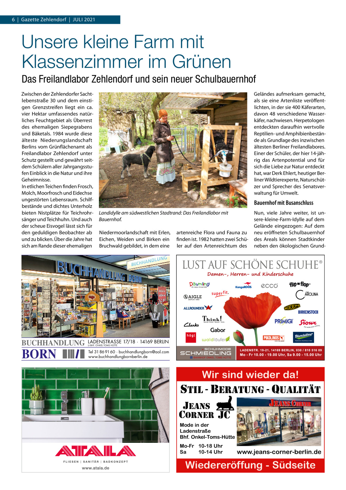 6  |  Gazette Zehlendorf  |  Juli 2021  Unsere kleine Farm mit Klassenzimmer im Grünen Das Freilandlabor Zehlendorf und sein neuer Schulbauernhof Zwischen der Zehlendorfer Sachtlebenstraße  30 und dem einstigen Grenzstreifen liegt ein ca. vier Hektar umfassendes natürliches Feuchtgebiet als Überrest des ehemaligen Siepegrabens und Bäketals. 1984 wurde diese älteste Niederungslandschaft Berlins vom Grünflächenamt als Freilandlabor Zehlendorf unter Schutz gestellt und gewährt seitdem Schülern aller Jahrgangsstufen Einblick in die Natur und ihre Geheimnisse. In etlichen Teichen finden Frosch, Molch, Moorfrosch und Eidechse ungestörten Lebensraum. Schilfbestände und dichtes Unterholz bieten Nistplätze für Teichrohrsänger und Teichhuhn. Und auch der scheue Eisvogel lässt sich für den geduldigen Beobachter ab und zu blicken. Über die Jahre hat sich am Rande dieser ehemaligen  BUCHHANDLUNG  BORN  Geländes aufmerksam gemacht, als sie eine Artenliste veröffentlichten, in der sie 400 Käferarten, davon 48 verschiedene Wasserkäfer, nachwiesen. Herpetologen entdeckten daraufhin wertvolle Reptilien- und Amphibienbestände als Grundlage des inzwischen ältesten Berliner Freilandlabores. Einer der Schüler, der hier 14-jährig das Artenpotential und für sich die Liebe zur Natur entdeckt hat, war Derk Ehlert, heutiger Berliner Wildtierexperte, Naturschützer und Sprecher des Senatsverwaltung für Umwelt.  Bauernhof mit Busanschluss Landidylle am südwestlichen Stadtrand: Das Freilandlabor mit Bauernhof. Niedermoorlandschaft mit Erlen, Eichen, Weiden und Birken ein Bruchwald gebildet, in dem eine  artenreiche Flora und Fauna zu finden ist. 1982 hatten zwei Schüler auf den Artenreichtum des  Nun, viele Jahre weiter, ist unsere-kleine-Farm-Idylle auf dem Gelände eingezogen: Auf dem neu eröffneten Schulbauernhof des Areals können Stadtkinder neben den ökologischen Grund LADENSTRASSE 17/18 · 14169 BERLIN U-BHF. ONKEL TOMS HÜTTE  Tel 31 86 91 60 · buchhandlungborn@aol.com www.buchhandlungbornberlin.de  Wir sind wieder da! stil - beratung - qualitÄt  jeans corner jc Mode in der Ladenstraße Bhf. Onkel-Toms-Hütte  Mo-Fr 10-18 Uhr Sa 10-14 Uhr  www.jeans-corner-berlin.de  Wiedereröffung - Südseite