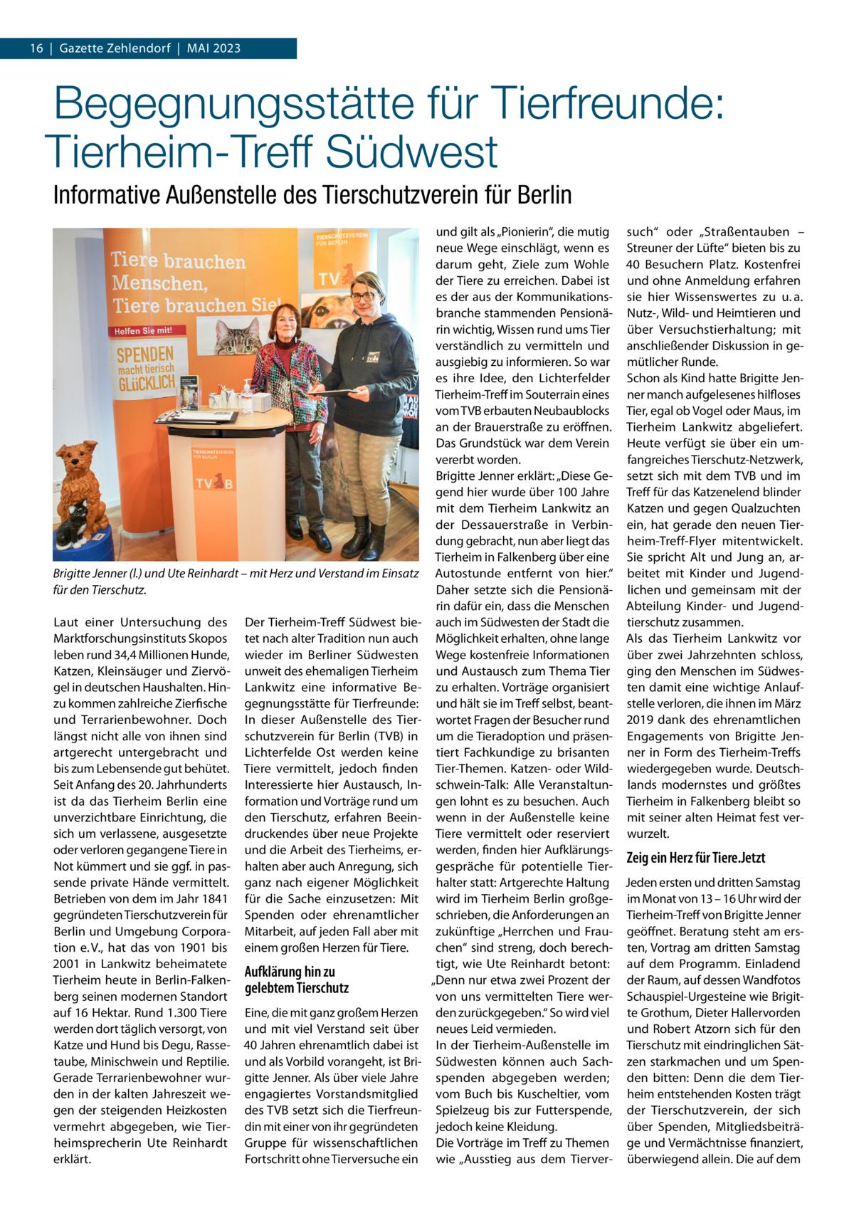 16  |  Gazette Zehlendorf  |  Mai 2023  Begegnungsstätte für Tierfreunde: Tierheim-Treff Südwest Informative Außenstelle des Tierschutzverein für Berlin  Brigitte Jenner (l.) und Ute Reinhardt – mit Herz und Verstand im Einsatz für den Tierschutz. Laut einer Untersuchung des Marktforschungsinstituts Skopos leben rund 34,4 Millionen Hunde, Katzen, Kleinsäuger und Ziervögel in deutschen Haushalten. Hinzu kommen zahlreiche Zierfische und Terrarienbewohner. Doch längst nicht alle von ihnen sind artgerecht untergebracht und bis zum Lebensende gut behütet. Seit Anfang des 20. Jahrhunderts ist da das Tierheim Berlin eine unverzichtbare Einrichtung, die sich um verlassene, ausgesetzte oder verloren gegangene Tiere in Not kümmert und sie ggf. in passende private Hände vermittelt. Betrieben von dem im Jahr 1841 gegründeten Tierschutzverein für Berlin und Umgebung Corporation e. V., hat das von 1901 bis 2001 in Lankwitz beheimatete Tierheim heute in Berlin-Falkenberg seinen modernen Standort auf 16 Hektar. Rund 1.300 Tiere werden dort täglich versorgt, von Katze und Hund bis Degu, Rassetaube, Minischwein und Reptilie. Gerade Terrarienbewohner wurden in der kalten Jahreszeit wegen der steigenden Heizkosten vermehrt abgegeben, wie Tierheimsprecherin Ute Reinhardt erklärt.  Der Tierheim-Treff Südwest bietet nach alter Tradition nun auch wieder im Berliner Südwesten unweit des ehemaligen Tierheim Lankwitz eine informative Begegnungsstätte für Tierfreunde: In dieser Außenstelle des Tierschutzverein für Berlin (TVB) in Lichterfelde Ost werden keine Tiere vermittelt, jedoch finden Interessierte hier Austausch, Information und Vorträge rund um den Tierschutz, erfahren Beeindruckendes über neue Projekte und die Arbeit des Tierheims, erhalten aber auch Anregung, sich ganz nach eigener Möglichkeit für die Sache einzusetzen: Mit Spenden oder ehrenamtlicher Mitarbeit, auf jeden Fall aber mit einem großen Herzen für Tiere.  Aufklärung hin zu gelebtem Tierschutz Eine, die mit ganz großem Herzen und mit viel Verstand seit über 40 Jahren ehrenamtlich dabei ist und als Vorbild vorangeht, ist Brigitte Jenner. Als über viele Jahre engagiertes Vorstandsmitglied des TVB setzt sich die Tierfreundin mit einer von ihr gegründeten Gruppe für wissenschaftlichen Fortschritt ohne Tierversuche ein  und gilt als „Pionierin“, die mutig such“ oder „Straßentauben – neue Wege einschlägt, wenn es Streuner der Lüfte“ bieten bis zu darum geht, Ziele zum Wohle 40 Besuchern Platz. Kostenfrei der Tiere zu erreichen. Dabei ist und ohne Anmeldung erfahren es der aus der Kommunikations- sie hier Wissenswertes zu u. a. branche stammenden Pensionä- Nutz-, Wild- und Heimtieren und rin wichtig, Wissen rund ums Tier über Versuchstierhaltung; mit verständlich zu vermitteln und anschließender Diskussion in geausgiebig zu informieren. So war mütlicher Runde. es ihre Idee, den Lichterfelder Schon als Kind hatte Brigitte JenTierheim-Treff im Souterrain eines ner manch aufgelesenes hilfloses vom TVB erbauten Neubaublocks Tier, egal ob Vogel oder Maus, im an der Brauerstraße zu eröffnen. Tierheim Lankwitz abgeliefert. Das Grundstück war dem Verein Heute verfügt sie über ein umvererbt worden. fangreiches Tierschutz-Netzwerk, Brigitte Jenner erklärt: „Diese Ge- setzt sich mit dem TVB und im gend hier wurde über 100 Jahre Treff für das Katzenelend blinder mit dem Tierheim Lankwitz an Katzen und gegen Qualzuchten der Dessauerstraße in Verbin- ein, hat gerade den neuen Tierdung gebracht, nun aber liegt das heim-Treff-Flyer mitentwickelt. Tierheim in Falkenberg über eine Sie spricht Alt und Jung an, arAutostunde entfernt von hier.“ beitet mit Kinder und JugendDaher setzte sich die Pensionä- lichen und gemeinsam mit der rin dafür ein, dass die Menschen Abteilung Kinder- und Jugendauch im Südwesten der Stadt die tierschutz zusammen. Möglichkeit erhalten, ohne lange Als das Tierheim Lankwitz vor Wege kostenfreie Informationen über zwei Jahrzehnten schloss, und Austausch zum Thema Tier ging den Menschen im Südweszu erhalten. Vorträge organisiert ten damit eine wichtige Anlaufund hält sie im Treff selbst, beant- stelle verloren, die ihnen im März wortet Fragen der Besucher rund 2019 dank des ehrenamtlichen um die Tieradoption und präsen- Engagements von Brigitte Jentiert Fachkundige zu brisanten ner in Form des Tierheim-Treffs Tier-Themen. Katzen- oder Wild- wiedergegeben wurde. Deutschschwein-Talk: Alle Veranstaltun- lands modernstes und größtes gen lohnt es zu besuchen. Auch Tierheim in Falkenberg bleibt so wenn in der Außenstelle keine mit seiner alten Heimat fest verTiere vermittelt oder reserviert wurzelt. werden, finden hier AufklärungsZeig ein Herz für Tiere.Jetzt gespräche für potentielle Tierhalter statt: Artgerechte Haltung Jeden ersten und dritten Samstag wird im Tierheim Berlin großge- im Monat von 13 – 16 Uhr wird der schrieben, die Anforderungen an Tierheim-Treff von Brigitte Jenner zukünftige „Herrchen und Frau- geöffnet. Beratung steht am erschen“ sind streng, doch berech- ten, Vortrag am dritten Samstag tigt, wie Ute Reinhardt betont: auf dem Programm. Einladend „Denn nur etwa zwei Prozent der der Raum, auf dessen Wandfotos von uns vermittelten Tiere wer- Schauspiel-Urgesteine wie Brigitden zurückgegeben.“ So wird viel te Grothum, Dieter Hallervorden neues Leid vermieden. und Robert Atzorn sich für den In der Tierheim-Außenstelle im Tierschutz mit eindringlichen SätSüdwesten können auch Sach- zen starkmachen und um Spenspenden abgegeben werden; den bitten: Denn die dem Tiervom Buch bis Kuscheltier, vom heim entstehenden Kosten trägt Spielzeug bis zur Futterspende, der Tierschutzverein, der sich jedoch keine Kleidung. über Spenden, MitgliedsbeiträDie Vorträge im Treff zu Themen ge und Vermächtnisse finanziert, wie „Ausstieg aus dem Tierver- überwiegend allein. Die auf dem