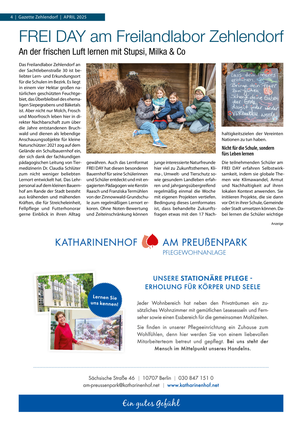 4  |  Gazette Zehlendorf  |  APRIL 2025  FREI DAY am Freilandlabor Zehlendorf An der frischen Luft lernen mit Stupsi, Milka & Co Das Freilandlabor Zehlendorf an der Sachtlebenstraße  30 ist beliebter Lern- und Erkundungsort für die Schulen im Bezirk. Es liegt in einem vier Hektar großen natürlichen geschützten Feuchtgebiet, das Überbleibsel des ehemaligen Siepegrabens und Bäketals ist. Aber nicht nur Molch, Frosch und Moorfrosch leben hier in direkter Nachbarschaft zum über die Jahre entstandenen Bruchwald und dienen als lebendige Anschauungsobjekte für kleine Naturschützer: 2021 zog auf dem Gelände ein Schulbauernhof ein, der sich dank der fachkundigen pädagogischen Leitung von Tiermedizinerin Dr. Claudia Schlüter zum nicht weniger beliebten Lernort entwickelt hat. Das Lehrpersonal auf dem kleinen Bauernhof am Rande der Stadt besteht aus krähenden und mähenden Kräften, die für Streicheleinheit, Fellpflege und Futterhonorar gerne Einblick in ihren Alltag  haltigkeitszielen der Vereinten Nationen zu tun haben.  Nicht für die Schule, sondern fürs Leben lernen gewähren. Auch das Lernformat FREI DAY hat diesen besonderen Bauernhof für seine Schülerinnen und Schüler entdeckt und mit engagierten Pädagogen wie Kerstin Raasch und Franziska Termühlen von der Zinnowwald-Grundschule zum regelmäßigen Lernort erkoren. Ohne Noten-Bewertung und Zeiteinschränkung können  junge interessierte Naturfreunde hier viel zu Zukunftsthemen, Klima-, Umwelt- und Tierschutz sowie gesundem Landleben erfahren und jahrgangsübergreifend regelmäßig einmal die Woche mit eigenen Projekten vertiefen. Bedingung dieses Lernformates ist, dass behandelte Zukunftsfragen etwas mit den 17  Nach Die teilnehmenden Schüler am FREI DAY erfahren Selbstwirksamkeit, indem sie globale Themen wie Klimawandel, Armut und Nachhaltigkeit auf ihren lokalen Kontext anwenden. Sie initiieren Projekte, die sie dann vor Ort in ihrer Schule, Gemeinde oder Stadt umsetzen können. Dabei lernen die Schüler wichtige Anzeige