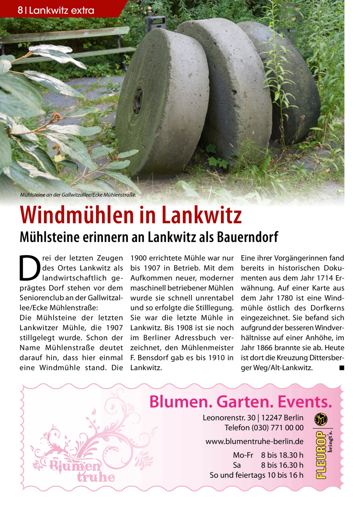 8 Lankwitz extra  Mühlsteine an der Gallwitzallee/Ecke Mühlenstraße.  Windmühlen in Lankwitz  Mühlsteine erinnern an Lankwitz als Bauerndorf  D  rei der letzten Zeugen des Ortes Lankwitz als landwirtschaftlich geprägtes Dorf stehen vor dem Seniorenclub an der Gallwitzallee/Ecke Mühlenstraße: Die Mühlsteine der letzten Lankwitzer Mühle, die 1907 stillgelegt wurde. Schon der Name Mühlenstraße deutet darauf hin, dass hier einmal eine Windmühle stand. Die  1900 errichtete Mühle war nur bis 1907 in Betrieb. Mit dem Aufkommen neuer, moderner maschinell betriebener Mühlen wurde sie schnell unrentabel und so erfolgte die Stilllegung. Sie war die letzte Mühle in Lankwitz. Bis 1908 ist sie noch im Berliner Adressbuch verzeichnet, den Mühlenmeister F. Bensdorf gab es bis 1910 in Lankwitz.  Eine ihrer Vorgängerinnen fand bereits in historischen Dokumenten aus dem Jahr 1714 Erwähnung. Auf einer Karte aus dem Jahr 1780 ist eine Windmühle östlich des Dorfkerns eingezeichnet. Sie befand sich aufgrund der besseren Windverhältnisse auf einer Anhöhe, im Jahr 1866 brannte sie ab. Heute ist dort die Kreuzung Dittersberger Weg/Alt-Lankwitz. ◾  Blumen. Garten. Events. Leonorenstr. 30 | 12247 Berlin Telefon (030) 771 00 00 www.blumentruhe-berlin.de Mo-Fr 8 bis 18.30 h Sa 8 bis 16.30 h So und feiertags 10 bis 16 h