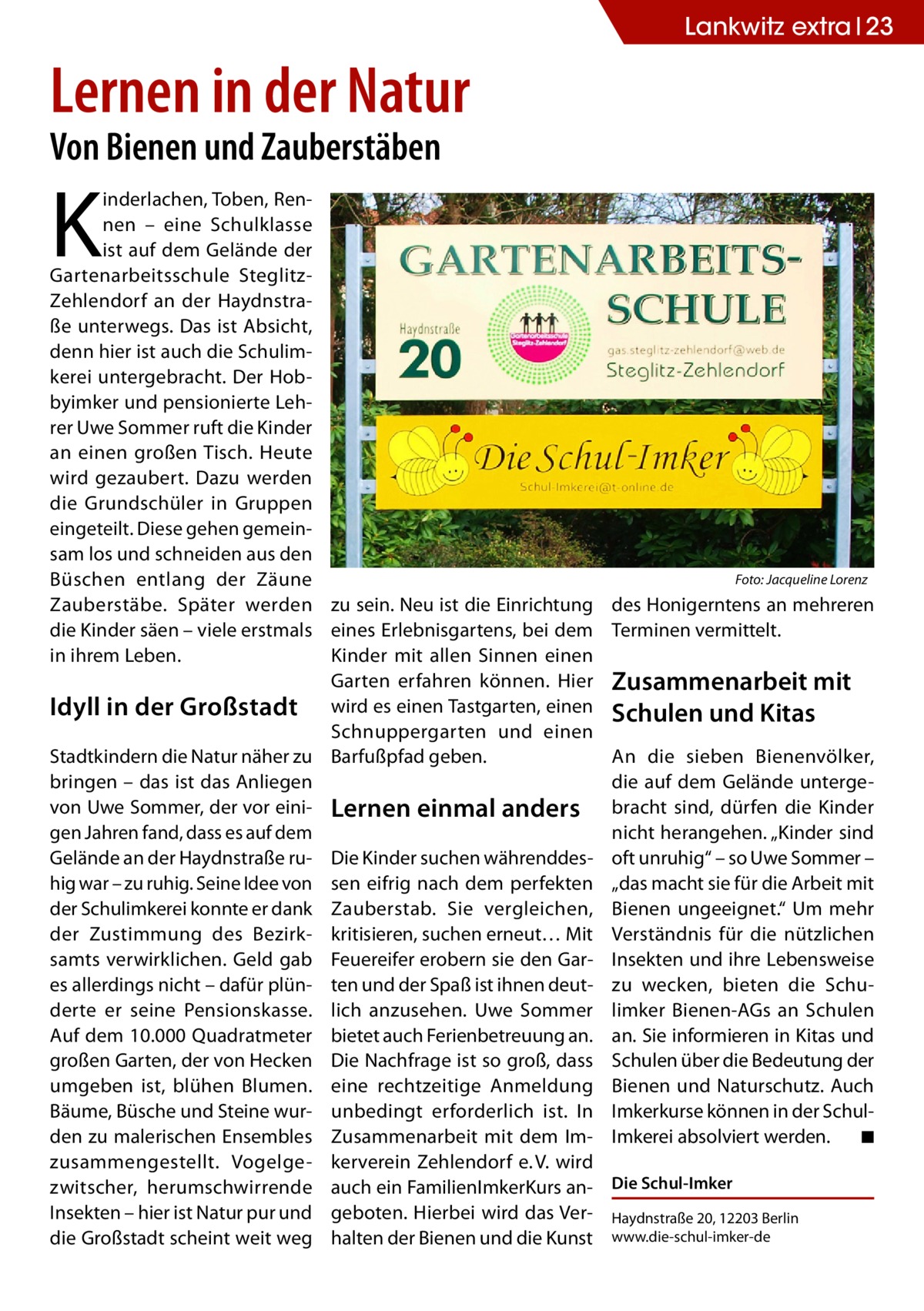 Lankwitz extra 23  Lernen in der Natur Von Bienen und Zauberstäben  K  inderlachen, Toben, Rennen – eine Schulklasse ist auf dem Gelände der Gartenarbeitsschule SteglitzZehlendorf an der Haydnstraße unterwegs. Das ist Absicht, denn hier ist auch die Schulimkerei untergebracht. Der Hobbyimker und pensionierte Lehrer Uwe Sommer ruft die Kinder an einen großen Tisch. Heute wird gezaubert. Dazu werden die Grundschüler in Gruppen eingeteilt. Diese gehen gemeinsam los und schneiden aus den Büschen entlang der Zäune � Zauberstäbe. Später werden zu sein. Neu ist die Einrichtung die Kinder säen – viele erstmals eines Erlebnisgartens, bei dem Kinder mit allen Sinnen einen in ihrem Leben. Garten erfahren können. Hier Idyll in der Großstadt wird es einen Tastgarten, einen Schnuppergarten und einen Stadtkindern die Natur näher zu Barfußpfad geben. bringen – das ist das Anliegen von Uwe Sommer, der vor eini- Lernen einmal anders gen Jahren fand, dass es auf dem Gelände an der Haydnstraße ru- Die Kinder suchen währenddeshig war – zu ruhig. Seine Idee von sen eifrig nach dem perfekten der Schulimkerei konnte er dank Zauberstab. Sie vergleichen, der Zustimmung des Bezirk- kritisieren, suchen erneut… Mit samts verwirklichen. Geld gab Feuereifer erobern sie den Gares allerdings nicht – dafür plün- ten und der Spaß ist ihnen deutderte er seine Pensionskasse. lich anzusehen. Uwe Sommer Auf dem 10.000 Quadratmeter bietet auch Ferienbetreuung an. großen Garten, der von Hecken Die Nachfrage ist so groß, dass umgeben ist, blühen Blumen. eine rechtzeitige Anmeldung Bäume, Büsche und Steine wur- unbedingt erforderlich ist. In den zu malerischen Ensembles Zusammenarbeit mit dem Imzusammengestellt. Vogelge- kerverein Zehlendorf e. V. wird zwitscher, herumschwirrende auch ein FamilienImkerKurs anInsekten – hier ist Natur pur und geboten. Hierbei wird das Verdie Großstadt scheint weit weg halten der Bienen und die Kunst  Foto: Jacqueline Lorenz  des Honigerntens an mehreren Terminen vermittelt.  Zusammenarbeit mit Schulen und Kitas An die sieben Bienenvölker, die auf dem Gelände untergebracht sind, dürfen die Kinder nicht herangehen. „Kinder sind oft unruhig“ – so Uwe Sommer – „das macht sie für die Arbeit mit Bienen ungeeignet.“ Um mehr Verständnis für die nützlichen Insekten und ihre Lebensweise zu wecken, bieten die Schulimker Bienen-AGs an Schulen an. Sie informieren in Kitas und Schulen über die Bedeutung der Bienen und Naturschutz. Auch Imkerkurse können in der SchulImkerei absolviert werden. � ◾ Die Schul-Imker Haydnstraße 20, 12203 Berlin www.die-schul-imker-de