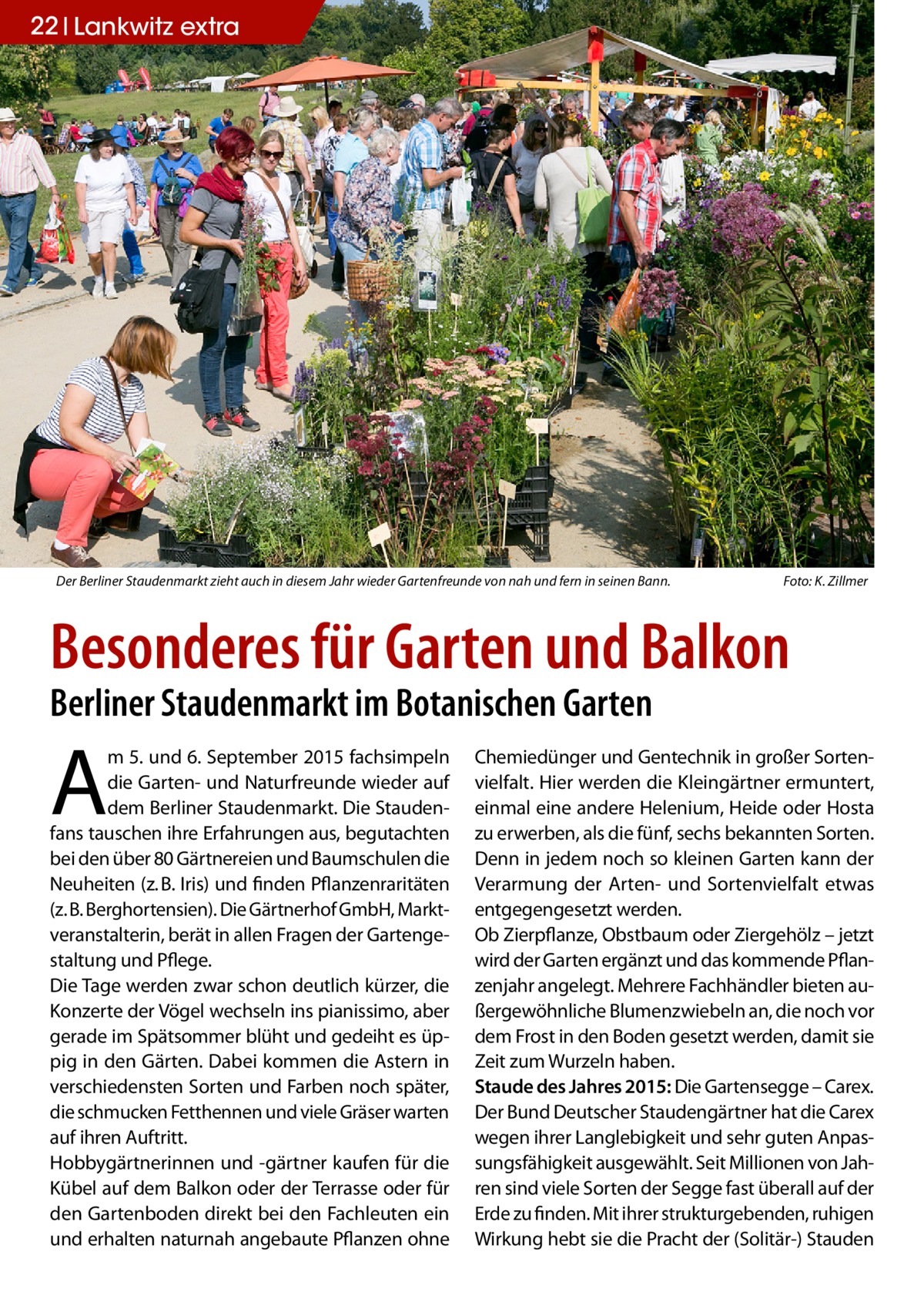 22 Lankwitz extra  Der Berliner Staudenmarkt zieht auch in diesem Jahr wieder Gartenfreunde von nah und fern in seinen Bann.�  Foto: K. Zillmer  Besonderes für Garten und Balkon Berliner Staudenmarkt im Botanischen Garten  A  m 5. und 6. September 2015 fachsimpeln die Garten- und Naturfreunde wieder auf dem Berliner Staudenmarkt. Die Staudenfans tauschen ihre Erfahrungen aus, begutachten bei den über 80 Gärtnereien und Baumschulen die Neuheiten (z. B. Iris) und finden Pflanzenraritäten (z. B. Berghortensien). Die Gärtnerhof GmbH, Marktveranstalterin, berät in allen Fragen der Gartengestaltung und Pflege. Die Tage werden zwar schon deutlich kürzer, die Konzerte der Vögel wechseln ins pianissimo, aber gerade im Spätsommer blüht und gedeiht es üppig in den Gärten. Dabei kommen die Astern in verschiedensten Sorten und Farben noch später, die schmucken Fetthennen und viele Gräser warten auf ihren Auftritt. Hobbygärtnerinnen und -gärtner kaufen für die Kübel auf dem Balkon oder der Terrasse oder für den Gartenboden direkt bei den Fachleuten ein und erhalten naturnah angebaute Pflanzen ohne  Chemiedünger und Gentechnik in großer Sortenvielfalt. Hier werden die Kleingärtner ermuntert, einmal eine andere Helenium, Heide oder Hosta zu erwerben, als die fünf, sechs bekannten Sorten. Denn in jedem noch so kleinen Garten kann der Verarmung der Arten- und Sortenvielfalt etwas entgegengesetzt werden. Ob Zierpflanze, Obstbaum oder Ziergehölz – jetzt wird der Garten ergänzt und das kommende Pflanzenjahr angelegt. Mehrere Fachhändler bieten außergewöhnliche Blumenzwiebeln an, die noch vor dem Frost in den Boden gesetzt werden, damit sie Zeit zum Wurzeln haben. Staude des Jahres 2015: Die Gartensegge – Carex. Der Bund Deutscher Staudengärtner hat die Carex wegen ihrer Langlebigkeit und sehr guten Anpassungsfähigkeit ausgewählt. Seit Millionen von Jahren sind viele Sorten der Segge fast überall auf der Erde zu finden. Mit ihrer strukturgebenden, ruhigen Wirkung hebt sie die Pracht der (Solitär-) Stauden