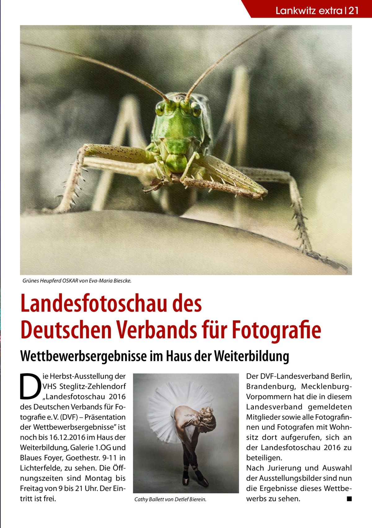 Lankwitz extra 21  Grünes Heupferd OSKAR von Eva-Maria Biescke.  Landesfotoschau des Deutschen Verbands für Fotografie Wettbewerbsergebnisse im Haus der Weiterbildung  D  ie Herbst-Ausstellung der VHS Steglitz-Zehlendorf „Landesfotoschau 2016 des Deutschen Verbands für Fotografie e. V. (DVF) – Präsentation der Wettbewerbsergebnisse” ist noch bis 16.12.2016 im Haus der Weiterbildung, Galerie 1.OG und Blaues Foyer, Goethestr. 9-11 in Lichterfelde, zu sehen. Die Öffnungszeiten sind Montag bis Freitag von 9 bis 21 Uhr. Der Eintritt ist frei.  Cathy Ballett von Detlef Bierein.  Der DVF-Landesverband Berlin, Brandenburg, MecklenburgVorpommern hat die in diesem Landesverband gemeldeten Mitglieder sowie alle Fotografinnen und Fotografen mit Wohnsitz dort aufgerufen, sich an der Landesfotoschau 2016 zu beteiligen. Nach Jurierung und Auswahl der Ausstellungsbilder sind nun die Ergebnisse dieses Wettbewerbs zu sehen. � ◾