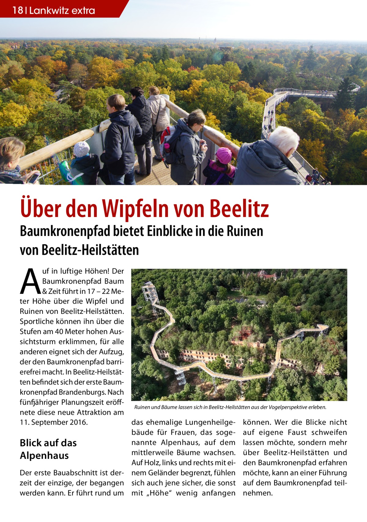 18 Lankwitz extra  Über den Wipfeln von Beelitz Baumkronenpfad bietet Einblicke in die Ruinen von Beelitz-Heilstätten  A  uf in luftige Höhen! Der Baumkronenpfad Baum & Zeit führt in 17 – 22 Meter Höhe über die Wipfel und Ruinen von Beelitz-Heilstätten. Sportliche können ihn über die Stufen am 40 Meter hohen Aussichtsturm erklimmen, für alle anderen eignet sich der Aufzug, der den Baumkronenpfad barrierefrei macht. In Beelitz-Heilstätten befindet sich der erste Baumkronenpfad Brandenburgs. Nach fünfjähriger Planungszeit eröffRuinen und Bäume lassen sich in Beelitz-Heilstätten aus der Vogelperspektive erleben. nete diese neue Attraktion am 11. September 2016. das ehemalige Lungenheilge- können. Wer die Blicke nicht bäude für Frauen, das soge- auf eigene Faust schweifen nannte Alpenhaus, auf dem lassen möchte, sondern mehr Blick auf das mittlerweile Bäume wachsen. über Beelitz-Heilstätten und Alpenhaus Auf Holz, links und rechts mit ei- den Baumkronenpfad erfahren Der erste Bauabschnitt ist der- nem Geländer begrenzt, fühlen möchte, kann an einer Führung zeit der einzige, der begangen sich auch jene sicher, die sonst auf dem Baumkronenpfad teilwerden kann. Er führt rund um mit „Höhe“ wenig anfangen nehmen.