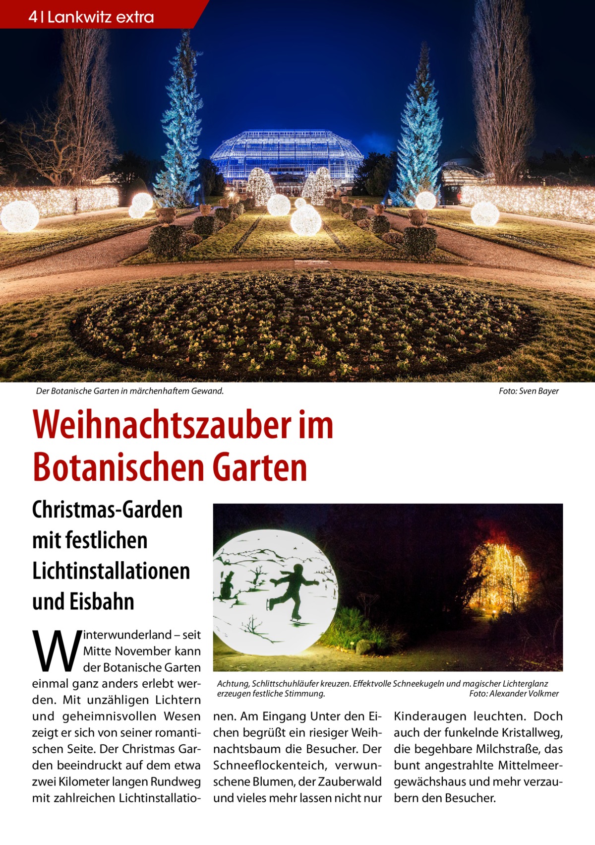 4 Lankwitz extra  Der Botanische Garten in märchenhaftem Gewand. �  Foto: Sven Bayer  Weihnachtszauber im Botanischen Garten Christmas-Garden mit festlichen Lichtinstallationen und Eisbahn  W  interwunderland – seit Mitte November kann der Botanische Garten einmal ganz anders erlebt werden. Mit unzähligen Lichtern und geheimnisvollen Wesen zeigt er sich von seiner romantischen Seite. Der Christmas Garden beeindruckt auf dem etwa zwei Kilometer langen Rundweg mit zahlreichen Lichtinstallatio Achtung, Schlittschuhläufer kreuzen. Effektvolle Schneekugeln und magischer Lichterglanz erzeugen festliche Stimmung.� Foto: Alexander Volkmer  nen. Am Eingang Unter den Eichen begrüßt ein riesiger Weihnachtsbaum die Besucher. Der Schneeflockenteich, verwunschene Blumen, der Zauberwald und vieles mehr lassen nicht nur  Kinderaugen leuchten. Doch auch der funkelnde Kristallweg, die begehbare Milchstraße, das bunt angestrahlte Mittelmeergewächshaus und mehr verzaubern den Besucher.