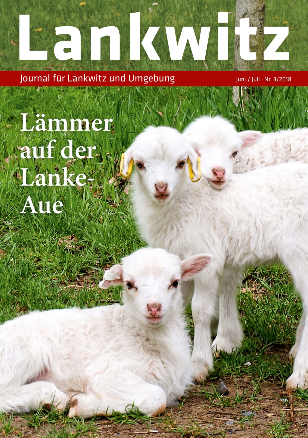 Lankwitz Journal für Lankwitz und Umgebung  Lämmer auf der LankeAue  Juni / Juli · Nr. 3/2018