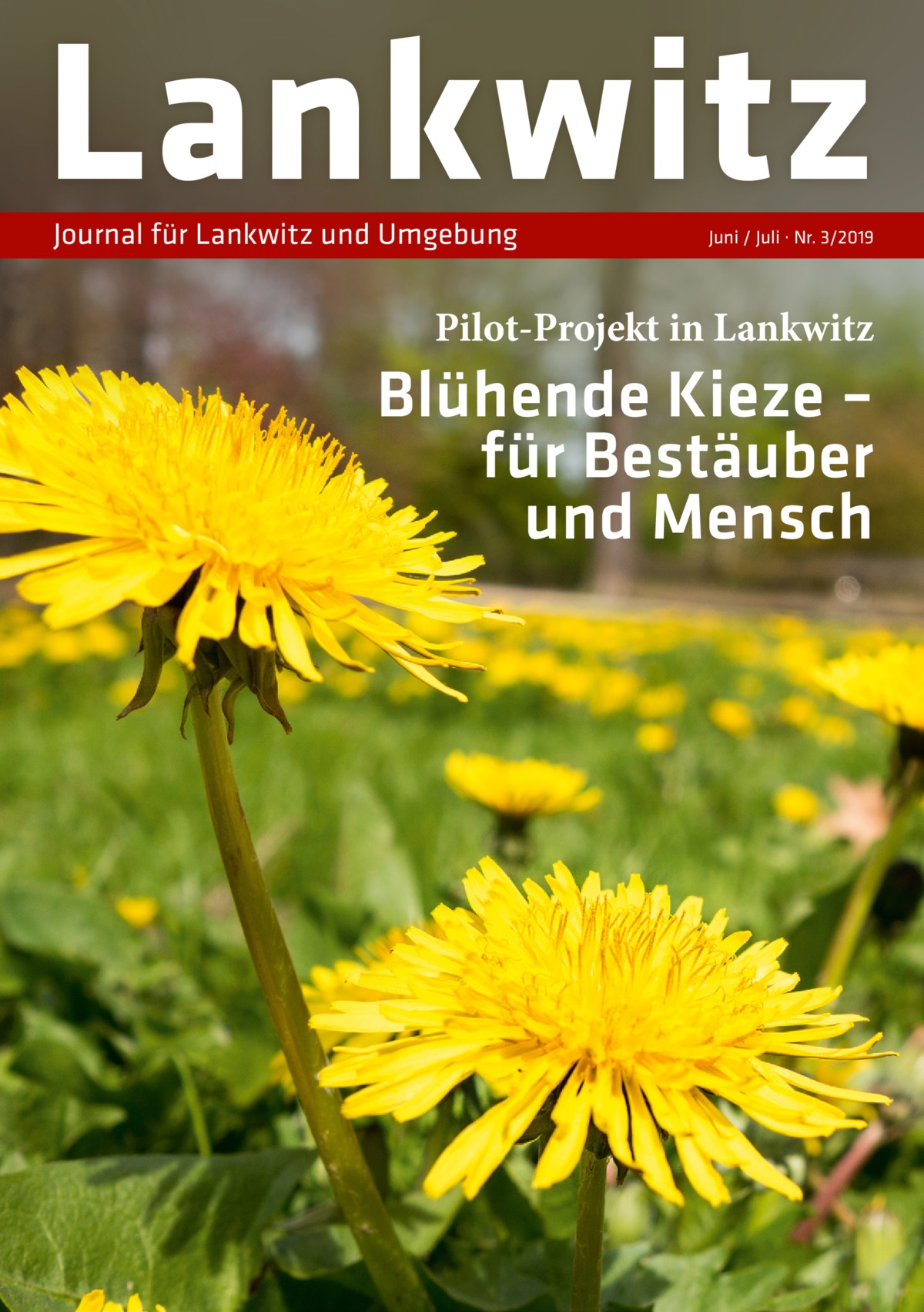 Lankwitz Journal für Lankwitz und Umgebung  Juni / Juli · Nr. 3/2019  Pilot-Projekt in Lankwitz  Blühende Kieze – für Bestäuber und Mensch