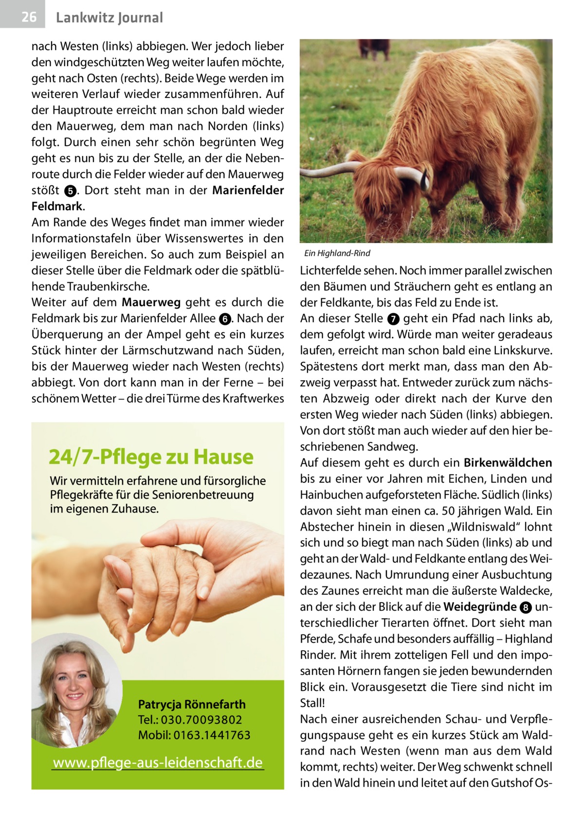 26  Lankwitz Journal  nach Westen (links) abbiegen. Wer jedoch lieber den windgeschützten Weg weiter laufen möchte, geht nach Osten (rechts). Beide Wege werden im weiteren Verlauf wieder zusammenführen. Auf der Hauptroute erreicht man schon bald wieder den Mauerweg, dem man nach Norden (links) folgt. Durch einen sehr schön begrünten Weg geht es nun bis zu der Stelle, an der die Nebenroute durch die Felder wieder auf den Mauerweg stößt 5. Dort steht man in der Marienfelder Feldmark. Am Rande des Weges findet man immer wieder Informationstafeln über Wissenswertes in den jeweiligen Bereichen. So auch zum Beispiel an dieser Stelle über die Feldmark oder die spätblühende Traubenkirsche. Weiter auf dem Mauerweg geht es durch die Feldmark bis zur Marienfelder Allee 6. Nach der Überquerung an der Ampel geht es ein kurzes Stück hinter der Lärmschutzwand nach Süden, bis der Mauerweg wieder nach Westen (rechts) abbiegt. Von dort kann man in der Ferne – bei schönem Wetter – die drei Türme des Kraftwerkes  Ein Highland-Rind  Lichterfelde sehen. Noch immer parallel zwischen den Bäumen und Sträuchern geht es entlang an der Feldkante, bis das Feld zu Ende ist. An dieser Stelle 7 geht ein Pfad nach links ab, dem gefolgt wird. Würde man weiter geradeaus laufen, erreicht man schon bald eine Linkskurve. Spätestens dort merkt man, dass man den Abzweig verpasst hat. Entweder zurück zum nächsten Abzweig oder direkt nach der Kurve den ersten Weg wieder nach Süden (links) abbiegen. Von dort stößt man auch wieder auf den hier beschriebenen Sandweg. Auf diesem geht es durch ein Birkenwäldchen bis zu einer vor Jahren mit Eichen, Linden und Hainbuchen aufgeforsteten Fläche. Südlich (links) davon sieht man einen ca. 50 jährigen Wald. Ein Abstecher hinein in diesen „Wildniswald“ lohnt sich und so biegt man nach Süden (links) ab und geht an der Wald- und Feldkante entlang des Weidezaunes. Nach Umrundung einer Ausbuchtung des Zaunes erreicht man die äußerste Waldecke, an der sich der Blick auf die Weidegründe 8 unterschiedlicher Tierarten öffnet. Dort sieht man Pferde, Schafe und besonders auffällig – Highland Rinder. Mit ihrem zotteligen Fell und den imposanten Hörnern fangen sie jeden bewundernden Blick ein. Vorausgesetzt die Tiere sind nicht im Stall! Nach einer ausreichenden Schau- und Verpflegungspause geht es ein kurzes Stück am Waldrand nach Westen (wenn man aus dem Wald kommt, rechts) weiter. Der Weg schwenkt schnell in den Wald hinein und leitet auf den Gutshof O