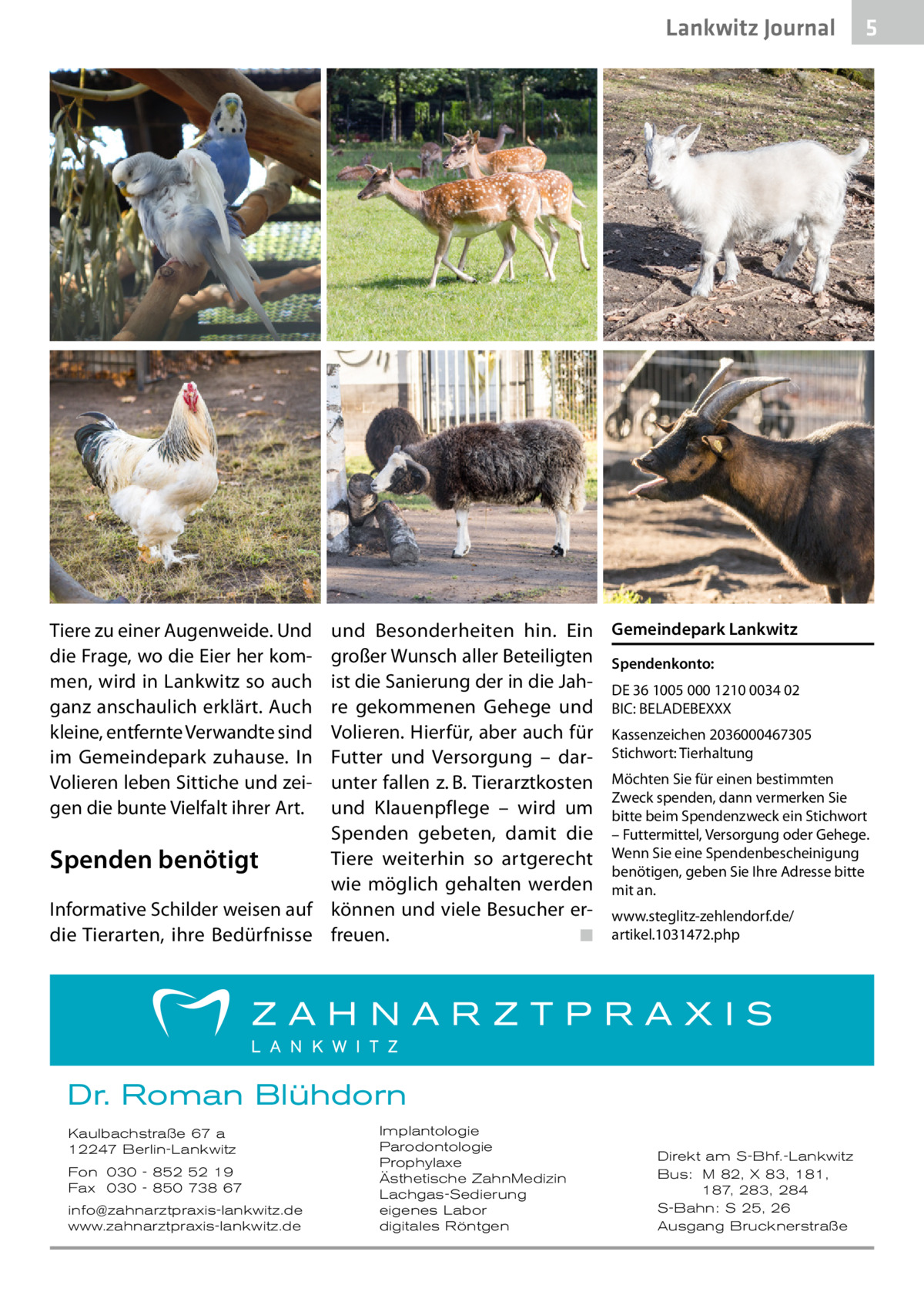 Lankwitz Journal  5  und Besonderheiten hin. Ein Gemeindepark Lankwitz großer Wunsch aller Beteiligten Spendenkonto: ist die Sanierung der in die Jah- DE 36 1005 000 1210 0034 02 re gekommenen Gehege und BIC: BELADEBEXXX Volieren. Hierfür, aber auch für Kassenzeichen 2036000467305 Futter und Versorgung – dar- Stichwort: Tierhaltung unter fallen z. B. Tierarztkosten Möchten Sie für einen bestimmten Zweck spenden, dann vermerken Sie und Klauenpflege – wird um bitte beim Spendenzweck ein Stichwort Spenden gebeten, damit die – Futtermittel, Versorgung oder Gehege. Tiere weiterhin so artgerecht Wenn Sie eine Spendenbescheinigung Spenden benötigt benötigen, geben Sie Ihre Adresse bitte wie möglich gehalten werden mit an. Informative Schilder weisen auf können und viele Besucher er- www.steglitz-zehlendorf.de/ die Tierarten, ihre Bedürfnisse freuen.� ◾ artikel.1031472.php Tiere zu einer Augenweide. Und die Frage, wo die Eier her kommen, wird in Lankwitz so auch ganz anschaulich erklärt. Auch kleine, entfernte Verwandte sind im Gemeindepark zuhause. In Volieren leben Sittiche und zeigen die bunte Vielfalt ihrer Art.  Dr. Roman Blühdorn Kaulbachstraße 67 a 12247 Berlin-Lankwitz Fon 030 - 852 52 19 Fax 030 - 850 738 67 info@zahnarztpraxis-lankwitz.de www.zahnarztpraxis-lankwitz.de  Implantologie Parodontologie Prophylaxe Ästhetische ZahnMedizin Lachgas-Sedierung eigenes Labor digitales Röntgen  Direkt am S-Bhf.-Lankwitz Bus: M 82, X 83, 181, 187, 283, 284 S-Bahn: S 25, 26 Ausgang Brucknerstraße