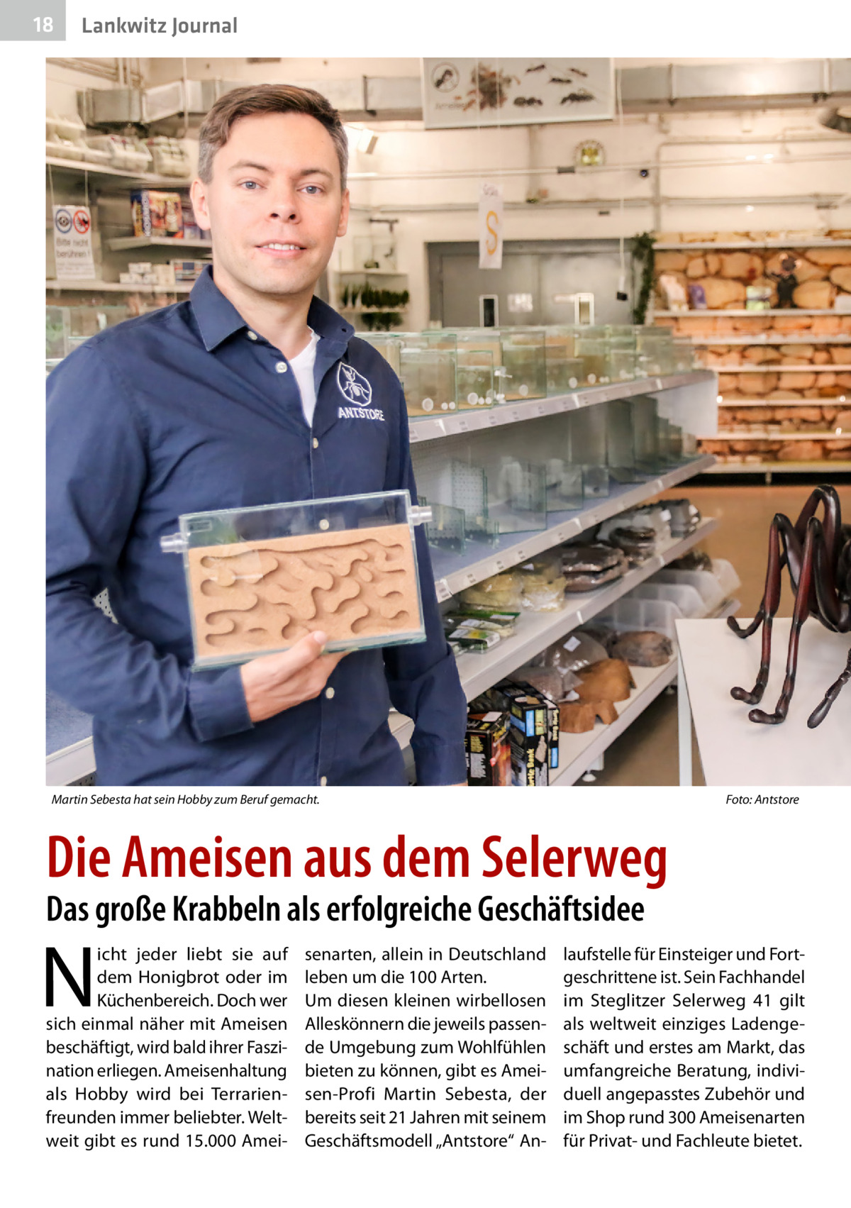 18  Lankwitz Journal  Martin Sebesta hat sein Hobby zum Beruf gemacht.�  Foto: Antstore  Die Ameisen aus dem Selerweg Das große Krabbeln als erfolgreiche Geschäftsidee  N  icht jeder liebt sie auf dem Honigbrot oder im Küchenbereich. Doch wer sich einmal näher mit Ameisen beschäftigt, wird bald ihrer Faszination erliegen. Ameisenhaltung als Hobby wird bei Terrarienfreunden immer beliebter. Weltweit gibt es rund 15.000 Amei senarten, allein in Deutschland leben um die 100 Arten. Um diesen kleinen wirbellosen Alleskönnern die jeweils passende Umgebung zum Wohlfühlen bieten zu können, gibt es Ameisen-Profi Martin Sebesta, der bereits seit 21 Jahren mit seinem Geschäftsmodell „Antstore“ An laufstelle für Einsteiger und Fortgeschrittene ist. Sein Fachhandel im Steglitzer Selerweg  41 gilt als weltweit einziges Ladengeschäft und erstes am Markt, das umfangreiche Beratung, individuell angepasstes Zubehör und im Shop rund 300 Ameisenarten für Privat- und Fachleute bietet.