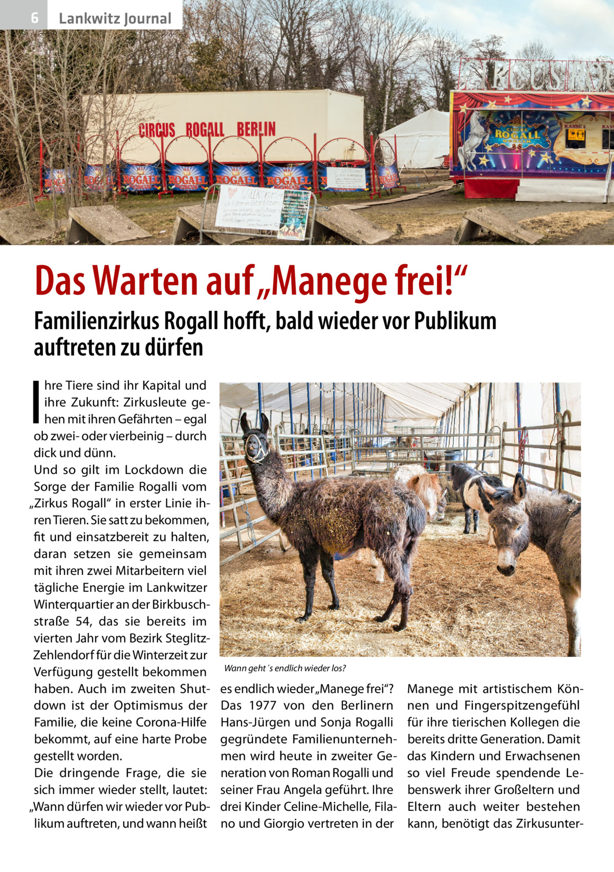 6  Lankwitz Journal  Das Warten auf „Manege frei!“  Familienzirkus Rogall hofft, bald wieder vor Publikum auftreten zu dürfen  I  hre Tiere sind ihr Kapital und ihre Zukunft: Zirkusleute gehen mit ihren Gefährten – egal ob zwei- oder vierbeinig – durch dick und dünn. Und so gilt im Lockdown die Sorge der Familie Rogalli vom „Zirkus Rogall“ in erster Linie ihren Tieren. Sie satt zu bekommen, fit und einsatzbereit zu halten, daran setzen sie gemeinsam mit ihren zwei Mitarbeitern viel tägliche Energie im Lankwitzer Winterquartier an der Birkbuschstraße  54, das sie bereits im vierten Jahr vom Bezirk SteglitzZehlendorf für die Winterzeit zur Verfügung gestellt bekommen haben. Auch im zweiten Shutdown ist der Optimismus der Familie, die keine Corona-Hilfe bekommt, auf eine harte Probe gestellt worden. Die dringende Frage, die sie sich immer wieder stellt, lautet: „Wann dürfen wir wieder vor Publikum auftreten, und wann heißt  Wann geht´s endlich wieder los?  es endlich wieder „Manege frei“? Das 1977 von den Berlinern Hans-Jürgen und Sonja Rogalli gegründete Familienunternehmen wird heute in zweiter Generation von Roman Rogalli und seiner Frau Angela geführt. Ihre drei Kinder Celine-Michelle, Filano und Giorgio vertreten in der  Manege mit artistischem Können und Fingerspitzengefühl für ihre tierischen Kollegen die bereits dritte Generation. Damit das Kindern und Erwachsenen so viel Freude spendende Lebenswerk ihrer Großeltern und Eltern auch weiter bestehen kann, benötigt das Zirkusunte