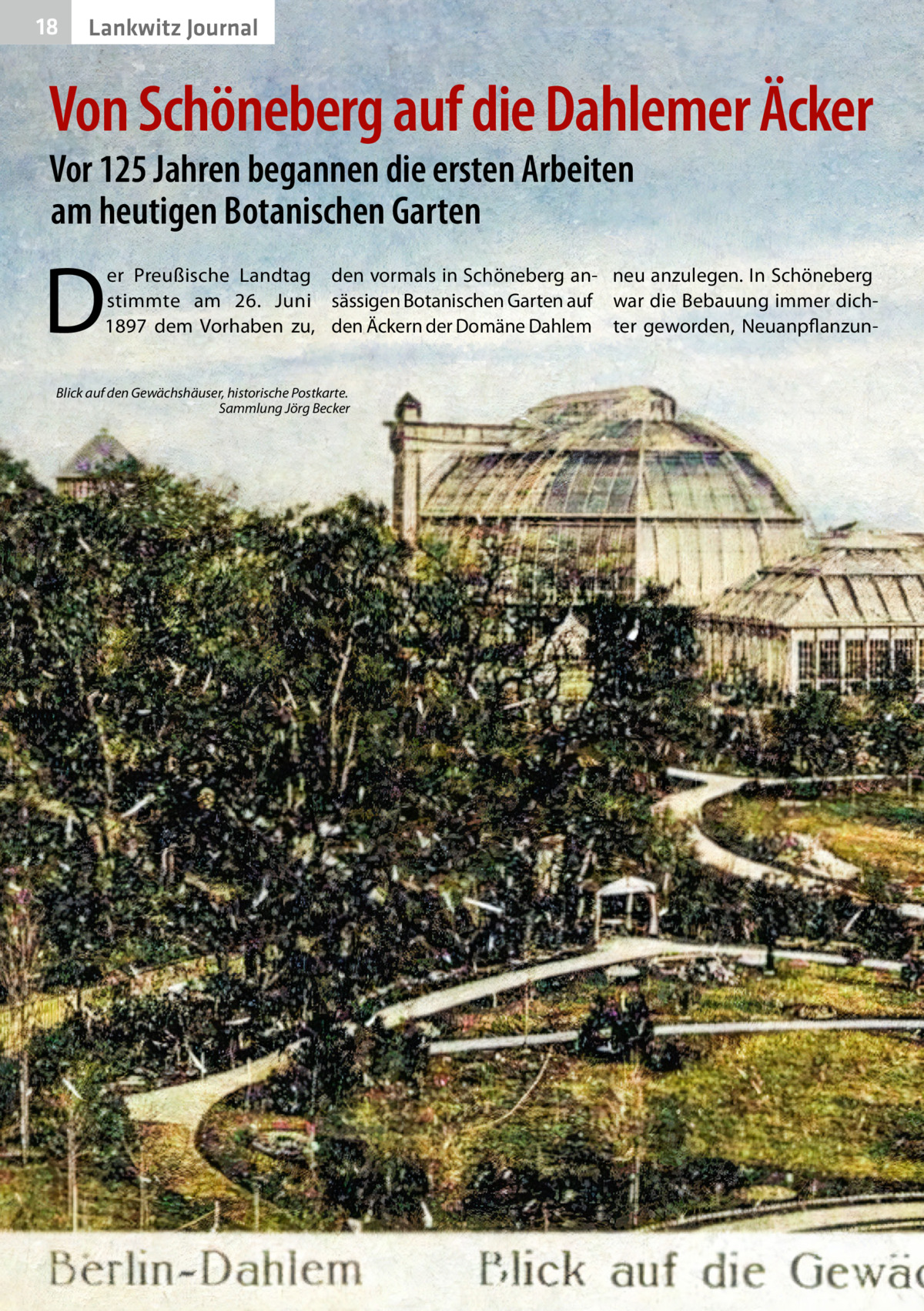 18  Lankwitz Journal  Von Schöneberg auf die Dahlemer Äcker Vor 125 Jahren begannen die ersten Arbeiten am heutigen Botanischen Garten  D  er Preußische Landtag den vormals in Schöneberg an- neu anzulegen. In Schöneberg stimmte am 26.  Juni sässigen Botanischen Garten auf war die Bebauung immer dich1897 dem Vorhaben zu, den Äckern der Domäne Dahlem ter geworden, Neuanpflanzun Blick auf den Gewächshäuser, historische Postkarte. � Sammlung Jörg Becker