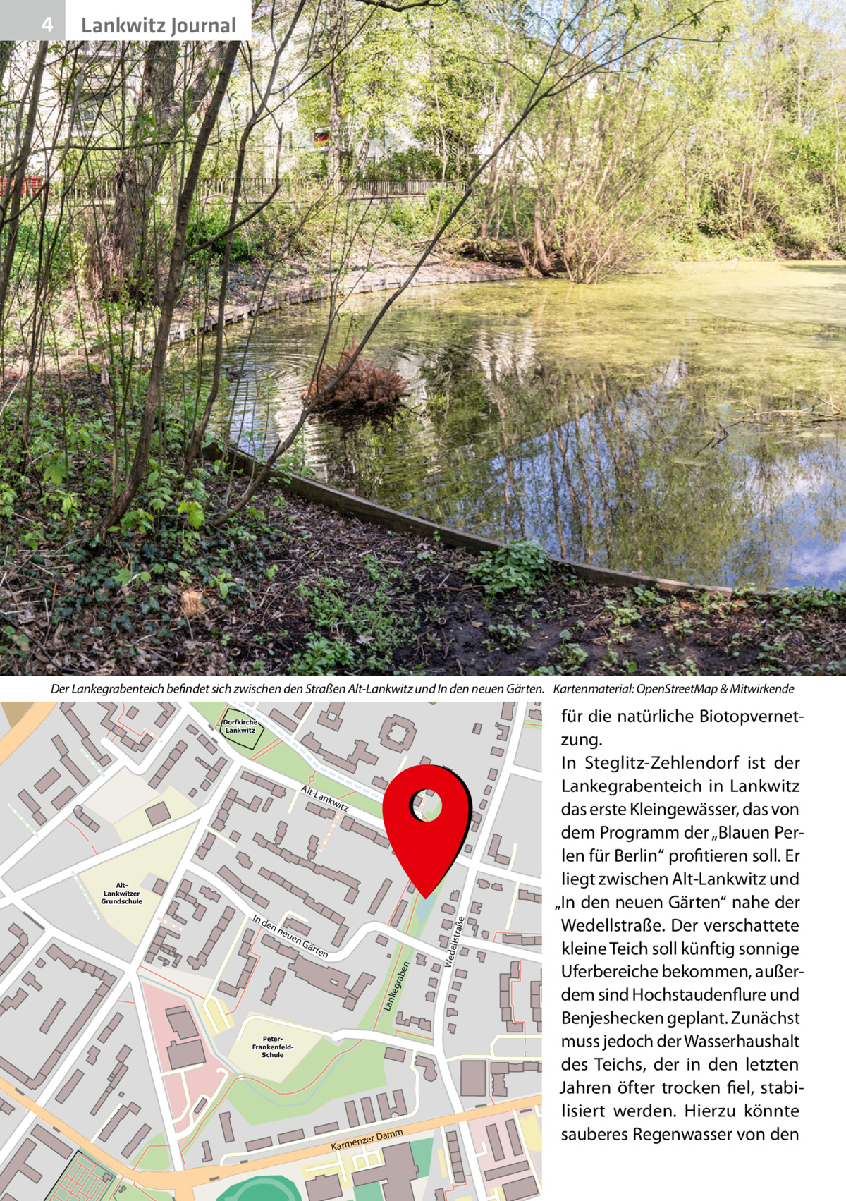 4  Lankwitz Journal  Der Lankegrabenteich befindet sich zwischen den Straßen Alt-Lankwitz und In den neuen Gärten. Kartenmaterial: OpenStreetMap & Mitwirkende Dorfkirche Lankwitz  AltLa  nkw  itz  en  Gä  straß  neu  rte  n  Lan keg rab e  n  en  PeterFrankenfeldSchule  amm  nzer D  Karme  Wede ll  In d  e  AltLankwitzer Grundschule  für die natürliche Biotopvernetzung. In Steglitz-Zehlendorf ist der Lankegrabenteich in Lankwitz das erste Kleingewässer, das von dem Programm der „Blauen Perlen für Berlin“ profitieren soll. Er liegt zwischen Alt-Lankwitz und „In den neuen Gärten“ nahe der Wedellstraße. Der verschattete kleine Teich soll künftig sonnige Uferbereiche bekommen, außerdem sind Hochstaudenflure und Benjeshecken geplant. Zunächst muss jedoch der Wasserhaushalt des Teichs, der in den letzten Jahren öfter trocken fiel, stabilisiert werden. Hierzu könnte sauberes Regenwasser von den  Christliches Gemeinde Zentrum