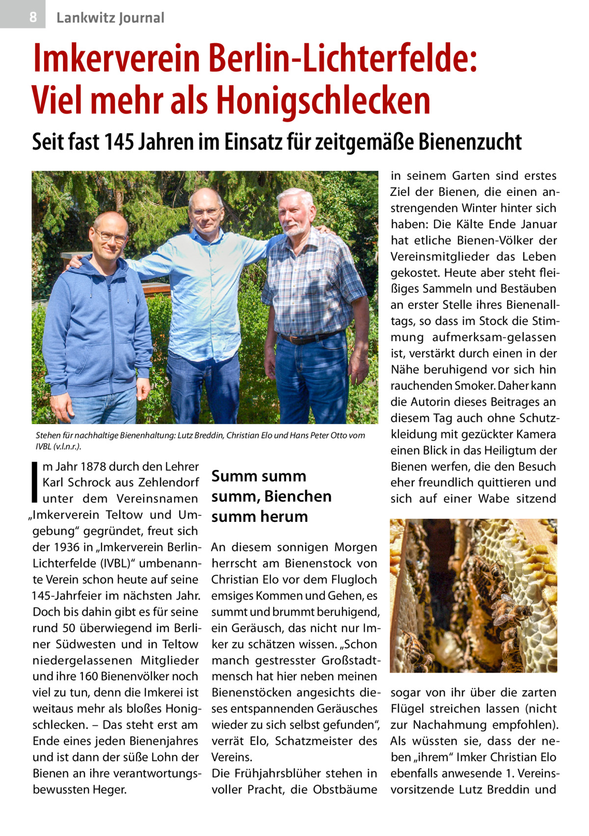 8  Gesundheit Lankwitz Journal  Imkerverein Berlin-Lichterfelde: Viel mehr als Honigschlecken Seit fast 145 Jahren im Einsatz für zeitgemäße Bienenzucht  Stehen für nachhaltige Bienenhaltung: Lutz Breddin, Christian Elo und Hans Peter Otto vom IVBL (v.l.n.r.).  I  m Jahr 1878 durch den Lehrer Karl Schrock aus Zehlendorf unter dem Vereinsnamen „Imkerverein Teltow und Umgebung“ gegründet, freut sich der 1936 in „Imkerverein BerlinLichterfelde (IVBL)“ umbenannte Verein schon heute auf seine 145-Jahrfeier im nächsten Jahr. Doch bis dahin gibt es für seine rund 50 überwiegend im Berliner Südwesten und in Teltow niedergelassenen Mitglieder und ihre 160 Bienenvölker noch viel zu tun, denn die Imkerei ist weitaus mehr als bloßes Honigschlecken. – Das steht erst am Ende eines jeden Bienenjahres und ist dann der süße Lohn der Bienen an ihre verantwortungsbewussten Heger.  Summ summ summ, Bienchen summ herum An diesem sonnigen Morgen herrscht am Bienenstock von Christian Elo vor dem Flugloch emsiges Kommen und Gehen, es summt und brummt beruhigend, ein Geräusch, das nicht nur Imker zu schätzen wissen. „Schon manch gestresster Großstadtmensch hat hier neben meinen Bienenstöcken angesichts dieses entspannenden Geräusches wieder zu sich selbst gefunden“, verrät Elo, Schatzmeister des Vereins. Die Frühjahrsblüher stehen in voller Pracht, die Obstbäume  in seinem Garten sind erstes Ziel der Bienen, die einen anstrengenden Winter hinter sich haben: Die Kälte Ende Januar hat etliche Bienen-Völker der Vereinsmitglieder das Leben gekostet. Heute aber steht fleißiges Sammeln und Bestäuben an erster Stelle ihres Bienenalltags, so dass im Stock die Stimmung aufmerksam-gelassen ist, verstärkt durch einen in der Nähe beruhigend vor sich hin rauchenden Smoker. Daher kann die Autorin dieses Beitrages an diesem Tag auch ohne Schutzkleidung mit gezückter Kamera einen Blick in das Heiligtum der Bienen werfen, die den Besuch eher freundlich quittieren und sich auf einer Wabe sitzend  sogar von ihr über die zarten Flügel streichen lassen (nicht zur Nachahmung empfohlen). Als wüssten sie, dass der neben „ihrem“ Imker Christian Elo ebenfalls anwesende 1. Vereinsvorsitzende Lutz Breddin und