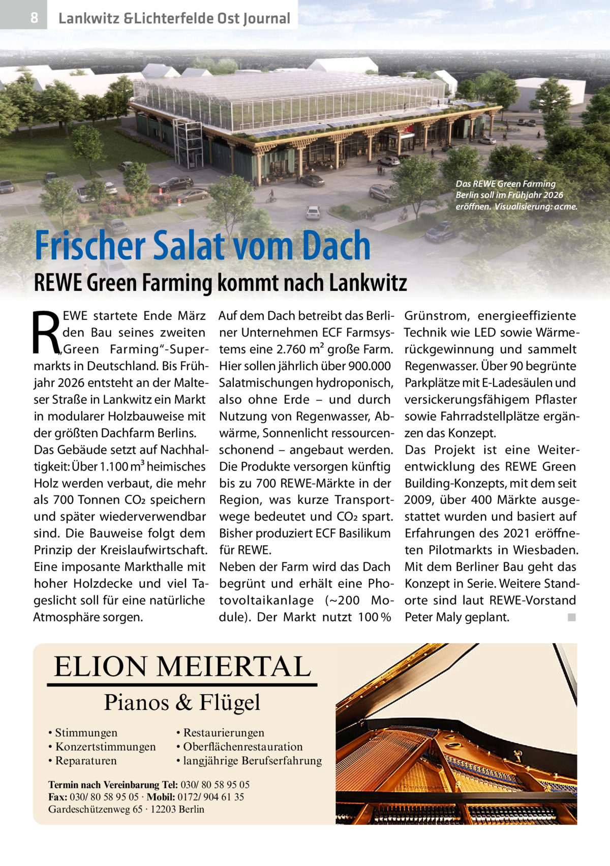 8  Gesundheit Lankwitz &Lichterfelde Ost Journal  Das REWE Green Farming Berlin soll im Frühjahr 2026 eröffnen. Visualisierung: acme.  Frischer Salat vom Dach  REWE Green Farming kommt nach Lankwitz  R  EWE startete Ende März den Bau seines zweiten „Green Farming“-Supermarkts in Deutschland. Bis Frühjahr 2026 entsteht an der Malteser Straße in Lankwitz ein Markt in modularer Holzbauweise mit der größten Dachfarm Berlins. Das Gebäude setzt auf Nachhaltigkeit: Über 1.100 m³ heimisches Holz werden verbaut, die mehr als 700 Tonnen CO2 speichern und später wiederverwendbar sind. Die Bauweise folgt dem Prinzip der Kreislaufwirtschaft. Eine imposante Markthalle mit hoher Holzdecke und viel Tageslicht soll für eine natürliche Atmosphäre sorgen.  Auf dem Dach betreibt das Berliner Unternehmen ECF Farmsystems eine 2.760 m² große Farm. Hier sollen jährlich über 900.000 Salatmischungen hydroponisch, also ohne Erde – und durch Nutzung von Regenwasser, Abwärme, Sonnenlicht ressourcenschonend – angebaut werden. Die Produkte versorgen künftig bis zu 700 REWE-Märkte in der Region, was kurze Transportwege bedeutet und CO2 spart. Bisher produziert ECF Basilikum für REWE. Neben der Farm wird das Dach begrünt und erhält eine Photovoltaikanlage (~200  Module). Der Markt nutzt 100 %  ELION MEIERTAL Pianos & Flügel • Stimmungen • Konzertstimmungen • Reparaturen  • Restaurierungen • Oberflächenrestauration • langjährige Berufserfahrung  Termin nach Vereinbarung Tel: 030/ 80 58 95 05 Fax: 030/ 80 58 95 05 · Mobil: 0172/ 904 61 35 Gardeschützenweg 65 · 12203 Berlin  Grünstrom, energieeffiziente Technik wie LED sowie Wärmerückgewinnung und sammelt Regenwasser. Über 90 begrünte Parkplätze mit E-Ladesäulen und versickerungsfähigem Pflaster sowie Fahrradstellplätze ergänzen das Konzept. Das Projekt ist eine Weiterentwicklung des REWE Green Building-Konzepts, mit dem seit 2009, über 400  Märkte ausgestattet wurden und basiert auf Erfahrungen des 2021 eröffneten Pilotmarkts in Wiesbaden. Mit dem Berliner Bau geht das Konzept in Serie. Weitere Standorte sind laut REWE-Vorstand Peter Maly geplant. ◾