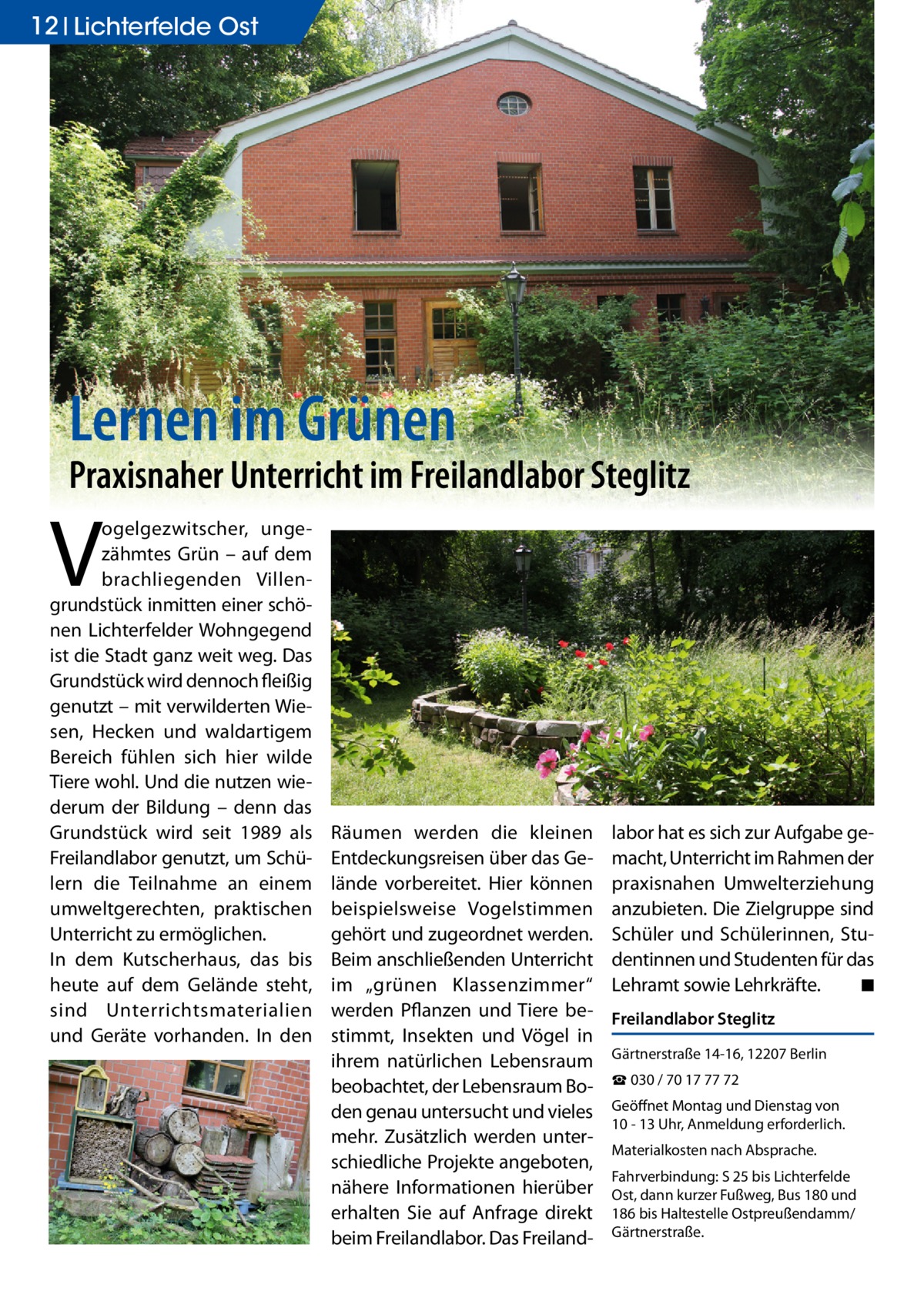 12 Lichterfelde Ost  Lernen im Grünen  Praxisnaher Unterricht im Freilandlabor Steglitz  V  ogelgezwitscher, ungezähmtes Grün – auf dem brachliegenden Villengrundstück inmitten einer schönen Lichterfelder Wohngegend ist die Stadt ganz weit weg. Das Grundstück wird dennoch fleißig genutzt – mit verwilderten Wiesen, Hecken und waldartigem Bereich fühlen sich hier wilde Tiere wohl. Und die nutzen wiederum der Bildung – denn das Grundstück wird seit 1989 als Freilandlabor genutzt, um Schülern die Teilnahme an einem umweltgerechten, praktischen Unterricht zu ermöglichen. In dem Kutscherhaus, das bis heute auf dem Gelände steht, sind Unterrichtsmaterialien und Geräte vorhanden. In den  Räumen werden die kleinen Entdeckungsreisen über das Gelände vorbereitet. Hier können beispielsweise Vogelstimmen gehört und zugeordnet werden. Beim anschließenden Unterricht im „grünen Klassenzimmer“ werden Pflanzen und Tiere bestimmt, Insekten und Vögel in ihrem natürlichen Lebensraum beobachtet, der Lebensraum Boden genau untersucht und vieles mehr. Zusätzlich werden unterschiedliche Projekte angeboten, nähere Informationen hierüber erhalten Sie auf Anfrage direkt beim Freilandlabor. Das Freiland labor hat es sich zur Aufgabe gemacht, Unterricht im Rahmen der praxisnahen Umwelterziehung anzubieten. Die Zielgruppe sind Schüler und Schülerinnen, Studentinnen und Studenten für das Lehramt sowie Lehrkräfte. ◾ freilandlabor Steglitz Gärtnerstraße 14-16, 12207 Berlin ☎ 030 / 70 17 77 72 Geöffnet Montag und Dienstag von 10 - 13 Uhr, Anmeldung erforderlich. Materialkosten nach Absprache. Fahrverbindung: S 25 bis Lichterfelde Ost, dann kurzer Fußweg, Bus 180 und 186 bis Haltestelle Ostpreußendamm/ Gärtnerstraße.