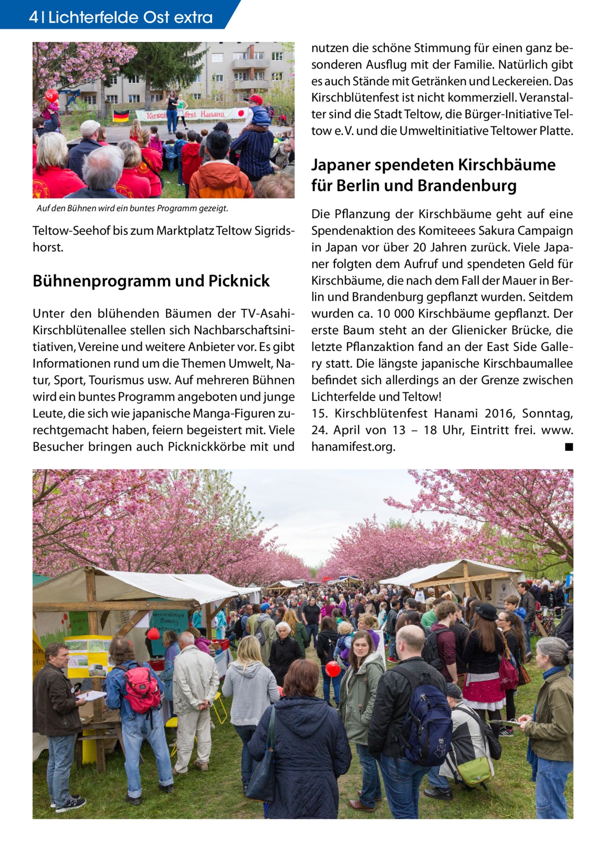 4 Lichterfelde Ost extra nutzen die schöne Stimmung für einen ganz besonderen Ausflug mit der Familie. Natürlich gibt es auch Stände mit Getränken und Leckereien. Das Kirschblütenfest ist nicht kommerziell. Veranstalter sind die Stadt Teltow, die Bürger-Initiative Teltow e. V. und die Umweltinitiative Teltower Platte.  Japaner spendeten Kirschbäume für Berlin und Brandenburg Auf den Bühnen wird ein buntes Programm gezeigt.  Teltow-Seehof bis zum Marktplatz Teltow Sigridshorst.  Bühnenprogramm und Picknick Unter den blühenden Bäumen der TV-AsahiKirschblütenallee stellen sich Nachbarschaftsinitiativen, Vereine und weitere Anbieter vor. Es gibt Informationen rund um die Themen Umwelt, Natur, Sport, Tourismus usw. Auf mehreren Bühnen wird ein buntes Programm angeboten und junge Leute, die sich wie japanische Manga-Figuren zurechtgemacht haben, feiern begeistert mit. Viele Besucher bringen auch Picknickkörbe mit und  Die Pflanzung der Kirschbäume geht auf eine Spendenaktion des Komiteees Sakura Campaign in Japan vor über 20 Jahren zurück. Viele Japaner folgten dem Aufruf und spendeten Geld für Kirschbäume, die nach dem Fall der Mauer in Berlin und Brandenburg gepflanzt wurden. Seitdem wurden ca. 10 000 Kirschbäume gepflanzt. Der erste Baum steht an der Glienicker Brücke, die letzte Pflanzaktion fand an der East Side Gallery statt. Die längste japanische Kirschbaumallee befindet sich allerdings an der Grenze zwischen Lichterfelde und Teltow! 15. Kirschblütenfest Hanami 2016, Sonntag, 24.  April von 13 – 18  Uhr, Eintritt frei. www.­ hanamifest.org. � ◾