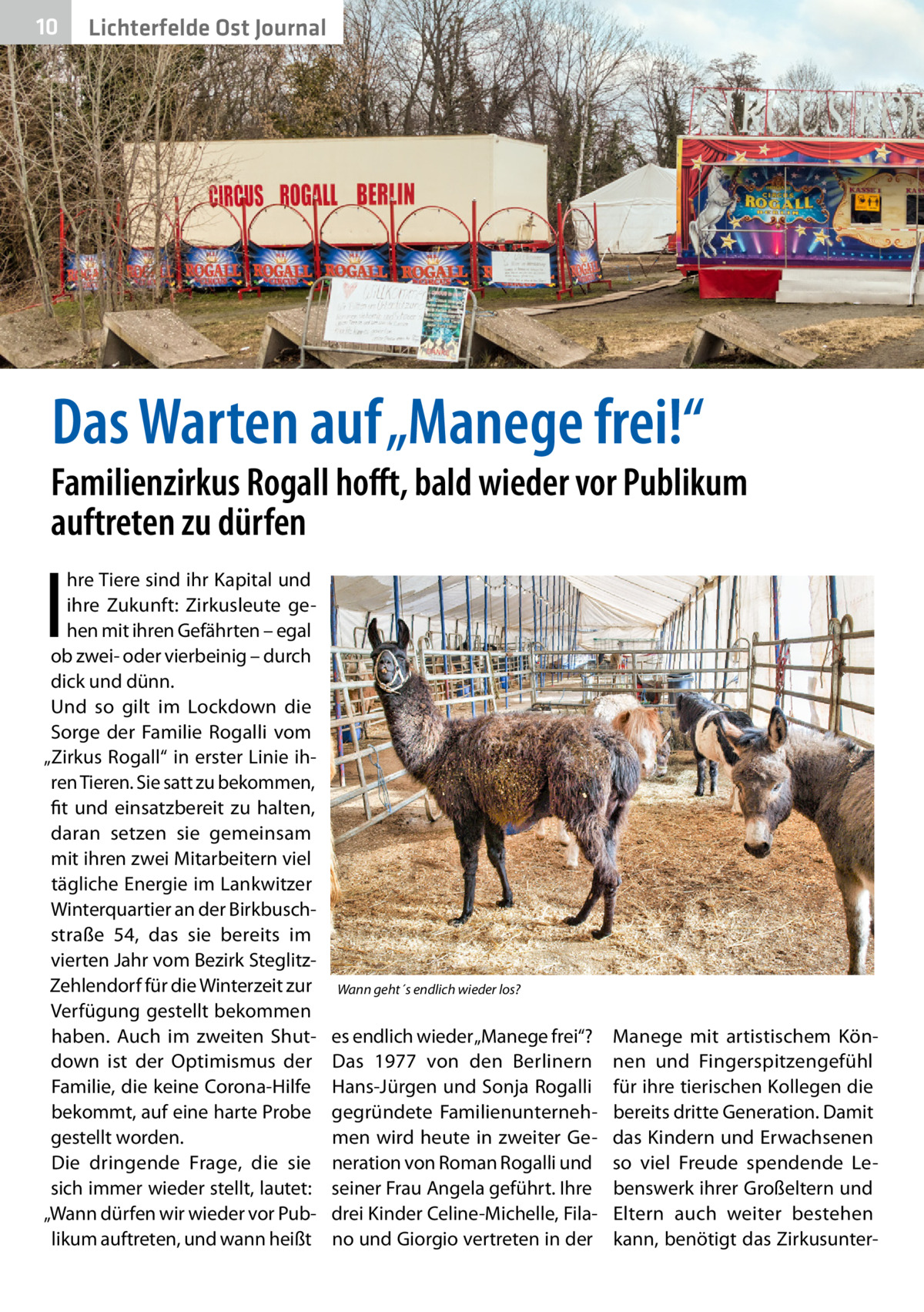 10  Lichterfelde Ost Journal  Das Warten auf „Manege frei!“  Familienzirkus Rogall hofft, bald wieder vor Publikum auftreten zu dürfen  I  hre Tiere sind ihr Kapital und ihre Zukunft: Zirkusleute gehen mit ihren Gefährten – egal ob zwei- oder vierbeinig – durch dick und dünn. Und so gilt im Lockdown die Sorge der Familie Rogalli vom „Zirkus Rogall“ in erster Linie ihren Tieren. Sie satt zu bekommen, fit und einsatzbereit zu halten, daran setzen sie gemeinsam mit ihren zwei Mitarbeitern viel tägliche Energie im Lankwitzer Winterquartier an der Birkbuschstraße  54, das sie bereits im vierten Jahr vom Bezirk SteglitzZehlendorf für die Winterzeit zur Verfügung gestellt bekommen haben. Auch im zweiten Shutdown ist der Optimismus der Familie, die keine Corona-Hilfe bekommt, auf eine harte Probe gestellt worden. Die dringende Frage, die sie sich immer wieder stellt, lautet: „Wann dürfen wir wieder vor Publikum auftreten, und wann heißt  Wann geht´s endlich wieder los?  es endlich wieder „Manege frei“? Das 1977 von den Berlinern Hans-Jürgen und Sonja Rogalli gegründete Familienunternehmen wird heute in zweiter Generation von Roman Rogalli und seiner Frau Angela geführt. Ihre drei Kinder Celine-Michelle, Filano und Giorgio vertreten in der  Manege mit artistischem Können und Fingerspitzengefühl für ihre tierischen Kollegen die bereits dritte Generation. Damit das Kindern und Erwachsenen so viel Freude spendende Lebenswerk ihrer Großeltern und Eltern auch weiter bestehen kann, benötigt das Zirkusunte