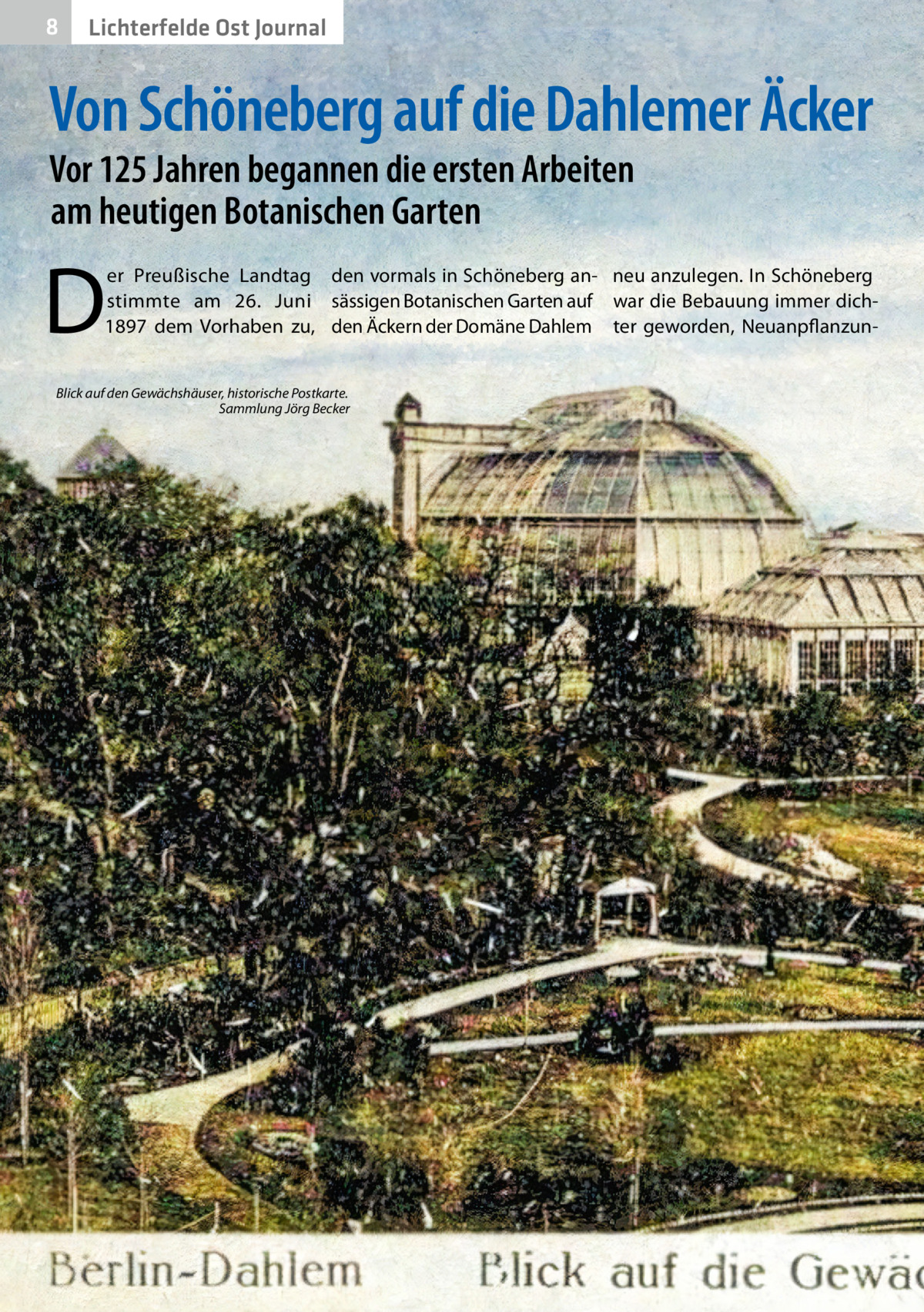 8  Lichterfelde Ost Journal  Von Schöneberg auf die Dahlemer Äcker Vor 125 Jahren begannen die ersten Arbeiten am heutigen Botanischen Garten  D  er Preußische Landtag den vormals in Schöneberg an- neu anzulegen. In Schöneberg stimmte am 26.  Juni sässigen Botanischen Garten auf war die Bebauung immer dich1897 dem Vorhaben zu, den Äckern der Domäne Dahlem ter geworden, Neuanpflanzun Blick auf den Gewächshäuser, historische Postkarte. � Sammlung Jörg Becker